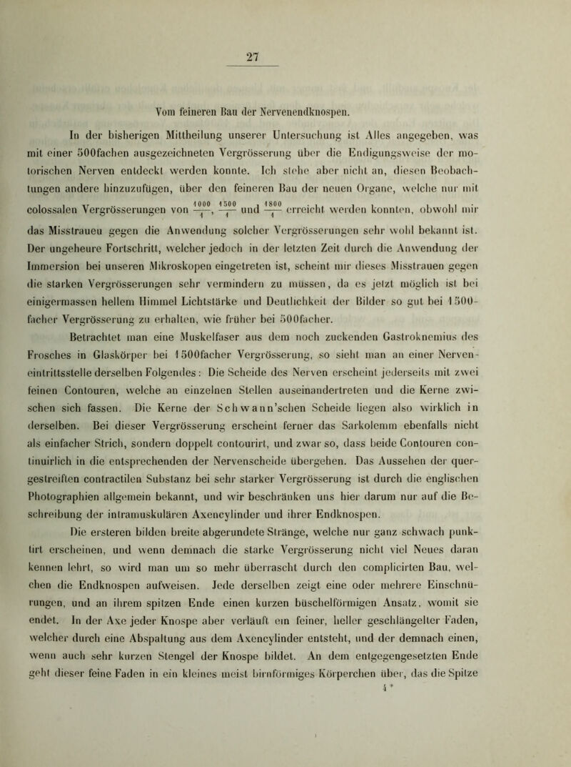 Vom feineren Ban der Nervenendknospen. In der bisherigen Mittheilung unserer Unlersuchung ist Alles angegeben, was mit einer öOOfachen ausgezeichneten Vergrössernng über die Endigungsweise der mo- torischen Nerven entdeckt werden konnte. Ich siehe aber nicht an, diesen Beobach- tungen andere hinzuzufügen, über den feineren Bau der neuen Organe, welche nur mit colossalen Vergrösserungen von und erreicht werden konnten, obwohl mir das Misstrauen gegen die Anwendung solcher Vergrösserungen sehr wohl bekannt ist. Der ungeheure Fortschritt, welcher jedoch in der letzten Zeit durch die Anwendung der Immersion bei unseren Mikroskopen eingetreten ist, scheint mir dieses Misstrauen gegen die starken Vergrösseiaingen sehr vermindern zu müssen, da cs jelzt möglich ist bei einigermassen hellem Himmel Lichtstärke und Deutlichkeit der Bilder so gut bei 1500- facher Vergrössernng zu erhalten, wie früher bei öOOfacher. Betrachtet man eine Muskelfaser aus dem noch zuckenden Gastroknemius des Frosches in Glaskörper bei 1 öOOfacher Vergrössernng, so sieht man au einer Nerven- eintrittsstelle derselben Folgendes: Die Scheide des Nerven erscheint jederseits mit zwei feinen Contouren, welche an einzelnen Stellen auseinandertreten und die Kerne zwi- schen sich fassen. Die Kerne der Sch wann’schen Scheide liegen also wirklich in derselben. Bei dieser Vergrössernng erscheint ferner das Sarkolemm ebenfalls nicht als einfacher Strich, sondern doppelt contourirt, und zwar so, dass beide Contouren con- tinuirlich in die entsprechenden der Nervenscheide übergehen. Das Aussehen der quer- gestreiften contractilen Substanz bei sehr starker Vergrössernng ist durch die englischen Photographien allgemein bekannt, und wir beschränken uns hiei- darum nur auf die Be- schreibung der intramuskulären Axencylinder und ihrer Endknospen. Die ersteren bilden breite abgerundete Stränge, welche nur ganz schwach punk- tirt erscheinen, und wenn demnach die starke Vergrössernng nicht viel Neues daran kennen lehrt, so wird man um so mehr überrascht durch den complicirten Bau, wel- chen die Endknospen aufweisen. Jede derselben zeigt eine oder mehrere Einschnü- rungen, und an ihrem spitzen Ende einen kurzen büschelförmigen Ansatz, womit sie endet, ln der Axe jeder Knospe aber verläuft ein feiner, heller geschlängelter Faden, welcher durch eine Abspaltung aus dem Axencylinder entsteht, und der demnach einen, wenn auch sehr kurzen Stengel der Knospe bildet. An dem entgegengesetzten Ende geht dieser feine Faden in ein kleines meist bii nförmiges Körperchen übei , das die Spitze )