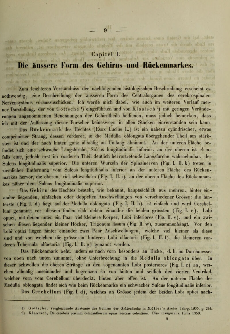 Capitel I. Die äussere Form des Gehirns und Rückenmarkes. Zum leichteren Verständnis der nachfolgenden histologischen Beschreibung erscheint es nothwendig, eine Beschreibung der äusseren Form des Centralorganes des cerebrospinalen Nervensystems vorauszuschicken. Ich werde mich dabei, wie auch im weiteren Verlauf mei- ner Darstellung, der von Gottsche J) eingeführten und von Klaatsch 1 2) mit geringen Verände- rungen angenommenen Benennungen der Gehirntheile bedienen, muss jedoch bemerken, dass ich mit der Auffassung dieser Forscher keineswegs in allen Stücken einverstanden sein kann. Das Rückenmark des Hechtes (Esox Lucius L.) ist ein nahezu cylindrischer, etwas comprimirter Strang, dessen vorderer, in die Medulla oblongata übergehender Theil am stärk- sten ist und der nach hinten ganz allmälig an Umfang abnimmt. An der unteren Fläche be- findet sieb eine schwache Längsfurche, Sulcus longitudinalis inferior, an der oberen ist eben- falls eine, jedoch erst im vorderen Theil deutlich hervortretende Längsfurche wahrnehmbar, der Sulcus longitudinalis Superior. Die unteren Wurzeln der Spinalnerven (Fig. I, II. k) treten in ziemlicher Entfernung vom Sulcus longitudinalis inferior an der unteren Fläche des Rücken- markes hervor, die oberen, viel schwächern (Fig. I, II. i), an der oberen Fläche des Rückenmar- kes näher dem Sulcus longitudinalis superior. Das Gehirn des Hechtes besteht, wie bekannt, hauptsächlich aus mehren, hinterein- ander liegenden, einfachen oder doppelten Anschwellungen von verschiedener Grösse: die hin- terste (Fig. I. d) liegt auf der Medulla oblongata (Fig. I, II. b), ist einfach und wird Cerebel- lum genannt; vor diesem finden sich neben einander die beiden grössten (Fig. I. e), Lobi optici, mit denen unten ein Paar viel kleinere Körper, Lobi inferiores (Fig. II. v), und ein zwi- schen diesen liegender kleiner Höcker, Trigonum fissum (Fig. II. w), zusammenhängt. Vor den Lobi optici liegen hinter einander zwei Paar Anschwellungen, welche viel kleiner als diese sind und von welchen die grösseren hinteren Lobi olfactorii (Fig. I, II. f), die kleineren vor- deren Tubercula olfactoria (Fig. I, II. g) genannt werden. Das Rückenmark geht, indem es nach vorn besonders an Dicke, d. h. im Durchmesser von oben nach unten zunimmt, ohne Unterbrechung in die Medulla oblongata über. In dieser schwellen die oberen Stränge zu den sogenannten Lobi posteriores (Fig. I. c) an, wei- chen allmälig auseinander und begrenzen so von hinten und seitlich den vierten Ventrikel, welcher vorn vom Cerebellum überdeckt, hinten aber offen ist. An der unteren Fläche der Medulla oblongata findet sich wie beim Rückenmarke ein schwacher Sulcus longitudinalis inferior. Das Cerebellum (Fig. I. d), welches an Grösse jedem der beiden Lobi optici nach- 1) Gottache, Vergleichende Anatomie des Gehirns der Grätenfische in Müller’s Archiv Jahrg. 1835. p. 1244. 2) Klaatach, De cerebris piscium ostacanthorum aquaa nostras colentium. Dias, inauguralis. Halis 1850. o