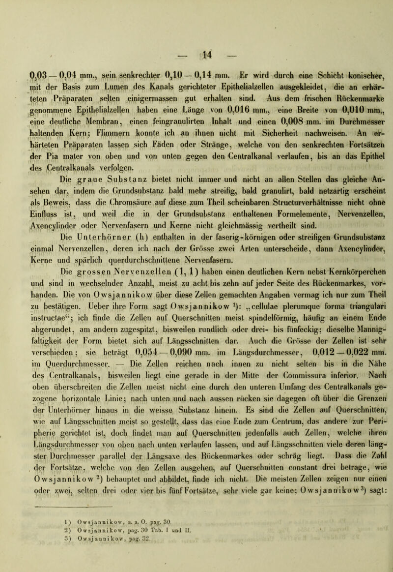 0,03 — 0,04 mm., sein senkrechter 0,10 — 0,14 mm. Er wird durch eine Schicht konischer, mit der Basis zum Lumen des Kanals gerichteter Epithelialzellen ausgekleidet, die an erhär- teten Präparaten selten einigermassen gut erhalten sind. Aus dem frischen Rückenmarke genommene Epithelialzellen haben eine Länge von 0,016 mm., eine Breite von 0,010 mm., eine deutliche Membran, einen feingranulirten Inhalt und einen 0,008 mm. im Durchmesser haltenden Kern; Flimmern konnte ich an ihnen nicht mit Sicherheit nachweisen. An er- härteten Präparaten lassen sich Fäden oder Stränge, welche von den senkrechten Fortsätzen der Pia mater von oben und von unten gegen den Centralkanal verlaufen, bis an das Epithel des Centralkanals verfolgen. Die graue Substanz bietet nicht immer und nicht an allen Stellen das gleiche An- sehen dar, indem die Grundsubstanz bald mehr streifig, bald granulirt, bald netzartig erscheint als Beweis, dass die Chromsäure auf diese zum Theil scheinbaren Structurverhältnisse nicht ohne Einfluss ist, und weil die in der Grundsubstanz enthaltenen Formelemente, Nervenzellen, Axencylinder oder Nervenfasern und Kerne nicht gleichmässig vertheilt sind. Die Unter hörner (h) enthalten in der faserig-körnigen oder streifigen Grundsubstanz einmal Nervenzellen, deren ich nach der Grösse zwei Arten unterscheide, dann Axencylinder, Kerne und spärlich querdurchschnittene Nervenfasern. Die grossen Nervenzellen (1, 1) haben einen deutlichen Kern nebst Kernkörperchen und sind in wechselnder Anzahl, meist zu acht bis zehn auf jeder Seite des Rückenmarkes, vor- handen. Die von Owsjannikow über diese Zellen gemachten Angaben vermag ich nur zum Theil zu bestätigen. Ueber ihre Form sagt Owsjannikow J): „cellulae plerumque forma triangulari instructae“; ich finde die Zellen auf Querschnitten meist spindelförmig, häufig an einem Ende abgerundet, am andern zugespitzt, bisweilen rundlich oder drei- bis fünfeckig; dieselbe Mannig- faltigkeit der Form bietet sich auf Längsschnitten dar. Auch die Grösse der Zellen ist sehr verschieden; sie beträgt 0,054 — 0,090 mm. im Längsdurchmesser, 0,012 — 0,022 mm. im Querdurchmesser. — Die Zellen reichen nach innen zu nicht selten bis in die Nähe des Centralkanals, bisweilen liegt eine gerade in der Milte der Commissura inferior. Nach oben überschreiten die Zellen meist nicht eine durch den unteren Umfang des Centralkanals ge- zogene horizontale Linie; nach unten und nach aussen rücken sie dagegen oft über die Grenzen der Unlerhörner hinaus in die w'eisse Substanz hinein. Es sind die Zellen auf Querschnitten, wie auf Längsschnitten meist so gestellt, dass das eine Ende zum Centrum, das andere zur Peri- pherie gerichtet ist, doch findet man auf Querschnitten jedenfalls auch Zellen, w'elche ihren Längsdurchmesser von oben nach unten verlaufen lassen, und auf Längsschnitten viele deren läng- ster Durchmesser parallel der Längsaxe des Rückenmarkes oder schräg liegt. Dass die Zahl der Fortsätze, welche von den Zellen ausgehen, auf Querschnitten constant drei betrage, wie Owsjannikow 1 2) behauptet und abbildet, finde ich nicht. Die meisten Zellen zeigen nur einen oder zwei, selten drei oder vier bis fünf Fortsätze, sehr viele gar keine; Owsjannikow3) sagt: 1) Owsjannikow, a. a. O. pag. 30. 2) Owsjannikow, pag. 30 Tab. I und II. 3) Owsjannikow, pag. 32.