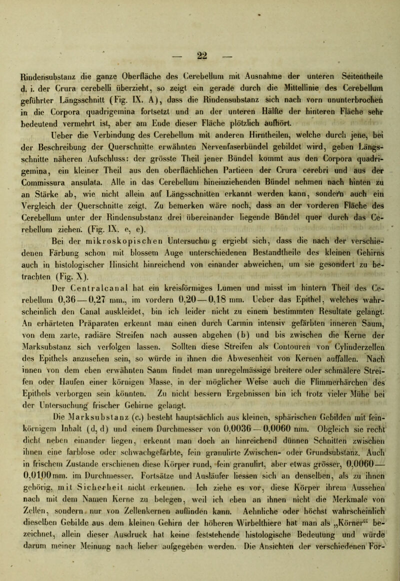 Rindensubstanz die ganze Oberfläche des Cerebelluin mit Ausnahme der unteren Seitentheile d. i. der Crura cerebelli überzieht, so zeigt ein gerade durch die Mittellinie des Cerebellum geführter Längsschnitt (Fig. IX. A), dass die Rindensubstanz sich nach vorn ununterbrochen in die Corpora quadrigeinina fortsetzt und an der unteren Hälfte der hinteren Fläche sehr bedeutend vermehrt ist, aber am Ende dieser Fläche plötzlich aufhört. Ueber die Verbindung des Cerebellum mit anderen Hirntheilen, welche durch jene, bei der Beschreibung der Querschnitte erwähnten Nervenfaserbündel gebildet wird, geben Längs- schnitte näheren Aufschluss: der grösste Theil jener Bündel kommt aus den Corpora quadri- gemina, ein kleiner Theil aus den oberflächlichen Partieen der Crura cerebri und aus der Commissura ansulata. Alle in das Cerebellum hineinziehenden Bündel nehmen nach hinten zu an Stärke ab, wie nicht allein auf Längsschnitten erkannt werden kann, sondei'n auch ein Vergleich der Querschnitte zeigt. Zu bemerken wäre noch, dass an der vorderen Fläche des Cerebellum unter der Rindensubstanz drei übereinander liegende Bündel quer durch das Ce- rebellum ziehen. (Fig. IX. e, e). Bei der mikroskopischen Untersuchm g ergiebt sich, dass die nach der verschie- denen Färbung schon mit blossem Auge unterschiedenen Bestandtheile des kleinen Gehirns auch in histologischer Hinsicht hinreichend von einander abweichen, um sie gesondert zu be- trachten (Fig. X). Der Centralcanal hat ein kreisförmiges Lumen und misst im hintern Theil des Ce- rebellum 0,36 — 0,27 mm., im vordem 0,20 — 0,18 mm. Ueber das Epithel, welches wahr- scheinlich den Canal auskleidet, bin ich leider nicht zu einem bestimmten Resultate gelangt. An erhärteten Präparaten erkennt man einen durch Carmin intensiv gefärbten inneren Saum, von dem zarte, radiäre Streifen nach aussen abgehen (b) und bis zwischen die Kerne der Marksubstanz sich verfolgen lassen. Sollten diese Streifen als Contouren von Cylinderzellen des Epithels anzusehen sein, so würde in ihnen die Abwesenheit von Kernen auffallen. Nach innen von dem eben erwähnten Saum findet man unregelmässige breitere oder schmälere Strei- fen oder Haufen einer körnigen Masse, in der möglicher Weise auch die Flimmerhärchen des Epithels verborgen sein könnten. Zu nicht bessern Ergebnissen bin ich trotz vieler Mühe bei der Untersuchung frischer Gehirne gelangt. Die Mark Substanz (c.) besteht hauptsächlich aus kleinen, sphärischen Gebilden mit fein- körnigem Inhalt (d, d) und einem Durchmesser von 0,0036 — 0,0060 mm. Obgleich sie recht dicht neben einander liegen, erkennt man doch an hinreichend dünnen Schnitten zwischen ihnen eine farblose oder schwachgefärbte, fein granulirte Zwischen- oder Grundsubslanz. Auch in frischem Zustande erschienen diese Körper rund, fein granulirt, aber etwas grösser, 0,0060 — 0,01.00mm. im Durchmesser. Fortsätze und Ausläufer Hessen sich an denselben, als zu ihnen gehörig, mit Sicherheit nicht erkennen. Ich ziehe es vor, diese Körper ihrem Aussehen nach mit dem Namen Kerne zu belegen, weil ich eben an ihnen nicht die Merkmale von Zellen, sondern nur von Zellenkernen auffinden kann. Aehnliche oder höchst wahrscheinlich dieselben Gebilde aus dem kleinen Gehirn der höheren Wirbelthiere hat man als „Körner“ be- zeichnet, allein dieser Ausdruck hat keine feststehende histologische Bedeutung und würde darum meiner Meinung nach lieber aufgegeben werden. Die Ansichten der verschiedenen For-