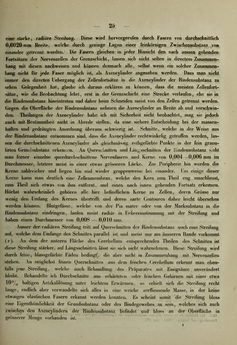 eine starke, radiäre Streifung. Diese wird hervorgerufen durch Fasern von durchschnittlich 0,0020 mm Breite, welche durch geringe Lagen einer feinkörnigen Zwischensubstanz von einander getrennt werden. Die Fasern gleichen in jeder Hinsicht den nach aussen gehenden Fortsätzen der Nervenzellen der Grenzschicht, lassen sich nicht selten in directem Zusammen- hang mit diesen nachweisen und können demnach alle, selbst wenn ein solcher Zusammen- hang nicht für jede Faser möglich ist, als Axencylinder angesehen werden. Dass man nicht immer den directen Uebergang der Zellenfortsätze in die Axencylinder der Hindensubstanz zu sehen Gelegenheit hat, glaube ich daraus erklären zu können, dass die meisten Zellenfort- sätze, wie die Beobachtung lehrt, erst in der Grenzschicht eine Strecke verlaufen, ehe sie in die Rindensubstanz hineintreten und daher beim Schneiden meist von den Zellen getrennt werden. Gegen die Oberfläche der Rindensubstanz nehmen die Axencylinder an Breite ab und verschwin- den. Theilungen der Axencylinder habe ich mit Sicherheit nicht, beobachtet, mag sie jedoch auch mit Bestimmtheit nicht in Abrede stellen, «la eine sichere Entscheidung bei der massen- haften und gedrängten Anordnung überaus schwierig ist. Schnitte, welche in der Weise aus der Rindensubstanz entnommen sind, dass die Axencylinder rechtwinkelig getroffen werden, las- sen die durchschnittenen Axencylinder als -gleichmässig rothgefärbte Punkte in der fein granu- lirten Grundsubstanz erkennen. An Querschnitten und Längsschnitten der Rindensubstanz sieht man ferner einzelne querdurchschnittene Nervenfasern und Kerne, von 0,004 -0,006 mm im Durchmesser, letztere meist in einer etwas grösseren Lücke. Zur Peripherie hin werden die Kerne zahlreicher und liegen hin und wieder gruppenweise bei einander. Um einige dieser Kerne kann man deutlich eine Zellenmembran, welche den Kern zum Theil eng umschliesst, zum Theil sich etwas von ihm entfernt, und einen nach innen gehenden Fortsatz erkennen. Höchst wahrscheinlich gehören alle hier befindlichen Kerne zu Zellen, deren Grösse nur wenig den Umfang des Kernes übertrifft und deren zarte Contourcn daher leicht übersehen werden können. Blutgefässe, welche von der Pia mater oder von der Marksubstanz in die Rindensubstanz eindringen, laufen meist radiär in Uebereinstimmung mit der Streifung und haben einen Durchmesser von 0,008 — 0,010 min. Ausser der- radiären Streifung tritt auf Querschnitten der Rindensubstanz noch eine Streifung auf, welche dem Umfange des Schnittes parallel ist und meist nur am äusseren Rande vorkomml (r). An dem der unteren Fläche des Cerebellum entsprechenden Theilen des Schnittes ist diese Slreilung stärker, auf Längsschnitten lässt sie sich nicht wahrnehmen. Diese Streifung wird durch feine, blassgefärbte Fäden bedingt;, die aber nicht in Zusammenhang mit Nervenzellen stehen. An möglichst feinen Querschnitten aus dein frischen Uerebellum erkennt man eben- falls jene Streifung, welche nach Behandlung des Präparates mit Essigsäure unverändert bleibt. Behandelte ich Durchschnitte aus erhärteten oder frischen Gehirnen mit einer etwa 10% haltigen Aetzkalilösung unter leichtem Erwärmen, so erhielt sich die Streifung recht lange, endlich aber verwandelte sich alles in eine weiche zerfliessende Masse, in der keine etwaigen elastischen Fasern erkannt werden konnten. Es scheint somit die Streifung bloss eine Ligenthiimlichkeit der Grundsubslanz oder des Bindegewebes zu sein, welches sich auch zwischen den Axencylindern der Rindensubstanz befindet, und bloss an der Oberfläche in grösserer Menge vorhanden ist.