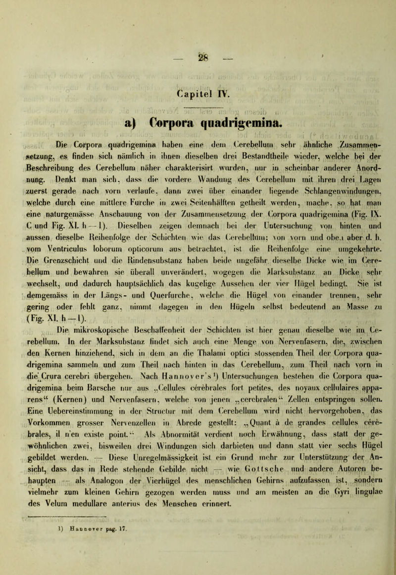 Capitel IV. a) Corpora qnadrigemina. Die Corpora quadrigetriina haben eine dem Cerebellum sehr ähnliche Zusammen- setzung, es finden sich nämlich in ihnen dieselben drei Bestandteile wieder, welche bei der Beschreibung des Cerebellum näher charakterisirt wurden, nur in scheinbar anderer Anord- nung. Denkt man sich, dass die vordere Wandung des Cerebellum mit ihren drei Lagen zuerst gerade nach vorn verlaufe, dann zwei über einander liegende Schlangenwindungen, welche durch eine mittlere Furche in zwei Seitenhälften geteilt werden, mache, so hat man eine naturgemässe Anschauung von der Zusammensetzung der Corpora quadrigeinina (Fig. IX. C und Fig. XI. h — 1). Dieselben zeigen demnach bei der Untersuchung von hinten und aussen dieselbe Reihenfolge der Schichten wie das Cerebellum; \on vorn und obe.i aber d. h. vom Ventriculus loborum opticorum aus betrachtet, ist die Reihenfolge eine umgekehrte. Die Grenzschicht und die Rindensubstanz haben beide ungefähr dieselbe Dicke wie im Cere- bellum und bewahren sie überall unverändert, wogegen die Marksubstanz an Dicke sehr wechselt, und dadurch hauptsächlich das kugelige Aussehen der vier Hügel bedingt. Sie ist demgemäss in der Längs- und Querfurche, welche di«* Hügel von einander trennen, sehr gering oder fehlt ganz, nimmt dagegen in den Hügeln selbst bedeutend an Masse zu (Fig. Xl.h-I). Die mikroskopische Beschaffenheit der Schichten ist hier genau dieselbe wie im Ce- rebellum. In der Marksubstanz findet sich auch eine Menge von Nervenfasern, die, zwischen den Kernen hinziehend, sich in dem an die Thalami optici stossenden Theil der Corpora qua- drigemina sammeln und zum Theil nach hinten in das Cerebellum, zum Theil nach vorn in die' Crura cerebri übergehen. Nach Hannover s1) Untersuchungen bestehen die Corpora qua- drigemina beim Barsche nur aus „Cellules cerebrales fort petites, des noyaux cellulaires appa- rens“ (Kernen) und Nervenfasern, welche von jenen „cerebralen“ Zellen entspringen sollen. Eine Uebereinstimmung in der Structur mit dem Cerebellum wird nicht hervorgehoben, das Vorkommen grosser Nervenzellen in Abrede gestellt: „Quant ä de grandes cellules cere- brales, il n'en existe point.“ Als Abnormität verdient noch Erwähnung, dass statt der ge- wöhnlichen zwei, bisweilen drei Windungen sich darbieten und dann statt vier sechs Hügel gebildet werden. — Diese Unregelmässigkeit ist ein Grund mehr zur Unterstützung der An- sicht, dass das in Rede stehende Gebilde nicht — wie Gotische und andere Autoren be- haupten —- als Analogon der Vierhügel des menschlichen Gehirns aufzufassen ist, sondern vielmehr zum kleinen Gehirn gezogen werden muss und am meisten an die Gyri lingulae des Velum medulläre anterius des Menschen erinnert
