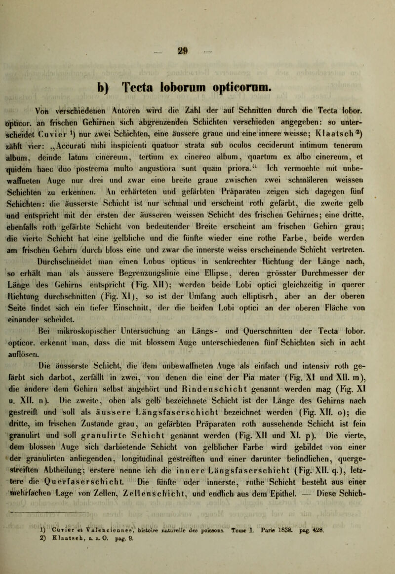 b) Tecta loborum opticornm. Von verschiedenen Autoren wird die Zahl der auf Schnitten dnreh die Tecta lobor. opticor. an frischen Gehirnen sich abgrenzenden Schichten verschieden angegeben: so unter- scheidet Cuvier *) nur zwei Schichten, eine äussere graue und eine innere weisse; Klaatsch*) zählt vier: „Accurati mihi inspicienli quatuor strata sub oculos ceciderurit intimum tenerum albutn. deinde lalum einereutu, tertium ex cinereo album, quartum ex albo cinereurn, et quidem haec duo postrema multo augustiora sunt quam priora. w Ich vermochte mit unbe- waffneten Auge nur drei und zwar eine breite graue zwischen zwei schmäleren weissen Schichten zu erkennen. An erhärteten und gefärbten Präparaten zeigen sich dagegen fünf Schichten: die äussersle .Schicht ist nur schmal und erscheint roth gefärbt, die zweite gelb und entspricht mit der ersten der äusseren weissen Schicht des frischen Gehirnes; eine dritte, ebenfalls roth gefärbte Schicht von bedeutender Breite erscheint am frischen Gehirn grau; die vierte Schicht hat eine gelbliche und die fünfte wieder eine rothe Farbe, beide werden am frischen Gehirn durch bloss eine und zwar die innerste weiss erscheinende Schicht vertreten. Durchschneidet man einen Lobus opticus in senkrechter Richtung der Länge nach, so erhält man als äussere Begrenzungslinie eine Ellipse, deren grösster Durchmesser der Länge des Gehirns entspricht (Fig. XII); werden beide Lobi optici gleichzeitig in querer Richtung durchschnitten (Fig. XI), so ist der Umfang auch elliptisrh, aber an der oberen Seite findet sich ein tiefer Einschnitt, der die beiden Lobi optici an der oberen Fläche von einander scheidet. Bei mikroskopischer Untersuchung an Längs- und Querschnitten der Tecta lobor. opticor. erkennt man, dass die mit blossem Auge unterschiedenen fünf Schichten sich in acht auflösen. Die äussersle Schicht, die dem unbewaffneten .Auge als einfach und intensiv roth ge- färbt sich darbot, zerfällt in zwei, von denen die eine der Pia mater (Fig. XI und XII. m), die andere dem Gehirn selbst angehört und Rindenschicht genannt werden mag (Fig. XI u. XII. n). Die zweite, oben als gelb bezeichnete Schicht ist der Länge des Gehirns nach gestreift und soll als äussere Längs faserschicht bezeichnet werden (Fig. XII. o); die dritte, im frischen Zustande grau, an gefärbten Präparaten roth aussehende Schicht ist fein granulirt und soll granulirte Schicht genannt werden (Fig. XII und XI. p). Die vierte, dem blossen Auge sich darbietende Schicht von gelblicher Farbe wird gebildet von einer der granulirten anliegenden, longitudinal gestreiften und einer darunter befindlichen, querge- streiften Abtheilung; erstere nenne ich die innere Längsfaserschicht (Fig. XII. q.), letz- tere die Querfaserschicht. Die fünfte ocfer innerste, rothe Schicht besteht aus einer mehrfachen Lage von Zellen, Zellenschicht, und endlich aus dem Epithel. — Diese Schich- 1) Curier et Valencienner’, hvsiolre naturelle de» poiasons. Tome 1. Paris 1838. pag 428. 2) Klaateeh, a. a. 0. pag. 9.