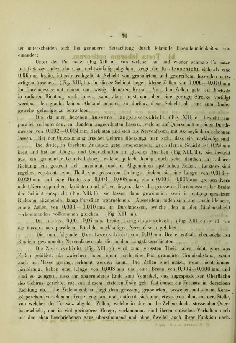 ten unterscheiden sich bei genauerer Betrachtung durch folgende Eigenthiimlichkeilen \on einander: Unter der Pia mater (Fig. XIII. a). von welcher hin und wieder schmale Fortsätze mit Gelassen oder ohne sie rechlwinkelig abgehen, zeigt die Binde lisch icht sich als eine 0,06 nun breite, intensiv rothgefärbte Schicht von granulirtem und gestreiftem, bisweilen netz- artigem Ansehen (Fig. XIII, b). In dieser Schicht liegen kleine Zellen von 0,006—-0.010 mm im Durchmesser mit einem nur wenig kleineren Kerne. Von den Zellen geht ein Fortsatz in radiären Richtung nach innen, kann aber meist nur über eine geringe Strecke verfolgt werden. Ich glaube keinen Abstand nehmen zu dürfen, diese Schicht, als eine zum Binde- gewebe gehörige zu betrachten. Die darunter liegende äussere Längsfascrschichl (Fig. Al 11. c) besteht aus parallel verlaufenden, in Bündeln ungeordneten Fasern, welche auf Querschnitten einen Durch- messer von 0,002—0,004 mm darbieten und sich als Nervenfasern mit Axencylindern erkennen lassen. Bei der Untersuchung frischer Gehirne überzeugt man sich, dass sie markhaltig sind. Die dritte, in frischem Zustande grau erscheinende, granulirte Schicht ist 0.28mm breit und hat auf Längs- und Querschnitten ein gleiches Ansehen (Fig XIII, d); sic besteht aus fein granujirter Grundsubslauz, welche jedoch häulig auch sehr deutlich in radiärer Richtung fein gestreift sich ausnimmt, und im Allgemeinen spärlichen Zellen. Letztere sind regellos zerstreut, zum l'heil von grösserem Umfange, indem sie eine Länge von 0,01(j — 0,020 mm und eine Breite von 0.004—0,008 mm, einen 0^004-—0,006 mm grossen Kern nebst Kernkörperchen darbieten und oft so liegen, dass ihr grösserer Durchmesser der Breite der Schicht entspricht (Fig. XIII. 1); sie lassen dann gewöhnlich zwei in entgegengesetzter Richtung abgehende, lange Fortsätze wahrnehmen. Ausserdem finden sich aber auch kleinere, runde Zellen von 0,006 -j 0,010 mm im Durchmesser, welche den in der Rindenschicht vorkommenden vollkommen gleichen. (Fig. XIII. m). Die innere 0,06—0,07 mm. breite Längsfaserschicht (Fig. XIII. e) wird wie die äussere aus parallelen Bündeln markhalliger Nervenfasern gebildet. Die nun folgende Querfasersphicht von 0,10 mm Breite enthält ebensolche zu Bündeln gesammelte Nervenfasern als die beiden Längsfaserschichlcn. , Die Zellenschicht (Fig. XIII. g) wird zum grössten 'l'heil. aber nicht ganz aus Zellen gebildet, da zwischen ihnen immr noch eine fein granulirte Grundsubstanz, wenn auch an Masse gering, erkannt werden kann. Die Zellen sind meist, wenn nicht immer bimförmig, haben eine Länge von 0,008 mm und eine Breite von 0,004—0,006 mm und sind so gelagert, dass ihr abgerundetes Ende zum Ventrikel, das zugespitzte zur Oberfläche des Gehirns gerichtet ist: von diesem letzteren Ende geht fast immer ein Fortsatz in derselben Richtung ab. Die Zellenmembran liegt dem grossen, granulirten, bisweilen mit einem Kern- körperchen versehenen Kerne eng an und entfernt sich nur etwas von ihm an der Stelle, von welcher der Fortsatz abgeht. Zellen, welche in der an die Zellenschicht stossenden Quer- faserschicht, nur in viel geringerer Menge, verkommen, sind ihrem optischen Verhalten nach mit den ebeu beschriebenen ganz überstimmend und ohne Zweifel auch ihrer Funktion nach..