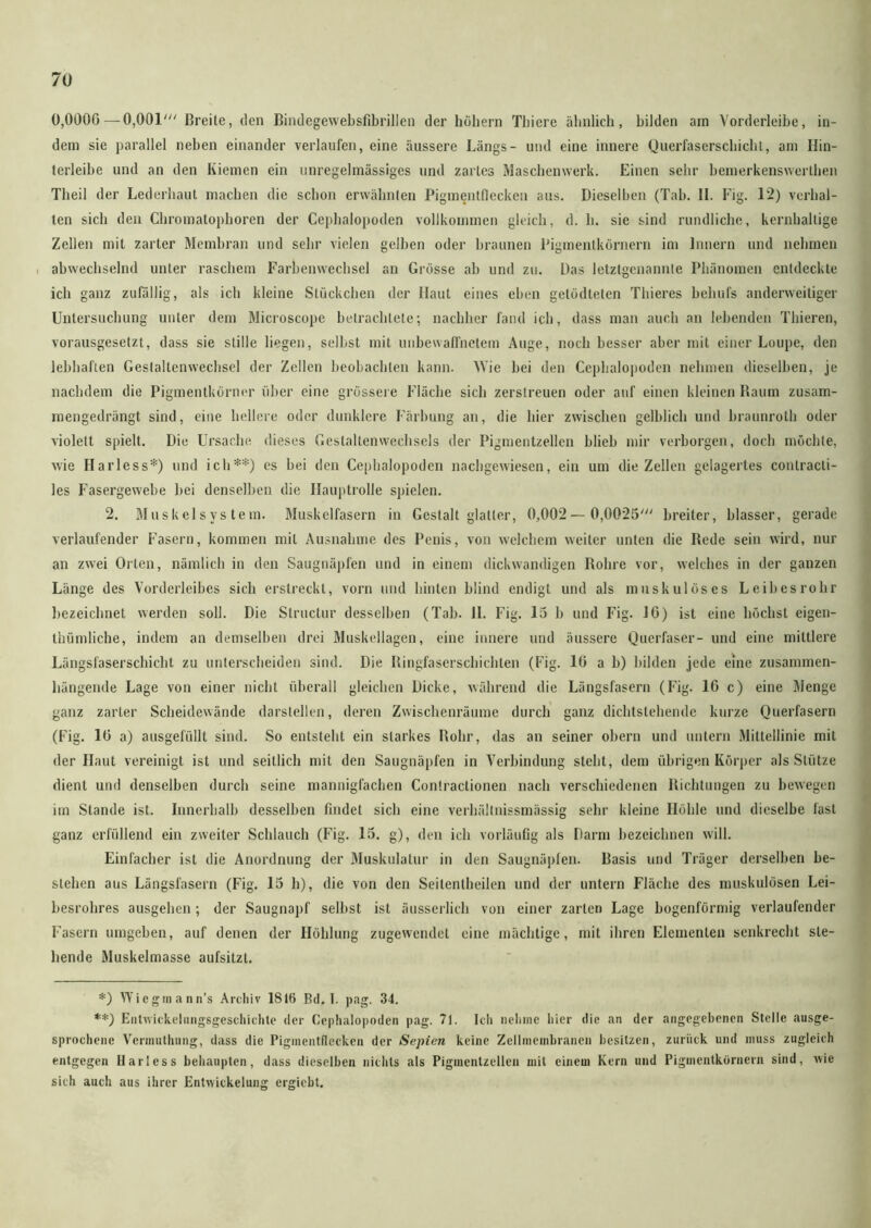 0,0006 — 0,001' Breite, den Bindegewebsfibrillen der hohem Tbiere ähnlich, bilden am Vorderleibe, in- dem sie parallel neben einander verlaufen, eine äussere Längs- und eine innere Querfaserschicht, am Hin- terleibe und an den Kiemen ein unregelmässiges und zartes Maschenwerk. Einen sehr bemerkenswerthen Tbeil der Lederhaut machen die schon erwähnten Pigmentflecken aus. Dieselben (Tab. II. Fig. 12) verhal- ten sich den Chromatophoren der Cephalopoden vollkommen gleich, d. h. sie sind rundliche, kernhaltige Zellen mit zarter Membran und sehr vielen gelben oder braunen Pigmentkörnern im Innern und nehmen abwechselnd unter raschem Farbenwechsel an Grösse ab und zu. Das letztgenannte Phänomen entdeckte ich ganz zufällig, als ich kleine Stückchen der Haut eines eben getödteten Thieres behufs anderweitiger Untersuchung unter dem Microscope betrachtete; nachher fand ich, dass man auch an lebenden Thieren, vorausgesetzt, dass sie stille liegen, selbst mit unbewaffnetem Auge, noch besser aber mit einer Loupe, den lebhaften Geslaltenwechsel der Zellen beobachten kann. M’ie bei den Cephalopoden nehmen dieselben, je nachdem die Pigmentkörner über eine grössere Fläche sich zerstreuen oder auf einen kleinen Raum zusam- mengedrängt sind, eine hellere oder dunklere Färbung an, die hier zwischen gelblich und braunroth oder violett spielt. Die Ursache dieses Geslaltenwechscls der Pigmentzellen blieb mir verborgen, doch möchte, wie Harless*) und ich**) es bei den Cephalopoden nachgewiesen, ein um die Zellen gelagertes contracti- les Fasergewebe bei denselben die Hauptrolle spielen. 2. Muskelsystem. Muskelfasern in Gestalt glatter, 0,002— 0,0025' breiter, blasser, gerade verlaufender Fasern, kommen mit Ausnahme des Penis, von welchem weiter unten die Rede sein wird, nur an zwei Orten, nämlich in den Saugnäpfen und in einem dickwandigen Rohre vor, welches in der ganzen Länge des Vorderleibes sich erstreckt, vorn und hinten blind endigt und als muskulöses Leibesrohr bezeichnet werden soll. Die Structur desselben (Tab. II. Fig. 15 b und Fig. 16) ist eine büchst eigen- thümliche, indem an demselben drei Muskellagen, eine innere und äussere Querfaser- und eine mittlere Längsfaserschicht zu unterscheiden sind. Die Ringfaserschichten (Fig. 16 a b) bilden jede eine zusammen- hängende Lage von einer nicht überall gleichen Dicke, während die Längsfasern (Fig. 16 c) eine Menge ganz zarter Scheidewände darstellen, deren Zwischenräume durch ganz dichtstehende kurze Querfasern (Fig. 16 a) ausgefüllt sind. So entsteht ein starkes Rohr, das an seiner obern und untern Mittellinie mit der Haut vereinigt ist und seitlich mit den Saugnäpfen in Verbindung stellt, dem übrigen Körper als Stütze dient und denselben durch seine mannigfachen Contraclionen nach verschiedenen Richtungen zu bewegen im Stande ist. Innerhalb desselben findet sich eine verhältnissmässig sehr kleine Höhle und dieselbe fast ganz erfüllend ein zweiter Schlauch (Fig. 15. g), den ich vorläufig als Darm bezeichnen will. Einfacher ist die Anordnung der Muskulatur in den Saugnäpfen. Rasis und Träger derselben be- stehen aus Längsfasern (Fig. 15 h), die von den Seilentheilen und der untern Fläche des muskulösen Lei- besrohres ausgehen ; der Saugnapf selbst ist äusserlich von einer zarten Lage bogenförmig verlaufender Fasern umgeben, auf denen der Höhlung zugewendet eine mächtige, mit ihren Elementen senkrecht ste- hende Muskelmasse aufsitzt. *) Wiegraann’s Archiv IS 16 B<1.1. pag. 34. **) Entwickelungsgeschichte der Cephalopoden pag. 71. Ich nehme liier die an der angegebenen Stelle ausge- sprochene Vermuthung, dass die Piginentflccken der Sepien keine Zellmembranen besitzen, zurück und muss zugleich entgegen Harless behaupten, dass dieselben nichts als Pigmentzellen mit einem Kern und Pigmentkörnern sind, wie sich auch aus ihrer Entwickelung ergiebt.