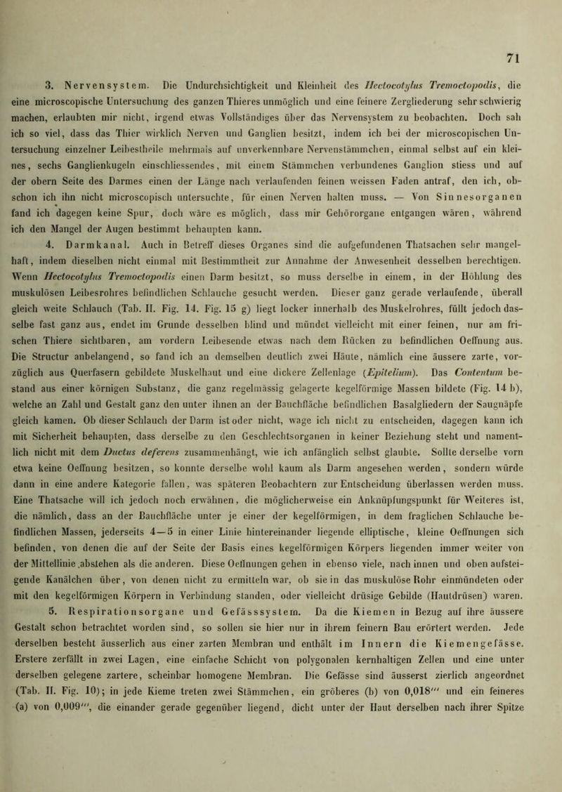 3. Nervensystem. Die Undurchsichtigkeit und Kleinheit des Hectocotyhis Tremoctopodis, die eine microscopische Untersuchung des ganzen Thieres unmöglich und eine feinere Zergliederung sehr schwierig machen, erlaubten mir nicht, irgend etwas Vollständiges über das Nervensystem zu beobachten. Doch sah ich so viel, dass das Thier wirklich Nerven und Ganglien besitzt, indem ich bei der microscopischen Un- tersuchung einzelner Leibeslheile mehrmals auf unverkennbare Nervenstämmchen, einmal selbst auf ein klei- nes, sechs Ganglienkugeln einschliessendes, mit einem Stämmchen verbundenes Ganglion sliess und auf der obern Seite des Darmes einen der Länge nach verlaufenden feinen weissen Faden antraf, den ich, ob- schon ich ihn nicht microscopisch untersuchte, für einen Nerven halten muss. — Von Sinnesorganen fand ich dagegen keine Spur, doch wäre es möglich, dass mir Gehörorgane entgangen wären, während ich den Mangel der Augen bestimmt behaupten kann. 4. Darm kan al. Auch in Betreff dieses Organes sind die aufgefundenen Thatsachen sehr mangel- haft, indem dieselben nicht einmal mit Bestimmtheit zur Annahme der Anwesenheit desselben berechtigen. Wenn Hectocotyhis Tremoctopodis einen Darm besitzt, so muss derselbe in einem, in der Höhlung des muskulösen Leibesrohres befindlichen Schlauche gesucht werden. Dieser ganz gerade verlaufende, überall gleich weite Schlauch (Tab. II. Fig. 14. Fig. 15 g) liegt locker innerhalb des Muskelrohres, füllt jedoch das- selbe fast ganz aus, endet im Grunde desselben blind und mündet vielleicht mit einer feinen, nur am fri- schen Thiere sichtbaren, am vordem Leibesende etwas nach dem Rücken zu befindlichen Oelfnung aus. Die Structur anbelangend, so fand ich an demselben deutlich zwei Häute, nämlich eine äussere zarte, vor- züglich aus Querfasern gebildete Muskelhaut und eine dickere Zellenlage (Epitelium). Das Contentum be- stand aus einer körnigen Substanz, die ganz regelmässig gelagerte kegelförmige Massen bildete (Fig. 14 b), welche an Zahl und Gestalt ganz den unter ihnen an der Bauchfläche befindlichen Basalgliedern der Saugnäpfe gleich kamen. Ob dieser Schlauch der Darm ist oder nicht, wage ich nicht zu entscheiden, dagegen kann ich mit Sicherheit behaupten, dass derselbe zu den Geschlechtsorganen in keiner Beziehung steht und nament- lich nicht mit dem Ductus deferens zusammenhängt, wie ich anfänglich selbst glaubte. Sollte derselbe vorn etwa keine Oeffnung besitzen, so konnte derselbe wohl kaum als Darm angesehen werden, sondern würde dann in eine andere Kategorie fallen, was späteren Beobachtern zur Entscheidung überlassen werden muss. Eine Thatsache will ich jedoch noch erwähnen, die möglicherweise ein Anknüpfungspunkt für Weiteres ist, die nämlich, dass an der Bauchfläche unter je einer der kegelförmigen, in dem fraglichen Schlauche be- findlichen Massen, jederseits 4—5 in einer Linie hintereinander liegende elliptische, kleine Oeffnungen sich befinden, von denen die auf der Seile der Basis eines kegelförmigen Körpers liegenden immer weiter von der Mittellinie .abslehen als die anderen. Diese Oeffnungen gehen in ebenso viele, nach innen und oben aufstei- gende Kanälchen über, von denen nicht zu ermitteln war, ob sie in das muskulöse Rohr einmündeten oder mit den kegelförmigen Körpern in Verbindung standen, oder vielleicht drüsige Gebilde (Hautdrüsen) waren. 5. Respirationsorgane und GefässsyStern. Da die Kiemen in Bezug auf ihre äussere Gestalt schon betrachtet worden sind, so sollen sie hier nur in ihrem feinem Bau erörtert werden. Jede derselben besteht äusserlich aus einer zarten Membran und enthält im Innern die Ki em enge fasse. Erstere zerfällt in zwei Lagen, eine einfache Schicht von polygonalen kernhaltigen Zellen und eine unter derselben gelegene zartere, scheinbar homogene Membran. Die Gefässe sind äusserst zierlich angeordnet (Tab. II. Fig. 10); in jede Kieme treten zwei Stämmchen, ein gröberes (b) von 0,018' und ein feineres (a) von 0,009', die einander gerade gegenüber liegend, dicht unter der Haut derselben nach ihrer Spitze