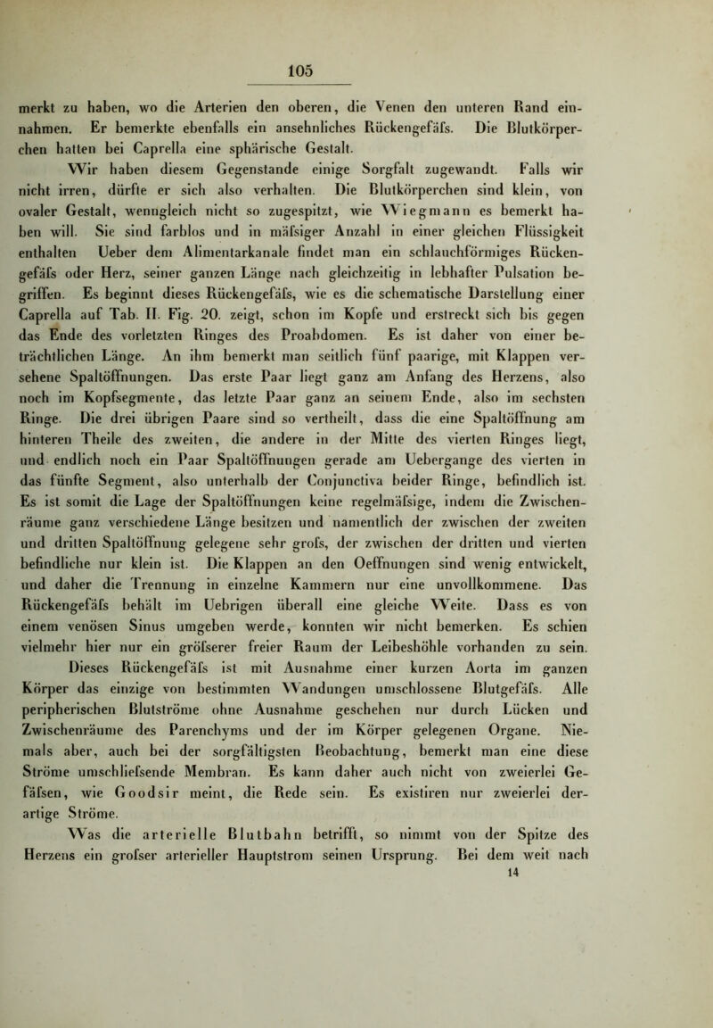 merkt zu haben, wo die Arterien den oberen, die Venen den unteren Rand eln- nahmen. Er bemerkte ebenfalls ein ansehnliches Rückengefäfs. Die Blutkörper- chen hatten hei Caprella eine sphärische Gestalt. Wir haben diesem Gegenstände einige Sorgfalt zugewandt. Falls wir nicht Irren, dürfte er sich also verhalten. Die Blutkörperchen sind klein, von ovaler Gestalt, wenngleich nicht so zugespitzt, wie Wiegmann es bemerkt ha- ben will. Sie sind farblos und ln mäfsiger Anzahl ln einer gleichen Flüssigkeit enthalten lieber dem Alimentarkanale findet man ein schlauchförmiges Rücken- gefäfs oder Herz, seiner ganzen Länge nach gleichzeitig in lebhafter Pulsation be- griffen. Es beginnt dieses Rückengefäfs, wie es die schematische Darstellung einer Caprella auf Tab. II. Fig. 20. zeigt, schon Im Kopfe und erstreckt sich bis gegen das Ende des vorletzten Ringes des Proahdomen. Es Ist daher von einer be- trächtlichen Länge. An Ihm bemerkt man seitlich fünf paarige, mit Klappen ver- sehene Spaltöffnungen. Das erste Paar liegt ganz am Anfang des Herzens, also noch Im Kopfsegmente, das letzte Paar ganz an seinem Ende, also Im sechsten Ringe. Die drei übrigen Paare sind so vertheilt, dass die eine Spaltöffnung am hinteren Thelle des zweiten, die andere ln der Mitte des vierten Ringes Hegt, und endlich noch ein Paar Spaltöffnungen gerade am Uebergange des vierten ln das fünfte Segment, also unterhalb der Conjunctlva beider Ringe, befindlich Ist. Es Ist somit die Lage der Spaltöffnungen keine regelmäfsige. Indem die Zwischen- räume ganz verschiedene Länge besitzen und namentlich der zwischen der zweiten und dritten Spaltöffnung gelegene sehr grofs, der zwischen der dritten und vierten befindliche nur klein ist. Die Klappen an den Oeffnungen sind wenig entwickelt, und daher die Trennung ln einzelne Kammern nur eine unvollkommene. Das Rückengefäfs behält Im Uebrlgen überall eine gleiche Weite. Dass es von einem venösen Sinus umgeben werde, konnten wir nicht bemerken. Es schien vielmehr hier nur ein gröfserer freier Raum der Leibeshöhle vorhanden zu sein. Dieses Rückengefäfs Ist mit Ausnahme einer kurzen Aorta im ganzen Körper das einzige von bestimmten Wandungen umschlossene Blutgefäfs. Alle peripherischen Blutströme ohne Ausnahme geschehen nur durch Lücken und Zwischenräume des Parenchyms und der Im Körper gelegenen Organe. Nie- mals aber, auch bei der sorgfältigsten Beobachtung, bemerkt man eine diese Ströme umschllefsende Membran. Es kann daher auch nicht von zweierlei Ge- fäfsen, wie Goodslr meint, die Rede sein. Es exlstlren nur zweierlei der- artige Ströme. Was die arterielle Blutbahn betrifft, so nimmt von der Spitze des Herzens ein grofser arterieller Hauptstrom seinen Ursprung. Bei dem weit nach 14