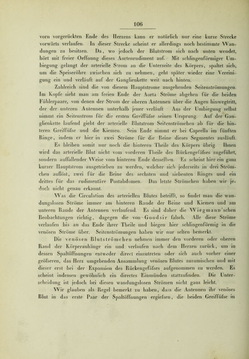 vorn vorgerückten Ende des Herzens kann er natürlich nur eine kurze Strecke vorwärts verlaufen. In dieser Strecke scheint er allerdings noch bestimmte Wan- dungen zu besitzen. Da, wo jedoch der Blutstrom sich nach unten wendet, hört mit freier Oeffnung dieses Aortenrudiment auf. Mit schlingenförmlger Um- biegung gelangt der arterielle Strom an die Unterseite des Körpers, spaltet sich, um die Speiseröhre zwischen sich zu nehmen, geht später wieder eine Vereini- gung ein und verläuft auf der Ganglienkette weit nach hinten. Zahlreich sind die von diesem Hauptstrome ausgehenden Seilenströmungen. Im Kopfe sieht man am freien Ende der Aorta Ströme ahgehen für die beiden Fühlerpaare, von denen der Strom der oberen Antennen über die Augen hinwegtritt, der der unteren Antennen unterhalb jener verläuft Aus der Umbiegung selbst nimmt ein Seitenstrom für die ersten Grelffüfse seinen Ursprung. Auf der Gan- glienkelte laufend glebt der arterielle Blutstrom Seltenströmchen ab für die hin- teren Grelffüfse und die Kiemen. Sein Ende nimmt er bei Caprella im fünften Blnge, indem er hierin zwei Ströme für die Beine dieses Segmentes ausläuft. Es bleiben somit nur noch die hinteren Thelle des Körpers übrig. Ihnen wird das arterielle Blut nicht vom vorderen Tlieile des Bückengefäfses zugeführt, sondern auffallender Weise vom hinteren Ende desselben. Es scheint hier ein ganz kurzer Hauptstrom ausgetrieben zu werden, welcher sich jederseits in drei Ström- chen auflöst, zwei für die Beine des sechsten und siebenten Blngcs und ein drittes für das rudimentäre Postabdomen. Das letzte Strömchen haben wir je- doch nicht genau erkannt. W^as die Circulation des arteriellen Blutes betrifft, so findet man die wan- dungslosen Ströme immer am hinteren Rande der Beine und Kiemen und am unteren Rande der Antennen verlaufend. Es sind daher die Wiegmann’schen Beobachtungen richtig, dagegen die von Goodslr falsch. Alle diese Ströme verlaufen bis an das Ende ihrer Theile und biegen hier schlingenförmig ln die venösen Ströme über. Seitenströmuugen haben wir nur selten bemerkt. Die venösen Blutströmchen nehmen immer den vorderen oder oberen Rand der Körperanhänge ein und verlaufen nach dem Herzen zurück, um in dessen Spaltöffnungen entweder direct einzutreten oder sich auch vorher einer gröfseren, das Herz umgebenden Ansammlung venösen Blutes zuzumischen und mit dieser erst bei der Expansion des Rückengefäfses aufgenommen zu werden. Es scheint Indessen gewöhnlich ein dlrectes Einmünden stattzufinden. Die Unter- scheidung ist jedoch bei diesen wandungslosen Strömen nicht ganz leicht. Wir glauben als Regel bemerkt zu haben, dass die Antennen ihr venöses Blut in das erste Paar der Spaltöffnungen erglefsen, die beiden Greiffüfse in