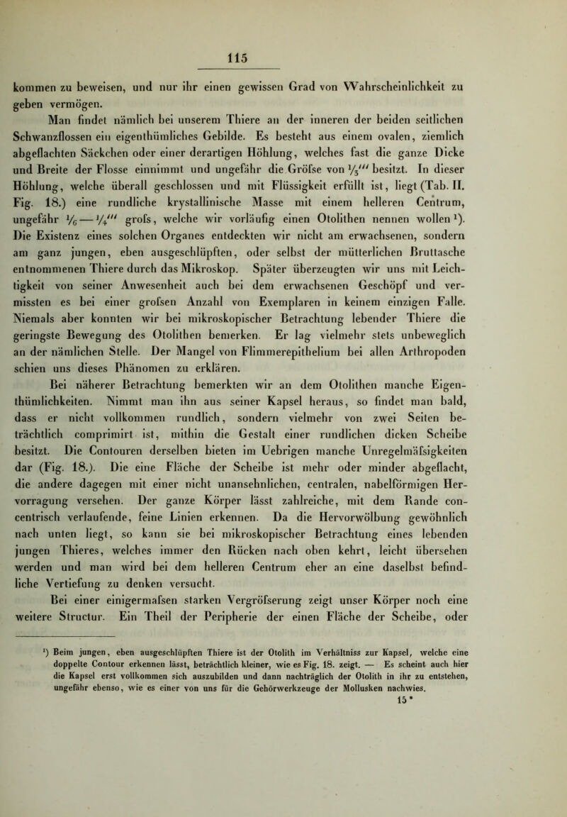kommen zu beweisen, und nur Ihr einen gewissen Grad von Wahrscheinlichkeit zu geben vermögen. Man findet nämlich bei unserem Thiere an der inneren der beiden seitlichen Schwanzflossenein eigenthümliches Gebilde. Es besteht aus einem ovalen, ziemlich abgeflachten Säckchen oder einer derartigen Höhlung, welches fast die ganze Dicke und Breite der Flosse einnimmt und ungefähr die Gröfse von V3' besitzt. In dieser Höhlung, welche überall geschlossen und mit Flüssigkeit erfüllt ist. Hegt (Tab. II. Fig. 18.) eine rundliche krystallinlsche Masse mit einem helleren Centrum, ungefähr Vg — grofs, welche wir vorläufig einen Otollthen nennen wollen^). Die Existenz eines solchen Organes entdeckten wir nicht am erwachsenen, sondern am ganz jungen, eben ausgeschlüpften, oder selbst der mütterlichen ßruttasche entnommenen Thiere durch das Mikroskop. Später überzeugten wir uns mit Leich- tigkeit von seiner Anwesenheit auch bei dem erwachsenen Geschöpf und ver- missten es bei einer grofsen Anzahl von Exemplaren in keinem einzigen Falle. Niemals aber konnten wir bei mikroskopischer Betrachtung lebender Thiere die geringste Bewegung des Otolithen bemerken. Er lag vielmehr stets unbeweglich an der nämlichen Stelle. Der Mangel von Flimmerepithellum bei allen Arthropoden schien uns dieses Phänomen zu erklären. Bei näherer Betrachtung bemerkten wir an dem Otollthen manche Eigen- thümlichkelten. Nimmt man ihn aus seiner Kapsel heraus, so findet man bald, dass er nicht vollkommen rundlich, sondern vielmehr von zwei Seiten be- trächtlich comprlmirt ist, mithin die Gestalt einer rundlichen dicken Scheibe besitzt. Die Contouren derselben bieten im Uebrlgen manche Unregelmäfslgkelten dar (Fig. 18.). Die eine Fläche der Scheibe ist mehr oder minder abgeflacht, die andere dagegen mit einer nicht unansehnlichen, centralen, nabelförmigen Her- vorragung versehen. Der ganze Körper lässt zahlreiche, mit dem Rande con- centrlsch verlaufende, feine Linien erkennen. Da die Hervorwölbung gewöhnlich nach unten Hegt, so kann sie bei mikroskopischer Betrachtung eines lebenden jungen Thleres, welches immer den Rücken nach oben kehrt, leicht übersehen werden und man wird bei dem helleren Centrum eher an eine daselbst befind- liche Vertiefung zu denken versucht. Bel einer einlgermafsen starken Vergröfserung zeigt unser Körper noch eine weitere Structur. Ein Thell der Peripherie der einen Fläche der Scheibe, oder *) Beim jungen, eben ausgeschlüpften Thiere ist der Otolith im Verhältniss zur Kapsel, welche eine doppelte Contour erkennen lässt, beträchtlich kleiner, wie es Fig. 18. zeigt. — Es scheint auch hier die Kapsel erst vollkommen sich auszubilden und dann nachträglich der Otolith in ihr zu entstehen, ungeiahr ebenso, wie es einer von uns für die Gehörwerkzeuge der Mollusken nachwies. 15*