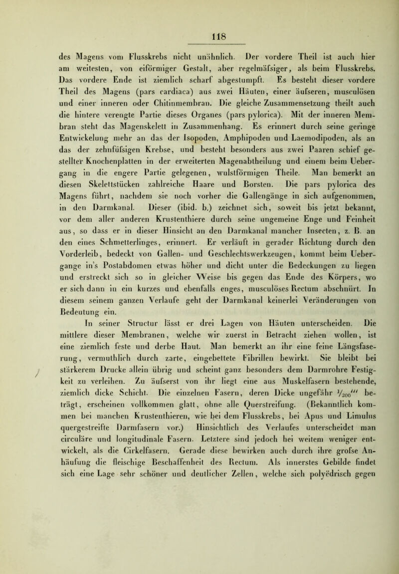 des Magens vom Flusskrebs nicht unähnlich. Der vordere Theil ist auch hier am weitesten, von eiförmiger Gestalt, aber regelmäfsiger, als beim Flusskrebs. Das vordere Ende ist ziemlich scharf abgestumpft. Es besteht dieser vordere Theil des Magens (pars cardiaca) aus zwei Hauten, einer äufseren, musculosen und einer inneren oder Chitinmembran. Die gleiche Zusammensetzung theilt auch die hintere verengte Partie dieses Organes (pars pylorica). Mit der inneren Mem- bran steht das Magenskelett in Zusammenhang. Es erinnert durch seine geringe Entwickelung mehr an das der Isopoden, Amphipoden und Laemodipoden, als an das der zehnfüfsigen Krebse, und besteht besonders aus zwei Paaren schief ge- stelltel* Knochenplatten ln der erweiterten Magenabtheilung und einem beim Ueber- gang ln die engere Partie gelegenen, wulstförmigen Thelle. Man bemerkt an diesen Skelettstücken zahlreiche Haare und Borsten. Die pars pylorica des Magens führt, nachdem sie noch vorher die Gallengänge ln sich aufgenommen, ln den Darmkanal. Dieser (Ibld. b.) zeichnet sich, soweit bis jetzt bekannt, vor dem aller anderen Krustenthlere durch seine ungemeine Enge und Feinheit aus, so dass er ln dieser Hinsicht an den Darmkanal mancher Insecten, z. B. an den eines Schmetterllnges, erinnert. Er verläuft in gerader Richtung durch den Vorderleib, bedeckt von Gallen- und Geschlechtswerkzeugen, kommt beim Ueber- gange In’s Postabdomen etwas höher und dicht unter die Bedeckungen zu liegen und erstreckt sich so ln gleicher Welse bis gegen das Ende des Körpers, wo er sich dann ln ein kurzes und ebenfalls enges, musculöses Rectum abschnürt. In diesem seinem ganzen Verlaufe geht der Darmkanal keinerlei Veränderungen von Bedeutung ein. In seiner Structur lässt er drei Lagen von Häuten unterscheiden. Die mittlere dieser Membranen, welche wir zuerst ln Betracht ziehen wollen, ist eine ziemlich feste und derbe Haut. Man bemerkt an ihr eine feine Längsfase- rung, vermuthllch durch zarte, eingebettete Fibrillen bewirkt. Sie bleibt bei stärkerem Drucke allein übrig und scheint ganz besonders dem Darmrohre Festig- keit zu verleihen. Zu äufserst von ihr liegt eine aus Muskelfasern bestehende, ziemlich dicke Schicht. Die einzelnen Fasern, deren Dicke ungefähr V200 ^>c- trägt, erscheinen vollkommen glatt, ohne alle Querstreifung. (Bekanntlich kom- men bei manchen Krustenthleren, wie bei dem Flusskrebs, bei Apus und Llmulus quergestreifte Darmfasern vor.) Hinsichtlich des Verlaufes unterscheidet man clrculäre und longitudinale Fasern. Letztere sind jedoch hei weitem weniger ent- wickelt, als die Clrkelfasern. Gerade «liese bewirken auch durch ihre grofse An- häufung die fleischige Beschaffenheit des Rectum. Als Innerstes Gebilde findet sich eine Lage sehr schöner und deutlicher Zellen, welche sich polyedrlsch gegen