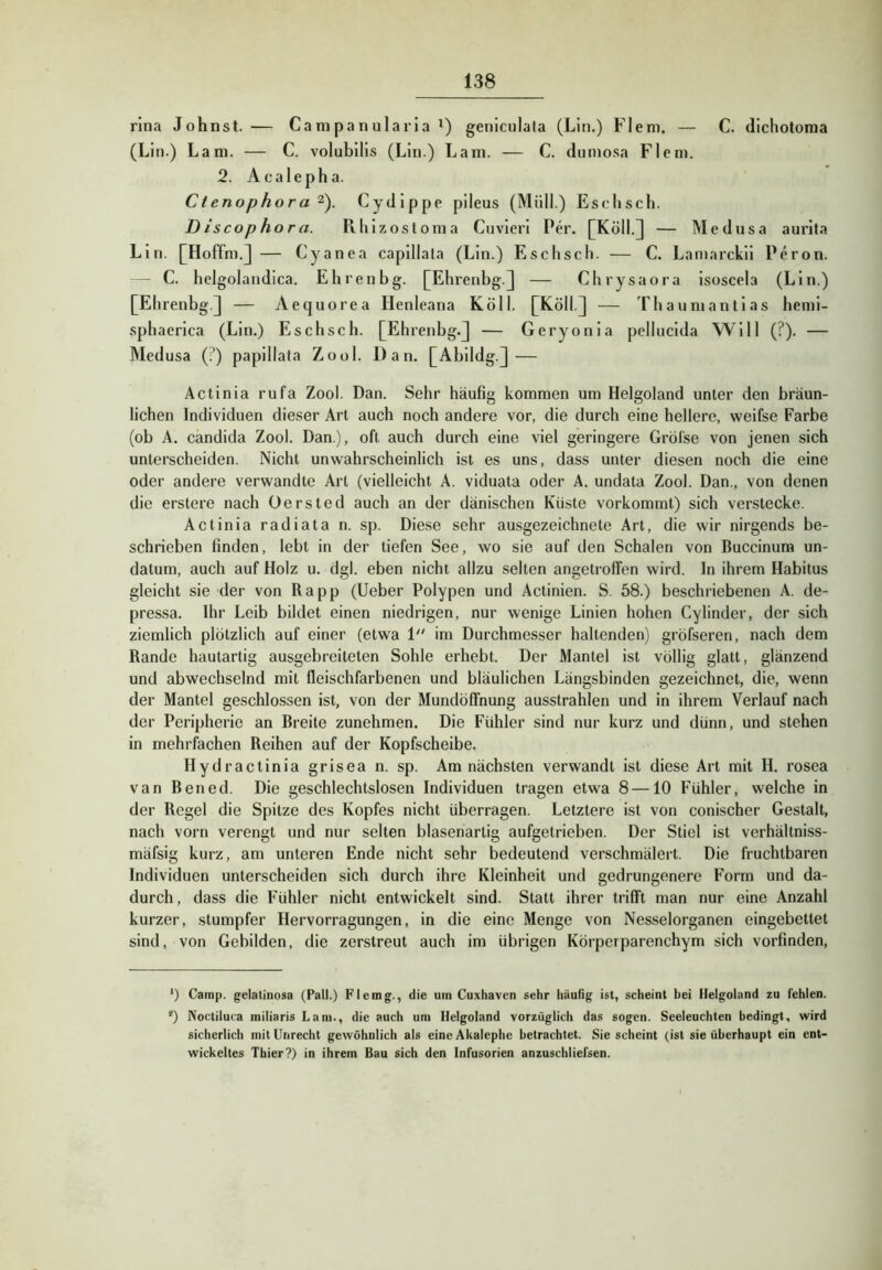 rlna lohnst.— Campanularia genlculata (Lin.) Flem. — C. dichotoma (Lin.) Lani. — C. volubilis (Lin.) Lani. — C. dumosa Fleni. 2. A c a 1 e p h a. Ctenophora 2). Cydippe pileus (Müll.) Esohsch. Discophora. Rhizostonia Cuvieri Per. [Köll.]J — Medusa aurita Lin. [Hoffni.J — Cyanea capillata (Lin.) Esclisch. — C. Larnarckii Peron. — C. helgolandica. Ehrenbg. [Ehrenbg.]] — Chrysaora isoscela (Lin.) [Ehrenbg.] — Aequorea Henleana Köll. [Köll.] — Thauniantias hemi- sphaerica (Lin.) Eschsch. [Ehrenbg.] — Geryonia pellucida Will (?). — Medusa (?) papillata Zool. Dan. [Abildg.] — Actinia rufa Zool. Dan. Sehr häufig kommen um Helgoland unter den bräun- lichen Individuen dieser Art auch noch andere vor, die durch eine hellere, weifse Farbe (ob A. Candida Zool. Dan.), oft auch durch eine viel geringere Gröfse von jenen sich unterscheiden. Nicht unwahrscheinlich ist es uns, dass unter diesen noch die eine oder andere verwandte Art (vielleicht A. viduata oder A. undata Zool. Dan., von denen die erstere nach üersted auch an der dänischen Küste vorkommt) sich verstecke. Actinia radiata n. sp. Diese sehr ausgezeichnete Art, die wir nirgends be- schrieben finden, lebt in der tiefen See, wo sie auf den Schalen von Buccinura un- datum, auch auf Holz u. dgl. eben nicht allzu selten angetroffen wird. In ihrem Habitus gleicht sie der von Rapp (lieber Polypen und Actinien. S. 58.) beschriebenen A. de- pressa. Ihr Leib bildet einen niedrigen, nur wenige Linien hohen Cylinder, der sich ziemlich plötzlich auf einer (etwa 1 im Durchmesser haltenden) gröfseren, nach dem Rande hautartig ausgebreiteten Sohle erhebt. Der Mantel ist völlig glatt, glänzend und abwechselnd mit fleischfarbenen und bläulichen Längsbinden gezeichnet, die, wenn der Mantel geschlossen ist, von der MundölTnung ausstrahlen und in ihrem Verlauf nach der Peripherie an Breite zunehmen. Die Fühler sind nur kurz und dünn, und stehen in mehrfachen Reihen auf der Kopfscheibe. Hydractinia grisea n. sp. Am nächsten verwandt ist diese Art mit H. rosea van Bened. Die geschlechtslosen Individuen tragen etwa 8 —10 Fühler, welche in der Regel die Spitze des Kopfes nicht überragen. Letztere ist von conischer Gestalt, nach vorn verengt und nur selten blasenartig aufgetrieben. Der Stiel ist verhältniss- mäfsig kurz, am unteren Ende nicht sehr bedeutend verschmälert. Die fruchtbaren Individuen unterscheiden sich durch ihre Kleinheit und gedrungenere Form und da- durch, dass die Fühler nicht entwickelt sind. Statt ihrer trifft man nur eine Anzahl kurzer, stumpfer Ilervorragungen, in die eine Menge von Nesselorganen eingebettet sind, von Gebilden, die zerstreut auch im übrigen Körperparenchym sich vorfinden. ‘) Camp, gelatinosa (Pall.) Flemg., die um Cuxhaven sehr häufig ist, scheint bei Helgoland zu fehlen. 0 Noctiluca miliaris Lani., die auch um Helgoland vorzüglich das sogen. Seeleuchten bedingt, wird sicherlich mit Unrecht gewöhnlich als eine Akalephe betrachtet. Sie scheint (ist sie überhaupt ein ent- wickeltes Thier?) in ihrem Bau sich den Infusorien anzuschliefsen.