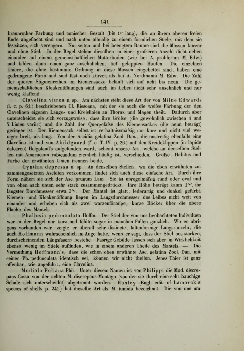 braunrother Färbung und conischer Gestalt (bis 1'' lang), die an ihrem oberen freien Ende abgeflacht sind und nach unten allraälig zu einem förmlichen Stiele, mit dem sie festsitzen, sich verengern. Nur selten und bei beengtem Raume sind die Massen kürzer und ohne Stiel. In der Regel stehen dieselben in einer gröfseren Anzahl dicht neben einander auf einem gemeinschaftlichen Mutterboden (wie bei A. proliferum M. Edw.) und bilden dann einen ganz ansehnlichen, tief gelappten Haufen. Die einzelnen Thiere, die ohne bestimmte Ordnung in diese Massen eingebettet sind, haben eine gedrungene Form und sind fast noch kürzer, als bei A. Nordmanni M. Edw. Die Zahl der queren Stigmenreihen im Kiemensacke beläuft sich auf acht bis neun. Die ge- meinschaftlichen Kloakenöffnungen sind auch im Leben nicht sehr ansehnlich und nur wenig klaffend. Clavelina vitrea n. sp. Am nächsten steht diese Art der von Milne Edwards (1. c. p. 61.) beschriebenen CI. Rissoana, mit der sie auch die weifse Färbung der den Clavelinen eigenen Längst und Kreislinien an Thorax und Magen theilt. Dadurch aber unterscheidet sie sich vorzugsweise, dass ihre Gröfse (die gewöhnlich zwischen 4 und 7 Linien variirt) und die Zahl der Quergefäfse des Kiemensackes (die neun beträgt) geringer ist. Der Kiemensack selbst ist verhältnissmäfsig nur kurz und nicht viel we- niger breit, als lang. Von der Ascidia gelatina Zool. Dan., die unstreitig ebenfalls eine Clavelina ist und von Abildgaard (f c. T. IV. p. 26.) auf den Kreideklippen (in lapide calcareo) Helgolands aufgefunden ward, scheint unsere Art, welche an denselben Stel- len mit Amarucium rubicundura ziemlich häufig ist, verschieden. Gröfse, Habitus und Farbe der erwähnten Linien trennen beide. Cynthia depressa n. sp. An denselben Stellen, wo die eben erwähnten zu- sammengesetzten Ascidien verkommen, findet sich auch diese einfache Art. Durch ihre Form nähert sie sich der Asc. prunum Lam. Sie ist unregelmäfsig rund oder oval und von oben nach unten sehr stark zusammengedriickt. Ihre Höhe beträgt kaum V*', ihr längster Durchmesser etwa 3'''. Der Mantel ist glatt, lederartig und dunkel gefärbt. Kiemen- und Kloakenöffnung liegen im Längsdurchmesser des Leibes nicht weit von einander und erheben sich als zwei warzenförmige, kurze Höcker über die obere Fläche des Mantels. Phallusia pedunculata Hoffm. Der Stiel der von uns beobachteten Individuen war in der Regel nur kurz und fehlte sogar in manchen Fällen gänzlich. Wo er übri- gens vorhanden war, zeigte er überall sehr distincte, faltenförmige Längsrunzeln, die auch Hoffmann wahrscheinlich im Auge hatte, wenn er sagt, dass der Stiel aus starken, durchscheinenden Längsfasern bestehe. Fasrige Gebilde lassen sich aber in Wirklichkeit ebenso wenig im Stiele auffinden, wie in einem anderen Theile des Mantels. — Die Vermuthung Hoffmann’s, dass die schon oben erwähnte Asc. gelatina Zool. Dan. mit seiner Ph. pedunculata identisch sei, können wir nicht theilen. Jenes Thier ist ganz offenbar, wie angeführt, eine Clavelina. Modiola Poliana Phil. Unter diesem Namen ist von Philippi die Mod. discre- pans Costa von der ächten M. discrepans Montagu (von der sie durch eine sehr bauchige Schale sich unterscheidet) abgetrennt worden. Hanley (Engl. edit. of Lamarck’s species of Shells p. 241.) hat dieselbe Art als M. lumida bezeichnet. Die von uns um