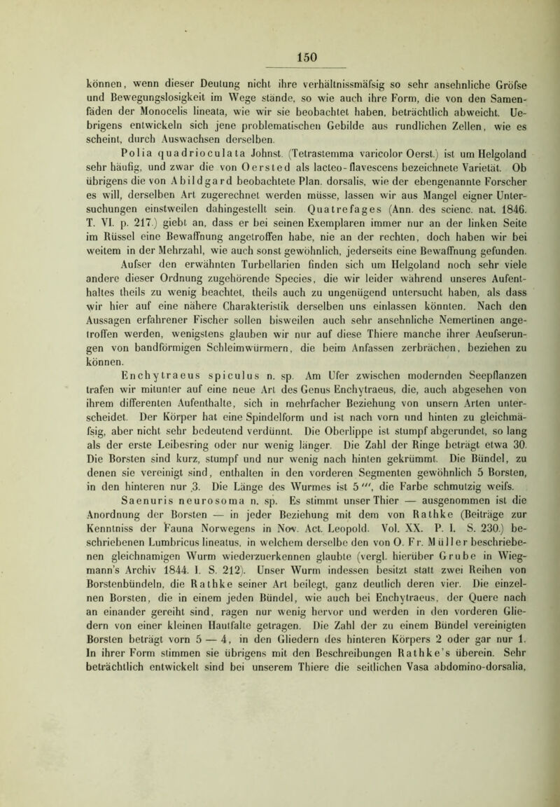 können, wenn dieser Deutung nicht ihre verhältnissniäfsig so sehr ansehnliche Gröfse und Bewegungslosigkeit im Wege stände, so wie auch ihre Form, die von den Samen- fäden der Monocelis lineata, wie wir sie beobachtet haben, beträchtlich abweicht, üe- brigens entwickeln sich jene problematischen Gebilde aus rundlichen Zellen, wie es scheint, durch Auswachsen derselben. Polia quadriocula ta lohnst. (Tetrastemma varicolor Oerst.) ist um Helgoland sehr häufig, und zwar die von Oersted als lacteo-flavescens bezeichnete Varietät. Ob übrigens die von Abildgard beobachtete Plan, dorsalis, wieder ebengenannte Forscher es will, derselben Art zugerechnet werden müsse, lassen wir aus Mangel eigner Unter- suchungen einstweilen dahingestellt sein. Quatrefages (Ann. des scienc. nat. 1846. T. VI. p. 217.) giebt an, dass er bei seinen Exemplaren immer nur an der linken Seite im Rüssel eine Bewaffnung angelroffen habe, nie an der rechten, doch haben wir bei weitem in der Mehrzahl, wie auch sonst gewöhnlich, jederseits eine Bewaffnung gefunden. Aufser den erwähnten Turbellarien finden sich um Helgoland noch sehr viele andere dieser Ordnung zugehörende Species, die wir leider während unseres Aufent- haltes theils zu wenig beachtet, theils auch zu ungenügend untersucht haben, als dass wir hier auf eine nähere Charakteristik derselben uns einlassen könnten. Nach den Aussagen erfahrener Fischer sollen bisweilen auch sehr ansehnliche Nemertinen ange- lroffen werden, wenigstens glauben wir nur auf diese Thiere manche ihrer Aeufserun- gen von bandförmigen Schleimwürmern, die beim Anfassen zerbrächen, beziehen zu können. Enchytraeus spiculus n. sp. Am Ufer zwischen modernden Seepdanzen trafen wir mitunter auf eine neue Art des Genus Enchytraeus, die, auch abgesehen von ihrem differenten Aufenthalte, sich in mehrfacher Beziehung von unsern Arten unter- scheidet. Der Körper hat eine Spindelform und ist nach vorn und hinten zu gleichmä- fsig, aber nicht sehr bedeutend verdünnt. Die Oberlippe ist stumpf abgerundet, so lang als der erste Leibesring oder nur wenig länger. Die Zahl der Ringe beträgt etwa 30. Die Borsten sind kurz, stumpf und nur wenig nach hinten gekrümmt. Die Bündel, zu denen sie vereinigt sind, enthalten in den vorderen Segmenten gewöhnlich 5 Borsten, in den hinteren nur .3- Die Länge des Wurmes ist 5 die Farbe schmutzig weifs. Saenuris neurosoma n. sp. Es stimmt unser Thier — ausgenommen ist die Anordnung der Borsten — in jeder Beziehung mit dem von Rathke (Beiträge zur Kenntniss der Fauna Norwegens in Nov. Act. Leopold. Vol. XX. P. 1. S. 230.) be- schriebenen Lumbricus lineatus, in welchem derselbe den von O. Fr. Müller beschriebe- nen gleichnamigen Wurm wiedeizuerkennen glaubte (vergl. hierüber Grube in Wieg- mann’s Archiv 1844. 1. S. 212). Unser Wurm indessen besitzt statt zwei Reihen von Borstenbündeln, die Rathke seiner Art beilegt, ganz deutlich deren vier. Die einzel- nen Borsten, die in einem jeden Bündel, wie auch bei Enchytraeus, der Quere nach an einander gereiht sind, ragen nur wenig hervor und werden in den vorderen Glie- dern von einer kleinen Hautlälte getragen. Die Zahl der zu einem Bündel vereinigten Borsten beträgt vorn 5 — 4, in den Gliedern des hinteren Körpers 2 oder gar nur 1. In ihrer Form stimmen sie übrigens mit den Beschreibungen Rathke’s überein. Sehr beträchtlich entwickelt sind bei unserem Thiere die seitlichen Vasa abdomino-dorsalia.