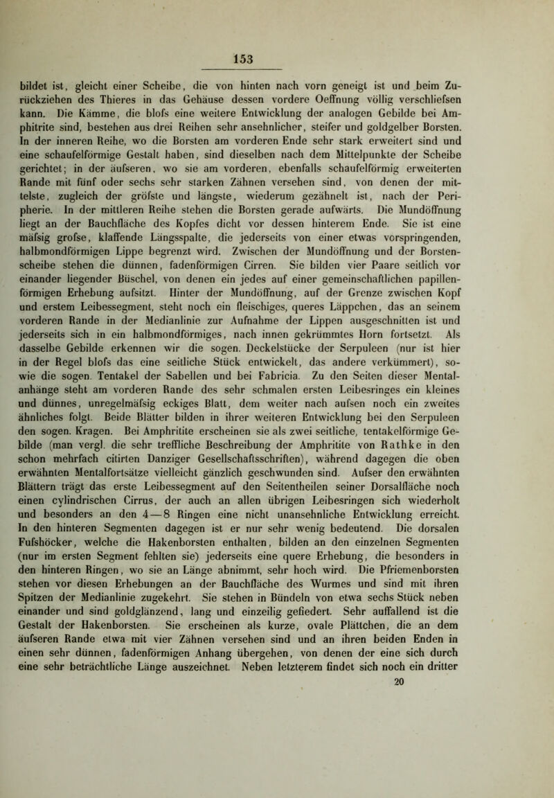 bildet ist, gleicht einer Scheibe, die von hinten nach vorn geneigt ist und beim Zu- riickziehen des Thieres in das Gehäuse dessen vordere OefFnung völlig verschliefsen kann. Die Kämme, die blofs eine weitere Entwicklung der analogen Gebilde bei Am- phitrite sind, bestehen aus drei Reihen sehr ansehnlicher, steifer und goldgelber Borsten. In der inneren Reihe, wo die Borsten am vorderen Ende sehr stark erweitert sind und eine schaufelförmige Gestalt haben, sind dieselben nach dem Mittelpunkte der Scheibe gerichtet; in der äufseren, wo sie am vorderen, ebenfalls schaufelförmig erweiterten Rande mit fünf oder sechs sehr starken Zähnen versehen sind, von denen der mit- telste, zugleich der gröfste und längste, wiederum gezähnelt ist, nach der Peri- pherie. In der mittleren Reihe stehen die Borsten gerade aufwärts. Die Mundöffhung liegt an der Bauchfläche des Kopfes dicht vor dessen hinterem Ende. Sie ist eine mäfsig grofse, klaffende Längsspalte, die jederseits von einer etwas vorspringenden, halbmondförmigen Lippe begrenzt wird. Zwischen der Mundöffnung und der Borsten- scheibe stehen die dünnen, fadenförmigen Cirren. Sie bilden vier Paare seitlich vor einander liegender Büschel, von denen ein jedes auf einer gemeinschaftlichen papillen- förmigen Erhebung aufsitzt. Hinter der Mundöffnung, auf der Grenze zwischen Kopf und erstem Leibessegment, steht noch ein fleischiges, queres Läppchen, das an seinem vorderen Rande in der Medianlinie zur Aufnahme der Lippen ausgeschnitten ist und jederseits sich in ein halbmondförmiges, nach innen gekrümmtes Horn fortsetzt. Als dasselbe Gebilde erkennen wir die sogen. Deckelstücke der Serpuleen (nur ist hier in der Regel blofs das eine seitliche Stück entwickelt, das andere verkümmert), so- wie die sogen. Tentakel der Sabellen und bei Fabricia. Zu den Seiten dieser Mental- anhänge steht am vorderen Rande des sehr schmalen ersten Leibesringes ein kleines und dünnes, unregelmäfsig eckiges Blatt, dem weiter nach aufsen noch ein zweites ähnliches folgt. Beide Blätter bilden in ihrer weiteren Entwicklung bei den Serpuleen den sogen. Kragen. Bei Amphritite erscheinen sie als zwei seitliche, tentakelförmige Ge- bilde (man vergl. die sehr treffliche Beschreibung der Amphritite von Rathke in den schon mehrfach citirten Danziger Gesellschaftsschriften), während dagegen die oben erwähnten Mentalfortsätze vielleicht gänzlich geschwunden sind. Aufser den erwähnten Blättern trägt das erste Leibessegment auf den Seitentheilen seiner Dorsalfläche noch einen cylindrischen Cirrus, der auch an allen übrigen Leibesringen sich wiederholt und besonders an den 4 — 8 Ringen eine nicht unansehnliche Entwicklung erreicht. In den hinteren Segmenten dagegen ist er nur sehr wenig bedeutend. Die dorsalen Fufshöcker, welche die Hakenborsten enthalten, bilden an den einzelnen Segmenten (nur im ersten Segment fehlten sie) jederseits eine quere Erhebung, die besonders in den hinteren Ringen, wo sie an Länge abnimmt, sehr hoch wird. Die Pfriemenborsten stehen vor diesen Erhebungen an der Bauchfläche des Wurmes und sind mit ihren Spitzen der Medianlinie zugekehrt. Sie stehen in Bündeln von etwa sechs Stück neben einander und sind goldglänzend, lang und einzeilig gefiedert. Sehr auffallend ist die Gestalt der Hakenborsten. Sie erscheinen als kurze, ovale Plättchen, die an dem äufseren Rande etwa mit vier Zähnen versehen sind und an ihren beiden Enden in einen sehr dünnen, fadenförmigen Anhang übergehen, von denen der eine sich durch eine sehr beträchtliche Länge auszeichnet. Neben letzterem findet sich noch ein dritter 20