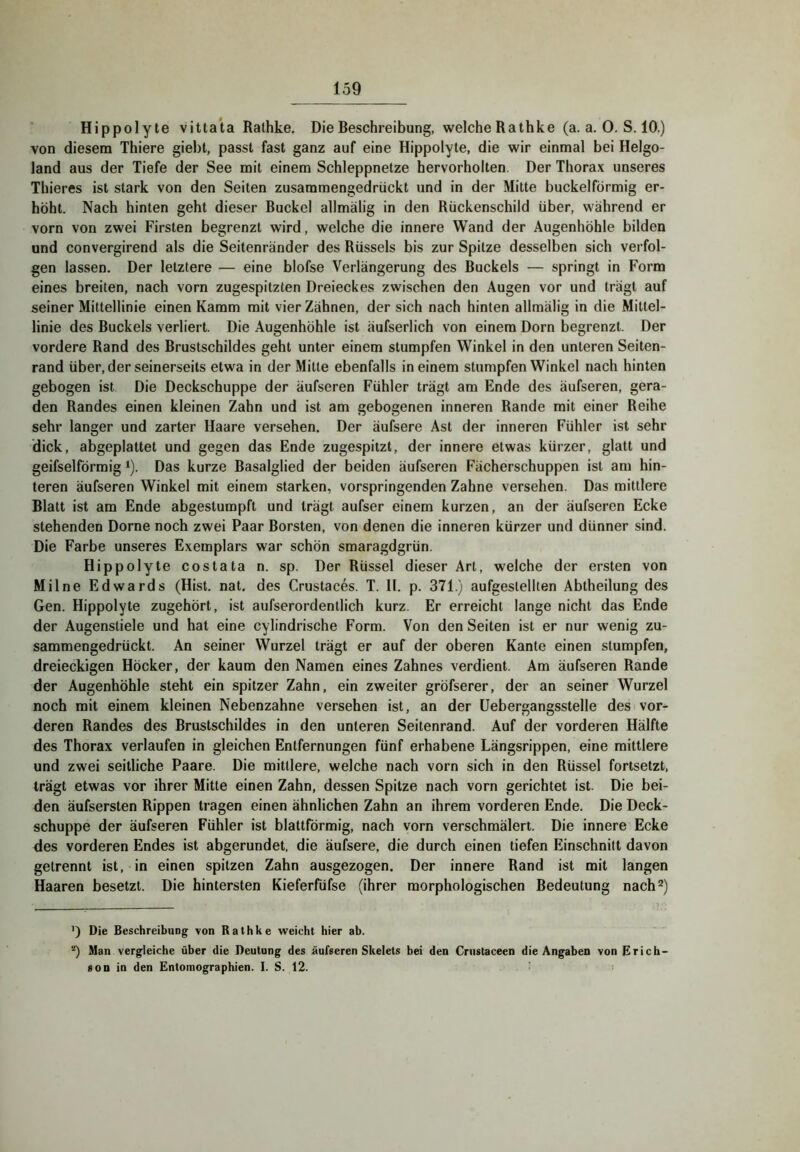 ’ Hippolyte vittata Rathke. Die Beschreibung, welcheRathke (a. a. 0. S. 10.) von diesem Thiere giebl, passt fast ganz auf eine Hippolyte, die wir einmal bei Helgo- land aus der Tiefe der See mit einem Schleppnetze hervorholten. Der Thorax unseres Thieres ist stark von den Seiten zusamraengedriickt und in der Mitte buckelförmig er- höht. Nach hinten geht dieser Buckel allmälig in den Rückenschild über, während er vorn von zwei Firsten begrenzt wird, welche die innere Wand der Augenhöhle bilden und convergirend als die Seitenränder des Rüssels bis zur Spitze desselben sich verfol- gen lassen. Der letztere — eine blofse Verlängerung des Buckels — springt in Form eines breiten, nach vorn zugespitzten Dreieckes zwischen den Augen vor und trägt auf seiner Mittellinie einen Kamm mit vier Zähnen, der sich nach hinten allmälig in die Mittel- linie des Buckels verliert. Die Augenhöhle ist äufserlich von einem Dorn begrenzt. Der vordere Rand des Brustschildes geht unter einem stumpfen Winkel in den unteren Seiten- rand über, der seinerseits etwa in der Milte ebenfalls in einem stumpfen Winkel nach hinten gebogen ist Die Deckschuppe der äufseren Fühler trägt am Ende des äufseren, gera- den Randes einen kleinen Zahn und ist am gebogenen inneren Rande mit einer Reihe sehr langer und zarter Haare versehen. Der äufsere Ast der inneren Fühler ist sehr dick, abgeplattet und gegen das Ende zugespitzt, der innere etwas kürzer, glatt und geifselförmig ^). Das kurze Basalglied der beiden äufseren Fächerschuppen ist am hin- teren äufseren Winkel mit einem starken, vorspringenden Zahne versehen. Das mittlere Blatt ist am Ende abgestumpft und trägt aufser einem kurzen, an der äufseren Ecke stehenden Dorne noch zwei Paar Borsten, von denen die inneren kürzer und dünner sind. Die Farbe unseres Exemplars war schön smaragdgrün. Hippolyte costata n. sp. Der Rüssel dieser Art, welche der ersten von Milne Edwards (Hist, nat, des Crustaces. T. II. p. 371.) aufgeslellten Abtheilung des Gen. Hippolyte zugehört, ist aufserordentlich kurz. Er erreicht lange nicht das Ende der Augenstiele und hat eine cylindrische Form. Von den Seiten ist er nur wenig zu- sammengedrückt. An seiner Wurzel trägt er auf der oberen Kante einen stumpfen, dreieckigen Höcker, der kaum den Namen eines Zahnes verdient. Am äufseren Rande der Augenhöhle steht ein spitzer Zahn, ein zweiter gröfserer, der an seiner Wurzel noch mit einem kleinen Nebenzahne versehen ist, an der Uebergangsstelle des vor- deren Randes des Brustschildes in den unteren Seitenrand. Auf der vorderen Hälfte des Thorax verlaufen in gleichen Entfernungen fünf erhabene Längsrippen, eine mittlere und zwei seitliche Paare. Die mittlere, welche nach vorn sich in den Rüssel fortsetzt, trägt etwas vor ihrer Mitte einen Zahn, dessen Spitze nach vorn gerichtet ist. Die bei- den äufsersten Rippen tragen einen ähnlichen Zahn an ihrem vorderen Ende. Die Deck- schuppe der äufseren Fühler ist blattförmig, nach vorn verschmälert. Die innere Ecke des vorderen Endes ist abgerundet, die äufsere, die durch einen tiefen Einschnitt davon getrennt ist, in einen spitzen Zahn ausgezogen. Der innere Rand ist mit langen Haaren besetzt. Die hintersten Kieferfüfse (ihrer morphologischen Bedeutung nach**) >) Die Beschreibung von Rathke weicht hier ab. Man vergleiche über die Deutung des äufseren Skelets bei den Crustaceen die Angaben von Erich- son in den Entomographien. I. S. 12.