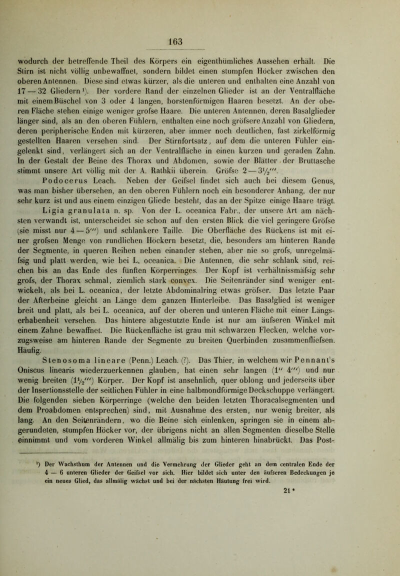 wodurch der betreffende Theil des Körpers ein eigenlhünoliches Aussehen erhält. Die Stirn ist nicht völlig unbewaffnet, sondern bildet einen stumpfen Höcker zwischen den oberen Antennen. Diese sind etwas kürzer, als die unteren und enthalten eine Anzahl von 17 — 32 Gliedern >). Der vordere Rand der einzelnen Glieder ist an der Ventrallläche mit einem Büschel von 3 oder 4 langen, borstenförmigen Haaren besetzt. An der obe- ren Fläche stehen einige weniger grofse Haare. Die unteren Antennen, deren Basalglieder länger sind, als an den oberen Fühlern, enthalten eine noch gröfsere Anzahl von Gliedern, deren peripherische Enden mit kürzeren, aber immer noch deutlichen, fast zirkelförmig gestellten Haaren versehen sind. Der Stirnfortsatz, auf dem die unteren Fühler ein- gelenkt sind, verlängert sich an der Ventralfläche in einen kurzen und geraden Zahn. In der Gestalt der Beine des Thorax und Abdomen, sowie der Blätter, der Bruttasche stimmt unsere Art völlig mit der A. Rathkii überein. Gröfse 2 — 3y2^ Podocerus Leach. Neben der Geifsel findet sich auch bei diesem Genus, was man bisher übersehen, an den oberen Fühlern noch ein besonderer Anhang, der nur sehr kurz ist und aus einem einzigen Gliede besteht, das an der Spitze einige Haare trägt. Ligia granulata n. sp. Von der L. oceanica Fahr., der unsere Art am näch- sten verwandt ist, unterscheidet sie schon auf den ersten Blick die viel geringere Gröfse (sie misst nur 4 — 5') und schlankere Taille. Die Oberfläche des Rückens ist mit ei- ner grofsen Menge von rundlichen Höckern besetzt, die, besonders am hinteren Rande der Segmente, in queren Reihen neben einander stehen, aber nie so grofs, unregelmä- fsig und platt werden, wie bei L. oceanica. Die Antennen, die sehr schlank sind, rei- chen bis an das Ende des fünften Körperringes. Der Kopf ist verhältnissraäfsig sehr grofs, der Thorax schmal, ziemlich stark convex. Die Seitenränder sind weniger ent- wickelt, als bei L. oceanica, der letzte Abdominalring etwas gröfser. Das letzte Paar der Afterbeine gleicht an Länge dem ganzen Hinterleibe. Das Basalglied ist weniger breit und platt, als bei L. oceanica, auf der oberen und unteren Fläche mit einer Längs- erhabenheit versehen. Das hintere abgestutzle Ende ist nur am äufseren Winkel mit einem Zahne bewaffnet. Die Rückenfläche ist grau mit .schwarzen Flecken, welche vor- zugsweise am hinteren Rande der Segmente zu breiten Querbinden zusammenfliefsen. Häufig. Stenosoma lineare (Penn.) Leach. (?). Das Thier, in welchem wir Pennanfs Oniscus linearis wiederzuerkennen glauben, hat einen sehr langen (i 4'^') und nur wenig breiten Körper. Der Kopf ist ansehnlich, quer oblong und jederseits über der Insertionsstelle der seitlichen Fühler in eine halbmondförmige Deckschuppe verlängert. Die folgenden sieben Körperringe (welche den beiden letzten Thoracalsegmenten und dem Proabdomen entsprechen) sind, mit Ausnahme des ersten, nur wenig breiter, als lang. An den Seitenrändern, wo die Beine sich einlenken, springen sie in einem ab- gerundeten, stumpfen Höcker vor, der übrigens nicht an allen Segmenten dieselbe Stelle einnimmt und vom vorderen Winkel allmälig bis zum hinteren hinabrückt. Das Post- ') Der Wachsthum der Antennen und die Vermehrung der Glieder geht an dem centralen Ende der 4 — 6 unteren Glieder der Geifsel vor sich. Hier bildet sich unter den äufseren Bedeckungen je ein neues Glied, das allmälig wächst und bei der nächsten Häutung frei wird. 21*