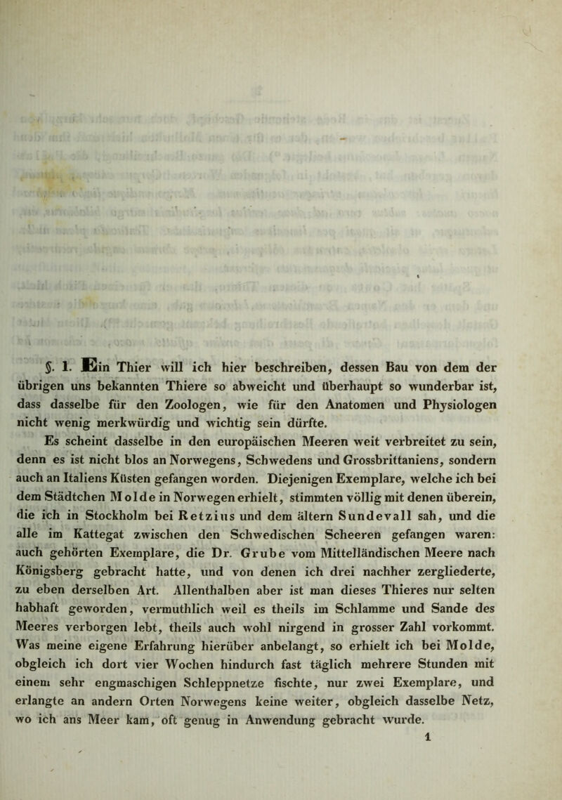 übrigen uns bekannten Thiere so abweicht und überhaupt so wunderbar ist, dass dasselbe für den Zoologen, wie für den Anatomen und Physiologen nicht wenig merkwürdig und wichtig sein dürfte. Es scheint dasselbe in den europäischen Meeren weit verbreitet zu sein, denn es ist nicht blos an Norwegens, Schwedens und Grossbrittaniens, sondern auch an Italiens Küsten gefangen worden. Diejenigen Exemplare, welche ich bei dem Städtchen Molde in Norwegen erhielt, stimmten völlig mit denen überein, die ich in Stockholm bei Retzius und dem altern Sundevall sah, und die alle im Kattegat zwischen den Schwedischen Scheeren gefangen waren: auch gehörten Exemplare, die Dr. Grube vom Mittelländischen Meere nach Königsberg gebracht hatte, und von denen ich drei nachher zergliederte, zu eben derselben Art. Allenthalben aber ist man dieses Thieres nur selten habhaft geworden, vermuthlich weil es theils im Schlamme und Sande des Meeres verborgen lebt, theils auch wohl nirgend in grosser Zahl vorkommt. Was meine eigene Erfahrung hierüber anbelangt, so erhielt ich bei Molde, obgleich ich dort vier Wochen hindurch fast täglich mehrere Stunden mit einem sehr engmaschigen Schleppnetze fischte, nur zwei Exemplare, und erlangte an andern Orten Norwegens keine weiter, obgleich dasselbe Netz, wo ich ans Meer kam, oft genug in Anwendung gebracht wurde. 1
