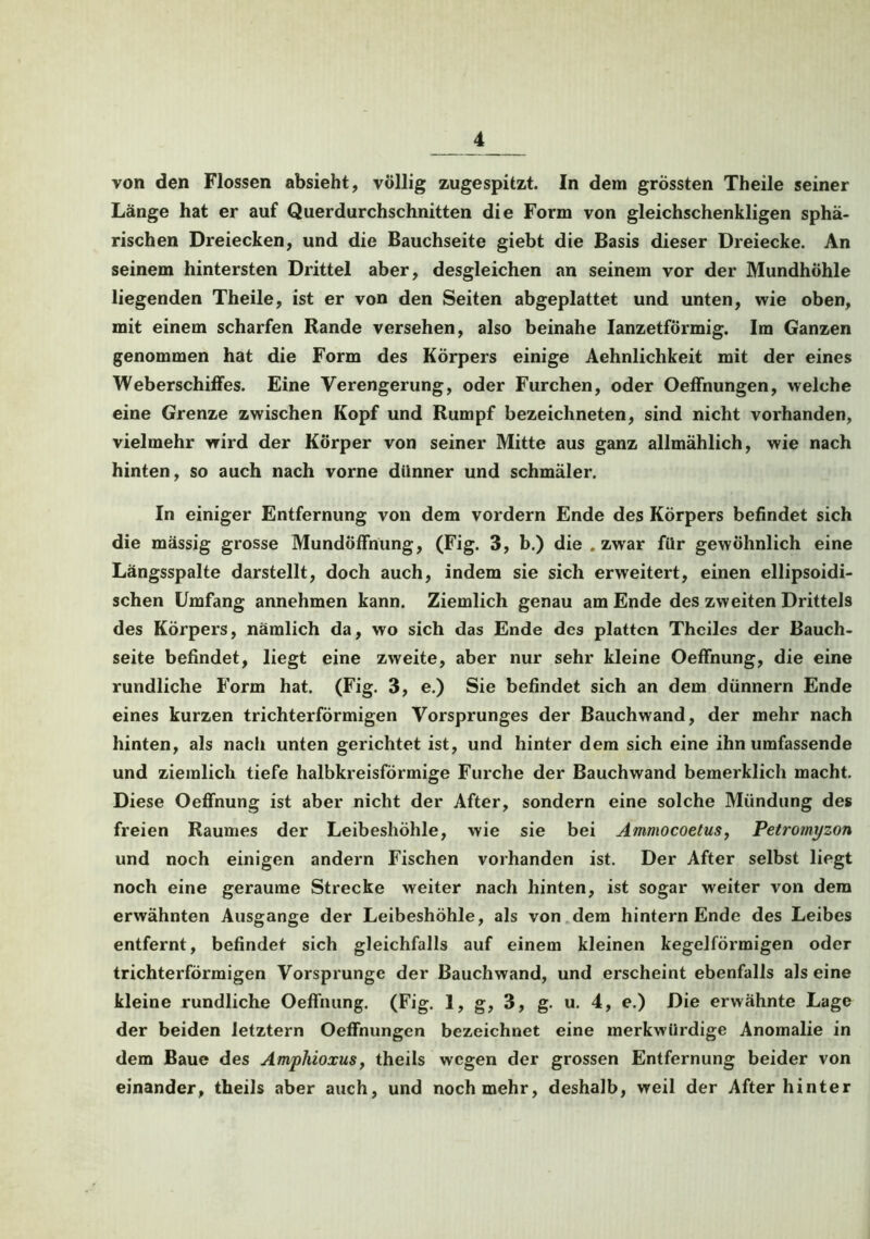 von den Flossen absieht, völlig zugespitzt. In dem grössten Theile seiner Länge hat er auf Querdurchschnitten die Form von gleichschenkligen sphä- rischen Dreiecken, und die Bauchseite giebt die Basis dieser Dreiecke. An seinem hintersten Drittel aber, desgleichen an seinem vor der Mundhöhle liegenden Theile, ist er von den Seiten abgeplattet und unten, wie oben, mit einem scharfen Rande versehen, also beinahe Ianzetförmig. Im Ganzen genommen hat die Form des Körpers einige Aehnlichkeit mit der eines Weberschiffes. Eine Verengerung, oder Furchen, oder Oeffnungen, welche eine Grenze zwischen Kopf und Rumpf bezeichneten, sind nicht vorhanden, vielmehr wird der Körper von seiner Mitte aus ganz allmählich, wie nach hinten, so auch nach vorne dünner und schmäler. In einiger Entfernung von dem vordem Ende des Körpers befindet sich die massig grosse Mundöffnung, (Fig. 3, b.) die .zwar für gewöhnlich eine Längsspalte darstellt, doch auch, indem sie sich erweitert, einen ellipsoidi- schen Umfang annehmen kann. Ziemlich genau am Ende des zweiten Drittels des Körpers, nämlich da, wo sich das Ende des platten Thciles der Bauch- seite befindet, liegt eine zweite, aber nur sehr kleine Oeffnung, die eine rundliche Form hat. (Fig. 3, e.) Sie befindet sich an dem dünnem Ende eines kurzen trichterförmigen Vorsprunges der Bauchwand, der mehr nach hinten, als nach unten gerichtet ist, und hinter dem sich eine ihn umfassende und ziemlich tiefe halbkreisförmige Furche der Bauchwand bemerklich macht. Diese Oeffnung ist aber nicht der After, sondern eine solche Mündung des freien Raumes der Leibeshöhle, wie sie bei Ammocoetus, Petromyzon und noch einigen andern Fischen vorhanden ist. Der After selbst liegt noch eine geraume Strecke weiter nach hinten, ist sogar weiter von dem erwähnten Ausgange der Leibeshöhle, als von dem hintern Ende des Leibes entfernt, befindet sich gleichfalls auf einem kleinen kegelförmigen oder trichterförmigen Vorsprunge der Bauchwand, und erscheint ebenfalls als eine kleine rundliche Oeffnung. (Fig. 1, g, 3, g. u. 4, e.) Die erwähnte Lage der beiden letztem Oeffnungen bezeichnet eine merkwürdige Anomalie in dem Baue des Amphioxus, theils wegen der grossen Entfernung beider von einander, theils aber auch, und noch mehr, deshalb, weil der After hinter