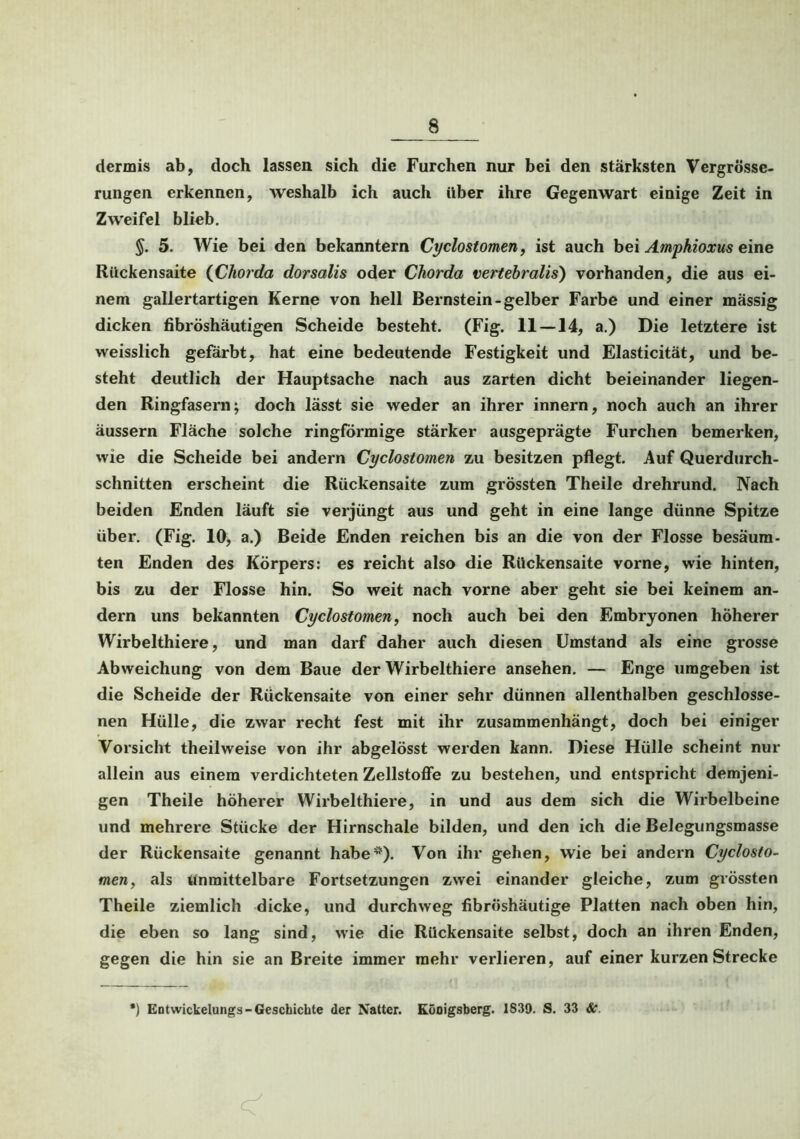 dermis ab, doch lassen sich die Furchen nur bei den stärksten Vergrösse- rungen erkennen, weshalb ich auch über ihre Gegenwart einige Zeit in Zweifel blieb. $. 5. Wie bei den bekanntem Cyclostomen, ist auch bei Ampkioxus eine Rückensaite (Chorda dorsalis oder Chorda vertebralis) vorhanden, die aus ei- nem gallertartigen Kerne von hell Bernstein-gelber Farbe und einer massig dicken fibröshäutigen Scheide besteht. (Fig. 11 — 14, a.) Die letztere ist weisslich gefärbt, hat eine bedeutende Festigkeit und Elasticität, und be- steht deutlich der Hauptsache nach aus zarten dicht beieinander liegen- den Ringfasern; doch lässt sie weder an ihrer innern, noch auch an ihrer äussern Fläche solche ringförmige stärker ausgeprägte Furchen bemerken, wie die Scheide bei andern Cyclostomen zu besitzen pflegt. Auf Querdurch- schnitten erscheint die Rückensaite zum grössten Theile drehrund. Nach beiden Enden läuft sie verjüngt aus und geht in eine lange dünne Spitze über. (Fig. 10, a.) Beide Enden reichen bis an die von der Flosse besäum- ten Enden des Körpers: es reicht also die Rückensaite vorne, wie hinten, bis zu der Flosse hin. So weit nach vorne aber geht sie bei keinem an- dern uns bekannten Cyclostomen, noch auch bei den Embryonen höherer Wirbelthiere, und man darf daher auch diesen Umstand als eine grosse Abweichung von dem Baue der Wirbelthiere ansehen. — Enge umgeben ist die Scheide der Rückensaite von einer sehr dünnen allenthalben geschlosse- nen Hülle, die zwar recht fest mit ihr zusammenhängt, doch bei einiger Vorsicht theilweise von ihr abgelösst werden kann. Diese Hülle scheint nur allein aus einem verdichteten Zellstoffe zu bestehen, und entspricht demjeni- gen Theile höherer Wirbelthiere, in und aus dem sich die Wirbelbeine und mehrere Stücke der Hirnschale bilden, und den ich die Belegungsmasse der Rückensaite genannt habe*). Von ihr gehen, wie bei andern Cyclosto- men, als unmittelbare Fortsetzungen zwei einander gleiche, zum grössten Theile ziemlich dicke, und durchweg fibrüshäutige Platten nach oben hin, die eben so lang sind, wie die Rückensaite selbst, doch an ihren Enden, gegen die hin sie an Breite immer mehr verlieren, auf einer kurzen Strecke ') Entwickelungs-Geschichte der Natter. Königsberg. 1839. S. 33 &