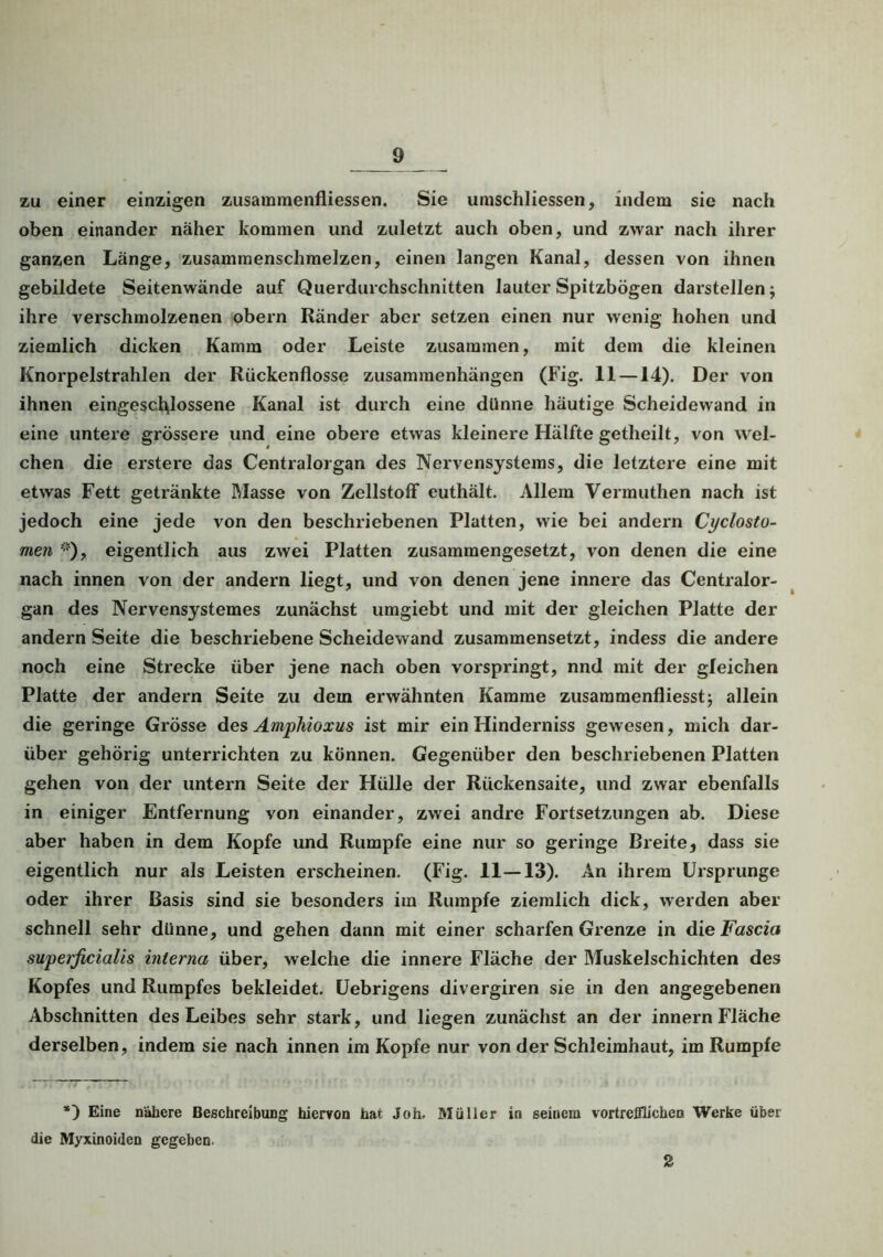 zu einer einzigen zusammenfliessen. Sie umschliessen, indem sie nach oben einander näher kommen und zuletzt auch oben, und zwar nach ihrer ganzen Länge, zusammenschmelzen, einen langen Kanal, dessen von ihnen gebildete Seitenwände auf Querdurchschnitten lauter Spitzbögen darstellen; ihre verschmolzenen obern Ränder aber setzen einen nur wenig hohen und ziemlich dicken Kamm oder Leiste zusammen, mit dem die kleinen Knorpelstrahlen der Rückenflosse Zusammenhängen (Fig. 11 —14). Der von ihnen eingeschossene Kanal ist durch eine dünne häutige Scheidewand in eine untere grössere und eine obere etwas kleinere Hälfte getheilt, von wel- chen die erstere das Centralorgan des Nervensystems, die letztere eine mit etwas Fett getränkte Masse von Zellstoff euthält. Allem Vermuthen nach ist jedoch eine jede von den beschriebenen Platten, wie bei andern Cyclosto- men *), eigentlich aus zwei Platten zusammengesetzt, von denen die eine nach innen von der andern liegt, und von denen jene innere das Centralor- gan des Nervensystemes zunächst umgiebt und mit der gleichen Platte der andern Seite die beschriebene Scheidewand zusammensetzt, indess die andere noch eine Strecke über jene nach oben vorspringt, nnd mit der gleichen Platte der andern Seite zu dem erwähnten Kamme zusaramenfliesst; allein die geringe Grösse des Amphioxus ist mir ein Hinderniss gewesen, mich dar- über gehörig unterrichten zu können. Gegenüber den beschriebenen Platten gehen von der untern Seite der Hülle der Rückensaite, und zwar ebenfalls in einiger Entfernung von einander, zwei andre Fortsetzungen ab. Diese aber haben in dem Kopfe und Rumpfe eine nur so geringe Breite, dass sie eigentlich nur als Leisten erscheinen. (Fig. 11—13). An ihrem Ursprünge oder ihrer Basis sind sie besonders im Rumpfe ziemlich dick, werden aber schnell sehr dünne, und gehen dann mit einer scharfen Grenze in dieFascia superficialis interna über, welche die innere Fläche der Muskelschichten des Kopfes und Rumpfes bekleidet. Uebrigens divergiren sie in den angegebenen Abschnitten des Leibes sehr stark, und liegen zunächst an der innern Fläche derselben, indem sie nach innen im Kopfe nur von der Schleimhaut, im Rumpfe *) Eine nähere Beschreibung hiervon hat Joh. Müller in seinem vortrefflichen Werke über die Myxinoiden gegeben. 2