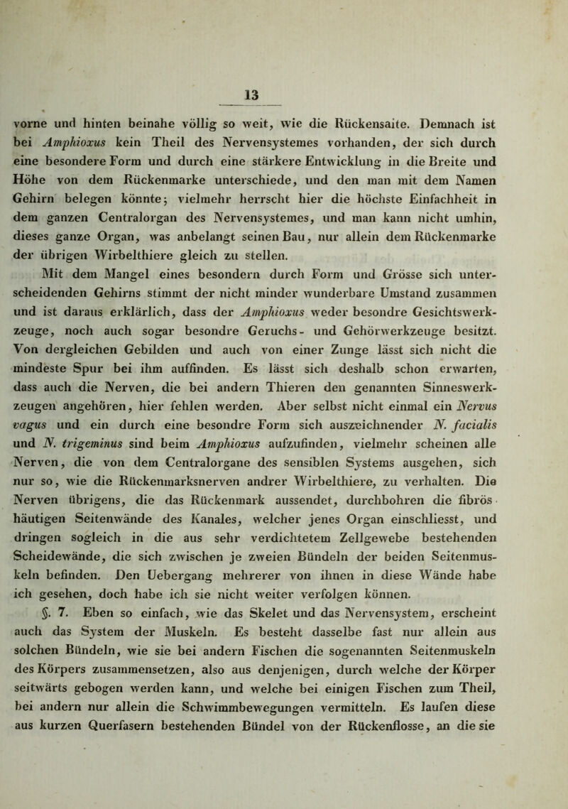 % vorne und hinten beinahe völlig so weit, wie die Rückensaite. Demnach ist bei Amphioxus kein Theil des Nervensystemes vorhanden, der sich durch eine besondere Form und durch eine stärkere Entwicklung in die Breite und Höhe von dem Rückenmarke unterschiede, und den man mit dem Namen Gehirn belegen könnte; vielmehr herrscht hier die höchste Einfachheit in dem ganzen Centralorgan des Nervensystemes, und man kann nicht umhin, dieses ganze Organ, was anbelangt seinen Bau, nur allein dem Rückenmarke der übrigen Wirbelthiere gleich zu stellen. Mit dem Mangel eines besondern durch Form und Grösse sich unter- scheidenden Gehirns stimmt der nicht minder wunderbare Umstand zusammen und ist daraus erklärlich, dass der Amphioxus weder besondre Gesichtswerk- zeuge, noch auch sogar besondre Geruchs- und Gehörwerkzeuge besitzt. Von dergleichen Gebilden und auch von einer Zunge lässt sich nicht die mindeste Spur bei ihm auffinden. Es lässt sich deshalb schon erwarten, dass auch die Nerven, die bei andern Thieren den genannten Sinneswerk- zeugen angehören, hier fehlen werden. Aber selbst nicht einmal ein Nervus vagus und ein durch eine besondre Form sich auszcichnender N. facialis und N. trigeminus sind beim Amphioxus aufzufinden, vielmehr scheinen alle Nerven, die von dem Centralorgane des sensiblen Systems ausgehen, sich nur so, wie die Rückenmarksnerven andrer Wirbelthiere, zu verhalten. Die Nerven übrigens, die das Rückenmark aussendet, durchbohren die fibrös häutigen Seitenwände des Kanales, welcher jenes Organ einschliesst, und dringen sogleich in die aus sehr verdichtetem Zellgewebe bestehenden Scheidewände, die sich zwischen je zweien Bündeln der beiden Seitenmus- keln befinden. Den Uebergang mehrerer von ihnen in diese Wände habe ich gesehen, doch habe ich sie nicht weiter verfolgen können. §. 7. Eben so einfach, wie das Skelet und das Nervensystem, erscheint auch das System der Muskeln. Es besteht dasselbe fast nur allein aus solchen Bündeln, wie sie bei andern Fischen die sogenannten Seitenmuskeln des Körpers zusammensetzen, also aus denjenigen, durch welche der Körper seitwärts gebogen werden kann, und welche bei einigen Fischen zum Theil, bei andern nur allein die Schwimmbewegungen vermitteln. Es laufen diese aus kurzen Querfasern bestehenden Bündel von der Rückenflosse, an die sie