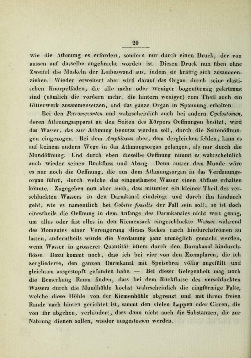 wie die Athmung es erfordert, sondern nur durch einen Druck, der von aussen auf dasselbe angebracht worden ist. Diesen Druck nun üben ohne Zweifel die Muskeln der Leibeswand aus, indem sie kräftig sich zusammen- ziehen. Wieder erweitert aber wird darauf das Organ durch seine elasti- schen Knorpelfäden, die alle mehr oder weniger bogenförmig gekrümmt sind (nämlich die vordem mehr, die hintern weniger) zum Tlieil auch ein Gitterwerk zusammensetzen, und das ganze Organ in Spannung erhalten. Bei den Petromyzonten und wahrscheinlich auch bei andern Cyclostomen, deren Athmungsapparat an den Seiten des Körpers Oeffnungen besitzt, wird das Wasser, das zur Athmung benutzt werden soll, durch die Seitenöffnun- gen eingezogen. Bei dem Amphioxus aber, dem dergleichen fehlen, kann es auf keinem andern Wege in das Athmungsorgan gelangen, als nur durch die Mundöffnung. Und durch eben dieselbe Oeffnung nimmt es wahrscheinlich auch wieder seinen Rückfluss und Abzug. Denn ausser dem Munde wäre es nur noch die Oeffnung, die aus dem Athmungsorgan in das Verdauungs- organ führt, durch welche das eingeathmete Wasser einen Abfluss erhalten könnte. Zugegeben nun aber auch, dass mitunter ein kleiner Theil des ver- schluckten Wassers in den Darmkanal eindringt und durch ihn hindurch geht, wie es namentlich bei Cobitis fossilis der Fall sein soll j so ist doch einestheils die Oeffnung in dem Anfänge des Darmkanales nicht weit genug, um alles oder fast alles in den Kiemensack eingeschluckte Wasser während des Momentes einer Verengerung dieses Sackes rasch hindurchströmen zu lassen, anderntheils würde die Verdauung ganz unmöglich gemacht werden, wenn Wasser in grösserer Quantität Öfters durch den Darmkanal hindurch- flösse. Dazu kommt noch, dass ich bei vier von den Exemplaren, die ich zergliederte, den ganzen Darmkanal mit Speisebrei völlig angefüllt und gleichsam ausgestopft gefunden habe. — Bei dieser Gelegenheit mag noch die Bemerkung Raum finden, dass bei dem Rückflüsse des verschluckten Wassers durch die Mundhöhle höchst wahrscheinlich die ringförmige Falte, welche diese Höhle von der Kiemenhöhle abgrenzt und mit ihrem freien Rande nach hinten gerichtet ist, sammt den vielen Lappen oder Cirren, die von ihr abgehen, verhindert, dass dann nicht auch die Substanzen, die zur Nahrung dienen sollen, wieder ausgestossen werden.