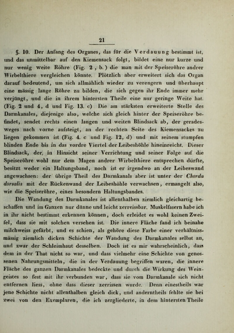 §. 10. Der Anfang des Organes, das für die Verdauung bestimmt ist, und das unmittelbar auf den Kiemensack folgt, bildet eine nur kurze und nur wenig weite Röhre (Fig. 2 , b. ) die man mit der Speiseröhre andrer Wirbelthiere vergleichen könnte. Plötzlich aber erweitert sich das Organ darauf bedeutend, um sich allmählich wieder zu verengern und überhaupt eine massig lange Rohre zu bilden, die sich gegen ihr Ende immer mehr verjüngt, und die in ihrem hintersten Theile eine nur geringe Weite hat. (Fig. 2 und 4, d und Fig. 13. c) Die am stärksten erweiterte Stelle des Darmkanales, diejenige also, welche sich gleich hinter der Speiseröhre be- findet, sendet rechts einen langen und weiten Blindsack ab, der gerades- weges nach vorne aufsteigt, an der rechten Seite des Kiemensackes zu liegen gekommen ist (Fig. 4. c und Fig. 12, d) und mit seinem stumpfen blinden Ende bis in das vordre Viertel der Leibeshöhle hineinreicht. Dieser Blindsack, der, in Hinsicht seiner Verrichtung und seiner Folge auf die Speiseröhre wohl nur dem Magen andrer Wirbelthiere entsprechen dürfte, besitzt weder ein Haltungsband, noch ist er irgendwo an der Leibeswand angewachsen: der übrige Theil des Darmkanals aber ist unter der Chorda dorsalis mit der Rückenwand der Leibeshöhle verwachsen, ermangelt also, wie die Speiseröhre, eines besondern Haltungsbandes. Die Wandung des Darmkanales ist allenthalben ziemlich gleichartig be- schaffen und im Ganzen nur dünne und leicht zerreissbar. Muskelfasern habe ich in ihr nicht bestimmt erkennen können, doch erleidet es wohl keinen Zwei- fel, dass sie mit solchen versehen ist. Die innere Fläche fand ich beinahe milchweiss gefärbt, und es schien, als gehöre diese Farbe einer verhältniss- mässig ziemlich dicken Schichte der Wandung des Darmkanales selbst an, und zwar der Schleimhaut desselben. Doch ist es mir wahrscheinlich, dass dem in der That nicht so war, und dass vielmehr eine Schichte von genos- senen Nahrungsmitteln, die in der Verdauung begriffen waren, die innere Fläche des ganzen Darmkanales bedeckte und durch die Wirkung des Wein- geistes so fest mit ihr verbunden war, dass sie vom Darrakanale sich nicht entfernen liess, ohne dass dieser zerrissen wurde. Denn einestheils war jene Schichte nicht allenthalben gleich dick, und anderntheils fehlte sie bei zwei von den Exemplaren, die ich zergliederte, in dem hintersten Theile