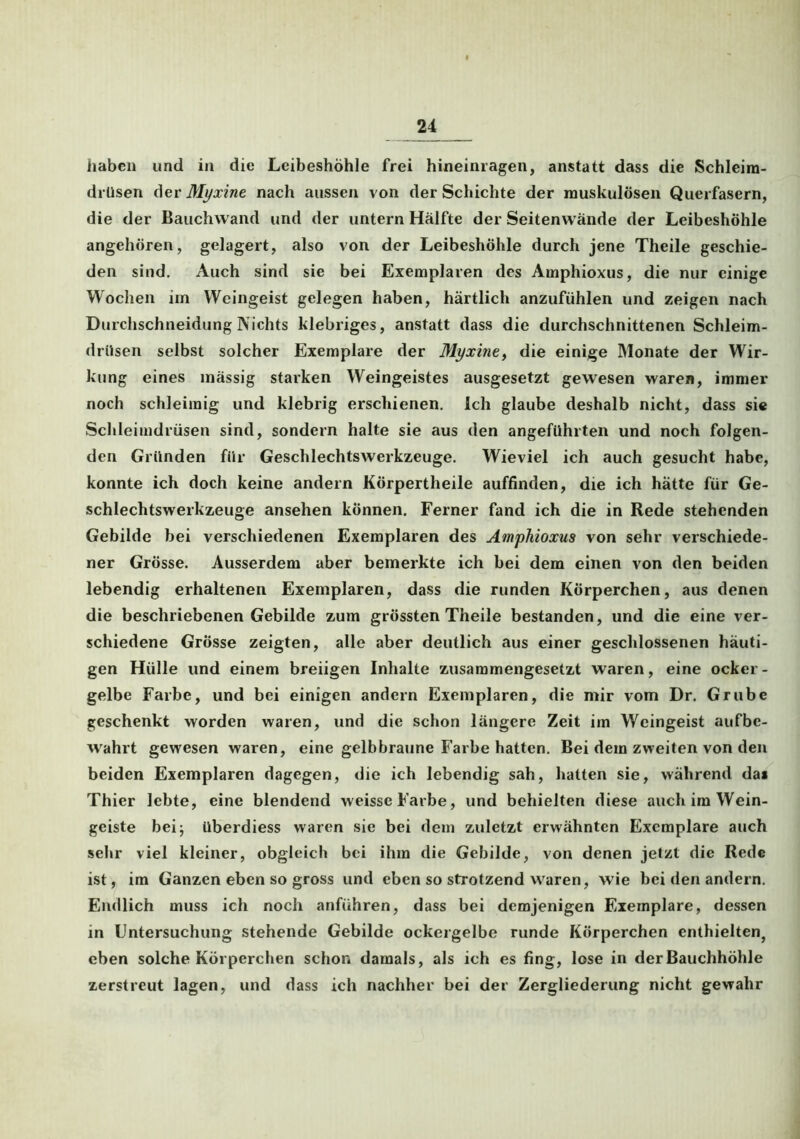 haben und in die Leibeshöhle frei hineinragen, anstatt dass die Schleim- drüsen der Myxine nach aussen von der Schichte der muskulösen Querfasern, die der Bauchwand und der untern Hälfte der Seitenwände der Leibeshöhle angehören, gelagert, also von der Leibeshöhle durch jene Theile geschie- den sind. Auch sind sie bei Exemplaren des Amphioxus, die nur einige Wochen im Weingeist gelegen haben, härtlich anzufühlen und zeigen nach Durchschneidung Nichts klebriges, anstatt dass die durchschnittenen Schleim- drüsen selbst solcher Exemplare der Myxine, die einige Monate der Wir- kung eines mässig starken Weingeistes ausgesetzt gewesen waren, immer noch schleimig und klebrig erschienen. Ich glaube deshalb nicht, dass sie Schleimdrüsen sind, sondern halte sie aus den angeführten und noch folgen- den Gründen für Geschlechtswerkzeuge. Wieviel ich auch gesucht habe, konnte ich doch keine andern Körpertheile auffinden, die ich hätte für Ge- schlechtswerkzeuge ansehen können. Ferner fand ich die in Rede stehenden Gebilde bei verschiedenen Exemplaren des Amphioxus von sehr verschiede- ner Grösse. Ausserdem aber bemerkte ich bei dem einen von den beiden lebendig erhaltenen Exemplaren, dass die runden Körperchen, aus denen die beschriebenen Gebilde zum grössten Theile bestanden, und die eine ver- schiedene Grösse zeigten, alle aber deutlich aus einer geschlossenen häuti- gen Hülle und einem breiigen Inhalte zusammengesetzt waren, eine ocker- gelbe Farbe, und bei einigen andern Exemplaren, die mir vom Dr. Grube geschenkt worden waren, und die schon längere Zeit im Weingeist aufbe- wahrt gewesen waren, eine gelbbraune Farbe hatten. Bei dem zweiten von den beiden Exemplaren dagegen, die ich lebendig sah, hatten sie, wahrend das Thier lebte, eine blendend weissc Farbe, und behielten diese auch im Wein- geiste bei; überdiess waren sie bei dem zuletzt erwähnten Exemplare auch sehr viel kleiner, obgleich bei ihm die Gebilde, von denen jetzt die Rede ist, im Ganzen eben so gross und eben so strotzend waren, wie bei den andern. Endlich muss ich noch anführen, dass bei demjenigen Exemplare, dessen in Untersuchung stehende Gebilde ockergelbe runde Körperchen enthielten, eben solche Körperchen schon damals, als ich es fing, lose in der Bauchhöhle zerstreut lagen, und dass ich nachher bei der Zergliederung nicht gewahr