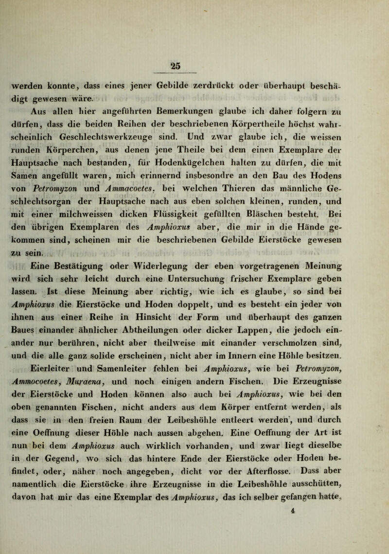 werden konnte, dass eines jener Gebilde zerdrückt oder überhaupt beschä- digt gewesen wäre. Aus allen hier angeführten Bemerkungen glaube ich daher folgern zu dürfen, dass die beiden Reihen der beschriebenen Körpertheile höchst wahr- scheinlich Geschlechtswerkzeuge sind. Und zwar glaube ich, die weissen runden Körperchen, aus denen jene Theile bei dein einen Exemplare der Hauptsache nach bestanden, für Hodenkügelchen halten zu dürfen, die mit Samen angefüllt waren, mich erinnernd insbesondre an den Bau des Hodens von Petromyzon und Ammacoetes. bei welchen Thieren das männliche Ge- schlechtsorgan der Hauptsache nach aus eben solchen kleinen, runden, und mit einer milchweissen dicken Flüssigkeit gefüllten Bläschen besteht. Bei den übrigen Exemplaren des Amphioxus aber, die mir in die Hände ge- kommen sind, scheinen mir die beschriebenen Gebilde Eierstöcke gewesen zu sein. Eine Bestätigung oder Widerlegung der eben vorgetragenen Meinung wird sich sehr leicht durch eine Untersuchung frischer Exemplare geben lassen. Ist diese Meinung aber richtig, wie ich es glaube, so sind bei Amphioxus die Eierstöcke und Hoden doppelt, und es besteht ein jeder von ihnen aus einer Reihe in Hinsicht der Form und überhaupt des ganzen Baues einander ähnlicher Abtheilungen oder dicker Lappen, die jedoch ein- ander nur berühren, nicht aber theilweise mit einander verschmolzen sind, und die alle ganz solide erscheinen, nicht aber im Innern eine Höhle besitzen. Eierleiter und Samenleiter fehlen bei Amphioxus, wie bei Petromyzon, Ammocoetes, Muraena, und noch einigen andern Fischen. Die Erzeugnisse der Eierstöcke und Hoden können also auch bei Amphioxus, wie bei den oben genannten Fischen, nicht anders aus dem Körper entfernt werden, als dass sie in den freien Raum der Leibeshöhle entleert werden, und durch eine Oeffnung dieser Höhle nach aussen abgehen. Eine Oeffnung der Art ist nun bei dem Amphioxus auch wirklich vorhanden, und zwar liegt dieselbe in der Gegend, wo sich das hintere Ende der Eierstöcke oder Hoden be- findet, oder, näher noch angegeben, dicht vor der Afterflosse. Dass aber namentlich die Eierstöcke ihre Erzeugnisse in die Leibeshöhle ausschütten, davon hat mir das eine Exemplar des Amphioxus f das ich selber gefangen hatte, 4