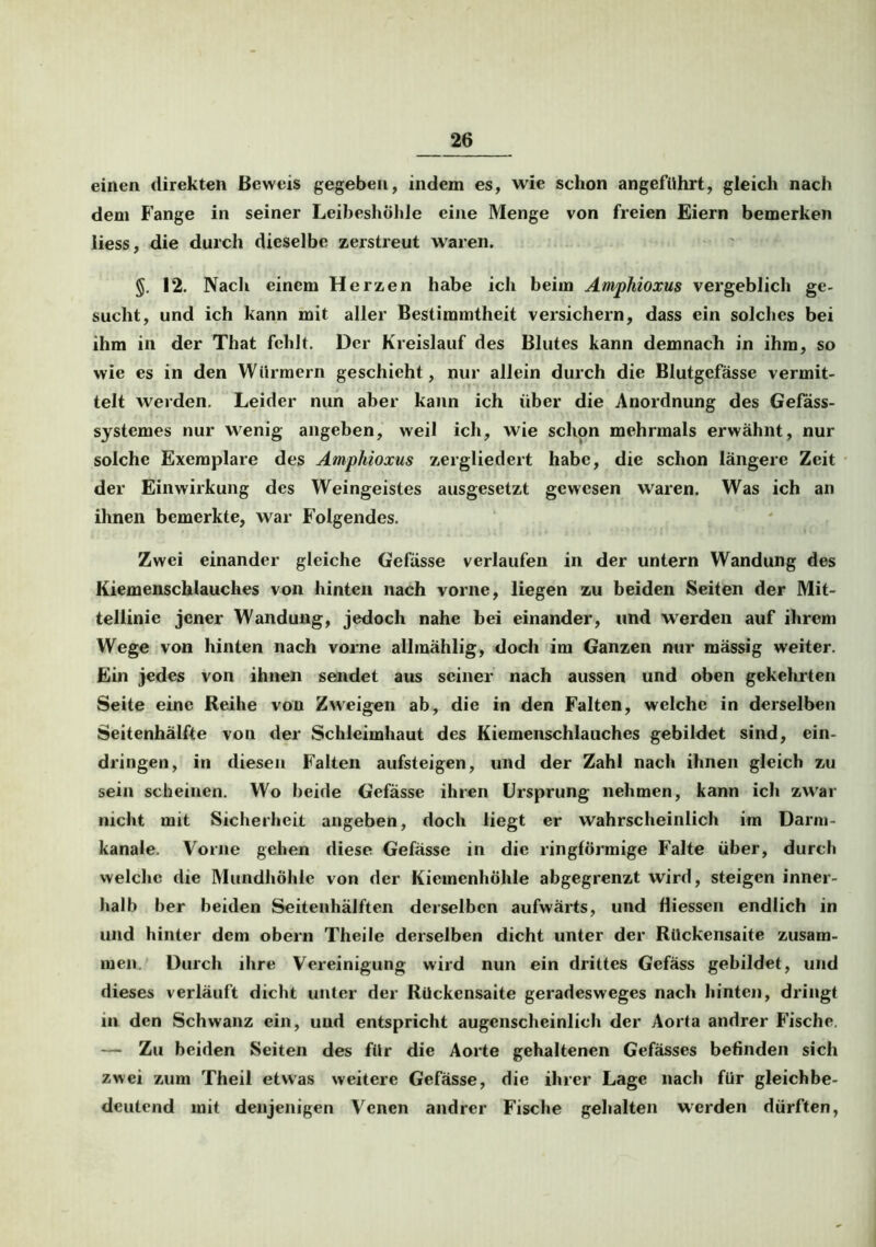 einen direkten Beweis gegeben, indem es, wie schon angeführt, gleich nach dem Fange in seiner Leibeshöhle eine Menge von freien Eiern bemerken liess, die durch dieselbe zerstreut waren. §. 12. Nach einem Herzen habe ich beim Amphioxus vergeblich ge- sucht, und ich kann mit aller Bestimmtheit versichern, dass ein solches bei ihm in der That fehlt. Der Kreislauf des Blutes kann demnach in ihm, so wie es in den Würmern geschieht, nur allein durch die Blutgefässe vermit- telt werden. Leider nun aber kann ich über die Anordnung des Gefass- systemes nur wenig angeben, weil ich, wie schon mehrmals erwähnt, nur solche Exemplare des Amphioxus zergliedert habe, die schon längere Zeit der Einwirkung des Weingeistes ausgesetzt gewesen waren. Was ich an ihnen bemerkte, war Folgendes. Zwei einander gleiche Gefässe verlaufen in der untern Wandung des Kiemenschlauches von hinten nach vorne, liegen zu beiden Seiten der Mit- tellinie jener Wandung, jedoch nahe bei einander, und werden auf ihrem Wege von hinten nach vorne allmählig, doch im Ganzen nur mässig weiter. Ein jedes von ihnen sendet aus seiner nach aussen und oben gekehrten Seite eine Reihe von Zweigen ab, die in den Falten, welche in derselben Seitenhälfte von der Schleimhaut des Kiemenschlauches gebildet sind, ein- dringen, in diesen Falten aufsteigen, und der Zahl nach ihnen gleich zu sein scheinen. Wo beide Gefässe ihren Ursprung nehmen, kann ich zwar nicht mit Sicherheit angeben, doch liegt er wahrscheinlich im Darm- kanale. Vorne gehen diese Gefässe in die ringförmige Falte über, durch welche die Mundhöhle von der Kiemenhöhle abgegrenzt wird, steigen inner- halb ber beiden Seitenhälften derselben aufwärts, und fliessen endlich in und hinter dem obern Theile derselben dicht unter der Rückensaite zusam- men. Durch ihre Vereinigung wird nun ein drittes Gefäss gebildet, und dieses verläuft dicht unter der Rückensaite geradesweges nach hinten, dringt in den Schwanz ein, und entspricht augenscheinlich der Aorta andrer Fische. — Zu beiden Seiten des für die Aorte gehaltenen Gefässes befinden sich zwei zum Theil etwas weitere Gefässe, die ihrer Lage nach für gleichbe- deutend mit denjenigen Venen andrer Fische gehalten werden dürften,