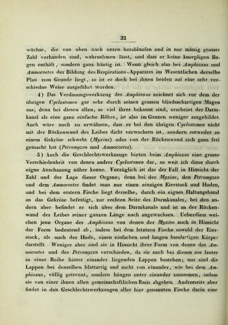 wüchse, die von oben nach unten herablaufen und in nur massig grosser Zahl vorhanden sind, wahrnehinen lässt, und dass er keine knorpligen Bo- gen enthält, sondern ganz häutig ist. Wenn gleich also bei Amphioxus und Ammocoetes der Bildung des Respirations-Apparates im Wesentlichen derselbe Plan zürn Grunde liegt, so ist er doch bei ihnen beiden auf eine sehr ver- schiedne Weise ausgeführt worden. 4) Das Verdauungswerkzeug des Amphioxus zeichnet sich vor dem der übrigen Cyclostomen gar sehr durch seinen grossen blindsackartigen Magen aus; denn bei diesen allen, so viel ihrer bekannt sind, erscheint der Darm- kanal als eine ganz einfache Röhre, ist also im Ganzen weniger ausgebildet. Auch wäre noch zu erwähnen, dass er bei den übrigen Cyclostomen nicht mit der Rückenwand des Leibes dicht verwachsen ist, sondern entweder an einem Gekröse schwebt (Myxine) oder von der Rückenwand sich ganz frei gemacht hat ([Petromyzon und Ammocoetes'). 5) Auch die Geschlechtsw'erkzeuge bieten beim Amphioxus eine grosse Verschiedenheit von denen andrer Cyclostomen dar, so weit ich diese durch eigne Anschauung näher kenne. Vorzüglich ist das der Fall in Hinsicht der Zahl und der Lage dieser Organe; denn bei der Myxine, den Petromyzen und dem Ammocoetes findet man nur einen einzigen Eierstock und Hoden, und bei dem erstem Fische liegt derselbe, durch ein eignes Haltungsband an das Gekröse befestigt, zur rechten Seite des Darmkanales, bei den an- dern aber befindet er sich über dem Darmkanale und ist an der Rücken- wand des Leibes seiner ganzen Länge nach angewachsen. Ueberdiess wei- chen jene Organe des Amphioxus von denen der Myxine auch in Hinsicht der Form bedeutend ab, indem bei dem letztem Fische sowohl der Eier- stock, als auch der Hode, einen einfachen und langen bandartigen Körper darstellt. Weniger aber sind sie in Hinsicht ihrer Form von denen des Am- mocoetes und der Petromyzen verschieden, da sie auch bei diesen aus lauter in einer Reihe hinter einander liegenden Lappen bestehen; nur sind die Lappen bei denselben blattartig und nicht von einander, wie bei dem Am- phioxus, völlig getrennt, sondern hängen unter einander zusammen, indem sie von einer ihnen allen gemeinschaftlichen Basis abgehen. Andrerseits aber findet in den Geschlechtswerkzeugen aller hier genannten Fische darin eine