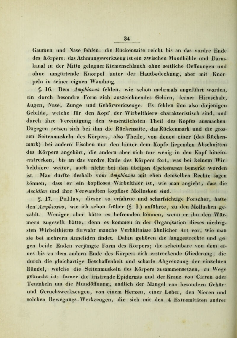 Gaumen und Nase fehlen: die Rückensaite reicht bis an das vordre Ende des Körpers: das Athmungswerkzeug ist ein zwischen Mundhöhle und Darm- kanal in der Mitte gelegner Kiemenschlauch ohne seitliche Oeffnungen und ohne umgiirtende Knorpel unter der Hautbedeckung, aber mit Knor- peln in seiner eignen Wandung. 16. Dem Amphioxus fehlen, wie schon mehrmals angeführt worden, ein durch besondre Form sich auszeichnendes Gehirn, ferner Hirnschale, Augen, Nase, Zunge und Gehörwerkzeuge. Es fehlen ihm also diejenigen Gebilde, welche für den Kopf der Wirbelthiere charakteristisch sind, und durch ihre Vereinigung den wesentlichsten Theil des Kopfes ausmachen. Dagegen setzen sich bei ihm die Rückensaite, das Rückenmark und die gros- sen Seitenmuskeln des Körpers, also Theile, von denen einer (das Rücken- mark) bei andern Fischen nur den hinter dem Kopfe liegenden Abschnitten des Körpers angehört, die andern aber sich nur wenig in den Kopf hinein- erstrecken, bis an das vordre Ende des Körpers fort, was bei keinem Wir- belthiere weiter, auch nicht bei den übrigen Cyclostornen bemerkt worden ist. Man dürfte deshalb vom Amphioxus mit eben demselben Rechte sagen können, dass er ein kopfloses Wirbelthier ist, wie man angiebt, dass die Ascidien und ihre Verwandten kopflose Mollusken sind. §. 17. Pallas, dieser so erfahrne und scharfsichtige Forscher, hatte den Amphioxus, wie icli schon früher (§. 1.) anführte, zu den Mollusken ge- zählt. Weniger aber hätte es befremden können, wenn er ihn den Wür- mern zugesellt hätte; denn es kommeu in der Organisation dieses niedrig- sten Wirbelthieres fürwahr manche Verhältnisse ähnlicher Art vor, wie man sie bei inehrern Anneliden findet. Dahin gehören die langgestreckte und ge- gen beide Enden verjüngte Form des Körpers; die scheinbare von dem ei- nes bis zu dem andern Ende des Körpers sich erstreckende Gliederung, die durch die gleichartige Beschaffenheit und scharfe Abgrenzung der einzelnen Bündel, welche die Seitenmuskeln des Körpers zusammensetzen, zu Wege gebracht ist -7 fornpr die irisirende Epidermis und der Kranz von Cirren oder Tentakeln um die Mundöffnung; endlich der Mangel voi: besondern Gehör- und Geruchswerkzeugen, von einem Herzen, einer Leber, den Nieren und solchen Bewegungs-Werkzeugen, die sich mit den 4 Extremitäten andrer