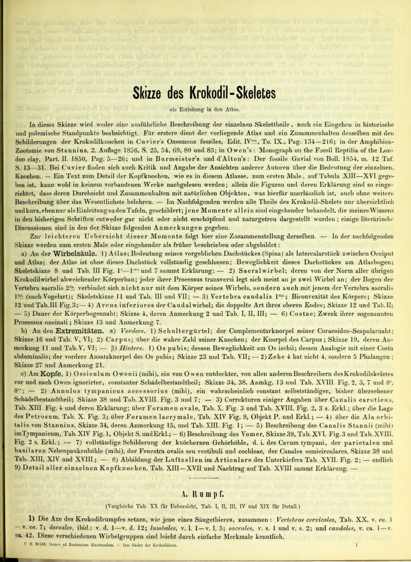 Skizze des Krokodil-Skeletes als Einleitung in den Atlas. In dieser Skizze wird weder eine ausführliche Beschreibung der einzelnen Skelettheile , noch ein Eingehen in historische und polemische Standpunkte beabsichtigt. Für erstere dient der vorliegende Atlas und ein Zusammenhalten desselben mit den Schilderungen der Krokodilknochen in Cuvier’s Ossemens fossiles, Edit. IV™', To. IX., Pag. 134 — 216; in der Amphibien- Zootomie von Stannius, 2. Auflage 1856, S. 25, 54, 69, 80 und 83; in Owen’s : Monograph on the Fossil Reptilia of the Lon- don clay, Part. II. 1850, Pag. 5—26; und in Burmeister’s und d’Alton’s : Der fossile Gavial von Boll. 1854, m. 12 Taf. S. 13—31. Bei Cuvier finden sich auch Kritik und Angabe der Ansichten anderer Autoren über die Bedeutung der einzelnen, Knochen. — Ein Text zum Detail der Kopfknoehen, wie es in diesem Atlasse, zum ersten Male, auf Tabula XIII—XVI gege- ben ist, kann wohl in keinem vorhandenen Werke nachgelesen werden; allein die Figuren und deren Erklärung sind so einge- richtet, dass deren Durchsicht und Zusammenhalten mit natürlichen Objekten, was hierfür unerlässlich ist, auch ohne weitere Beschreibung über das Wesentlichste belehren. — Im Nachfolgenden werden alle Theile des Krokodil-Skelets nur übersichtlich undkurz,ebennur alsEinleitungzuden Tafeln, geschildert; jene Momente allein sind eingehender behandelt, die meines Wissens in den bisherigen Schriften entweder gar nicht oder nicht erschöpfend und naturgetreu dargestellt wurden ; einige literarische Discussionen sind in den der Skizze folgenden Anmerkungen gegeben. Zur leichteren Uebersicht dieser Momente folgt hier eine Zusammenstellung derselben. — In der nachfolgenden Skizze werden zum ersten Male oder eingehender als früher beschrieben oder abgebildet: a) An der Wirbelsäule. 1) Atlas; Bedeutung seines vorgeblichen Dachstückes (Spina) als Intercalarstück zwischen Occiput und Atlas; der Atlas ist ohne dieses Dachstück vollständig geschlossen; Beweglichkeit dieses Dachstückes am Atlasbogen; Skeletskizze 8 und Tab. III Fig. P—1' und 7 sammt Erklärung; — 2) Sacralwirbel; deren von der Norm aller übrigen Krokodilwirbel abweichender Körperbau; jeder ihrer Processus transversi legt sich meist an je zwei Wirbel an; der Bogen der Vertebra sacralis 2d_A verbindet sich nicht nur mit dem Körper seines Wirbels, sondern auch mit jenem der Vertebra sacralis 112A (nach Vogelart); Skeletskizze 11 und Tab. III und VII; — 3) Vertebra caudalis lma-; Biconvexität des Körpers; Skizze J2 undTab.IH Fig.3;—4) Arcus inferiores der Caudalwirbel; die doppelte Art ihres oberen Endes; Skizze 12 und Tab.II; — 5) Dauer der Körperbogennaht; Skizze 4, deren Anmerkung 2 und Tab. I, II, III; — 6) Costae; Zweck ihrer sogenannten Processus uncinati; Skizze 13 und Anmerkung 7. b) An den Extremitäten, a) Vordere. 1) Schultergürtel; der Complementarknorpel seiner Coracoideo-Scapularnaht; Skizze 16 und Tab. V, VI; 2) Carpus; über die wahre Zahl seiner Knochen; der Knorpel des Carpus ; Skizze 19, deren An- merkung 11 und Tab.V, VI; — ß) Hintere. 1) Os pubis; dessen Beweglichkeit am Os ischii; dessen Analogie mit einer Costa abdominalis; der vordere Ansatzknorpel des Os pubis; Skizze 23 und Tab. VII; — 2) Zehe 4 hat nicht 4, sondern 5 Phalangen ; Skizze 27 und Anmerkung- 21. c) Am Kopfe. 1) Ossiculum Owenii (mihi), ein von Owen entdeckter, von allen anderen Beschreibern desKrokodilskeletes vor und nach Owen ignorirter, constanter Schädelbestandtheil; Skizze 34, 38, Anmkg. 13 und Tab. XVIII Fig. 2, 3, 7 und 8', 8; — 2) Annulus tympanicus accessorius (mihi), ein wahrscheinlich constant selbstständiger, bisher übersehener Schädelbestandtheil; Skizze 38 und Tab. XVIII. Fig. 3 und 7; — 3) Correkturen einiger Angaben über Canalis caroticus, Tab. XIII Fig. 4 und deren Erklärung; über Foramen ovale, Tab. X. Fig. 3 und Tab. XVIII. Fig. 2, 3 s. Erkl.; über die Lage des Petrosum, Tab. X. Fig. 3; über Foramen lacrymale, Tab. XIV Fig. 9, Objekt P. und Erkl.; — 4) über die Ala orbi- talis von Stannius, Skizze 34, deren Anmerkung 15, und Tab. XIII. Fig. 1; — 5) Beschreibung des Canalis Stannii (mihi) imTympanicum, Tab.XIV Fig. 1, Objekt S.undErkl.; — 6) Beschreibung des Vomer, Skizze39, Tab.XVI. Fig.3 und Tab.XVIII. Fig. 2 s. Erkl.; — 7) vollständige Schilderung der knöchernen Gehörhöhle, d. i. des Cavum tympani, der parietalen und basilaren Nebenpaukenhöhle (mihi), der Fenestra ovalis seu vestibuli und cochleae, der Canales semicirculares, Skizze 38 und Tab. XIII, XIV und XVIII; — 8) Abbildung der Luftzellen im Articulare des Unterkiefers Tab. XVII. Fig. 2; — endlich 9) Detail all er einzelnen Kopfknochen, Tab. XIII—XVII und Nachtrag auf Tab. XVIII sammt Erklärung. — A. Rumpf. (Vergleiche Tab. XX für Uebersicht, Tab. I, II, III, IV und XIX für Detail.) 1) Die Axe des Krokodilrumpfes setzen, wie jene eines Säugethieres, zusammen : Vertebrae cervicates, Tab. XX, v. ce. 1 — v. ce. 7; dorsales, ibid.: v. d. 1—v. d. 12; lumbales, v. 1. 1 —v. 1. 5; sacrales, v. s. 1 und v. s. 2; und caudales, v. ca. 1—v. ca. 42. Diese verschiedenen Wirbelgruppen sind leicht durch einfache Merkmale kenntlich.
