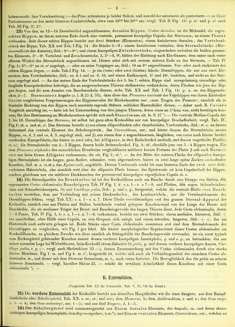 hebenswerth: ihre Verschmelzung (—derProe. articulares je beider Seiten, und sowohl der anteriores als posteriores—) zu Einer Fortsatzmasse an den mehr hinteren Caudalwirbeln, etwa vom 19ten bis 20tcn an; vergl. Tab. II Fig. 11: p. aa und p. a? auch Tab. III Fig. 2', 2. 13) Von den, an 12—14 Dorsalwirbel angeschlossenen, dorsalen Rippen, Costae dorsales, ist die Mehrzahl, die sogen, echten Rippen, an ihrem unteren Ende durch eine ventrale, permanent knorpelige Copula. das Sternum, zu einem Thorax verbunden. Jede dieser echten Rippen besteht aus drei Stücken (Elementen), einem knöchernen dorsalen, das Vertebral- stück der Rippe, Tab. XX und Tab. I Fig. 14 : die Stücke 2—9 ; einem knöchernen ventralen, dem Sternaistücke (Ster- nocostalleiste der Autoren), ibid.: 2—9; und einem knorpeligen Zwischenstücke, eingeschoben zwischen die beiden genann- ten Elemente, 2'—9'. Vertebral- und Zwischenstücke, 2, 2'—9, 9', bilden der Richtung nach Ein Ganzes, dem unter nach vorne offenem Winkel das Sternalstück angeschlossen ist. Dieses setzt sich mit seinem unteren Ende an das Sternum, — Tab. IV Fig. 1: 2—9 an st. c' angelegt, — oder an seine Vorgänger an, ibid.: 10 an 8 angeschlossen Vor- oder nach rückwärts der echten Rippen liegen, — siehe Tab.I Fig. 14, —je ein (vorn) oder zwei (hinten) falsche Dorsalrippen, die nur aus zwei Ele- menten, dem Vertebralstücke, ibid.: co. d. 1 und co. d. 10, und einem Endknorpel, li und lOü, bestehen, und nicht an das Ster- num angelegt sind. — An das untere Ende der Vertebralstücke der 3. bis 7. echten Rippe sind unregelmässig viereckige oder längliche Knorpelseheiben befestigt, die an ausgewachsenen Thieren stellenweise verknöchern, deren Flächen wie jene der Rip- pen liegen, und die zum Ansätze von Bauchmuskeln dienen; siehe Tab. XX und Tab. I Fig. 14: p. u. an den Rippenstü- cken 3—7. Burmeister's Angabe (c. 1. S.25 §. 33), dass diese den Processus uncinati der Vogelrippen von ihrem Entdecker Cuvier verglichenen Vergrösserungen des Rippenareales für Muskelansätze nur »zum Tragen des Panzers«, nämlich als in frontaler Richtung von den Rippen nach auswärts ragende Stützen seitlicher Hautschilder dienen, — daher nach B. Cuviers Vergleich unrichtig ist, — habe ich bei Untersuchung von drei jungen Thieren, deren eines an 5' lang war, nicht bestätigen kön- nen; für ihre Bestimmung zu Muskelansätzen spricht sich auch Stannius aus, cit. Io. S. 27 7).— Die ventrale Median-Copula der 2. bis 10. Dorsalrippe, das Sternum, ist selbst bei ganz alten Krokodilen nur von knorpeliger Beschaffenheit; vergl. Tab. IV. Fig. 1: st. c. und st. e'. Das Sternum besteht a) aus einem ellipsoidischen oder rhomboidalen Vorderstücke, ibid.: st. c, an dessen Seitenrand das ventrale Element des Schultergürtels , das Coracoideum, cor., und hinter diesem die Sternalstücke zweier Rippen, co. d. 2 und co, d. 3, angelegt sind, und ß) aus einem dem a angesehlossenen, länglichen, von vorne nach hinten breiter werdenden Knorpelblatte, das hinten in zwei oder, bei Alligator, in drei Endschenkel ausläuft, und dessen ungetheilte Parthie, st. c.y, die Sternalstücke von 2 — 3 Rippen, dessen beide Seitenschenkel, Fig. 4: st', ebenfalls jene von 3—4 Rippen tragen. Ein dem Processus xiplioides des menschlichen Brustbeins vergleichbarer mittlerer kurzer Fortsatz der Platte ß soll nach Burmei- ster nur beim Genus Alligator Vorkommen; die cit. Fig 1: st.+. — An der Mitte der unteren Fläche der ellipsoiden knorpe- ligen Sternalplatte ist ein langer, ganz flacher, schmaler, vorn abgerundeter, hinten in zwei lange spitze Zacken auslaufender Knochen, ibid. st. o. (e.st.), das Fpisternale, angeklebt. Dessen Vorderende reicht bis zum hinteren Ende des zweit- oder dritt- vorletzten Halswirbels, also ziemlich weit über die ellipsoide Platte hinaus; das Episternale ist kein Copulartheil der Rippen, sondern gleichsam nur ein mittlerer Deckknochen der perennirend knorpeligen eigentlichen Copula st. e. 14) Die Sternalparthie des Brustkorbes ist bei den Krokodilinen auch am Bauche durch eine Gruppe von Stäben, d$n sogenannten Costae abdominales Bauchrippen Tab. IV Fig. 1, 4: c.a. 1 — c. a 7—8, und Platten, deh sogen. Schambeinkno- chen und Schambeinknorpeln, Os und Cartilago pubis, ibid.: p. und c. p., fortgesetzt, welche die ventrale Hälfte eines Bauch- korbes vorstellen, dem zur Verbindung mit seinen Deckentheilen, den Lendenwirbeln, nur die Vertebralelemente der Dorsalrippen fehlen; vergl. Tab.XX: c. a. 1 —c. a. 7. Diese Theile vervollständigen erst den ganzen Sternal-Apparat der Krokodile, nämlich eine aus Platten und Stäben bestehende ventral gelegene Knochenwand von der Länge der Brust- und Bauchhöhle, die als medianer Träger der Brust- und Baucheingeweide des langen Thieres dient. Jede Costa abdominalis, deren 7—8 Paare, Tab. IV Fig. I, 4: c. a. 1 — c. a. 7—8, Vorkommen, besteht aus zwei Stücken: einem medialen, kürzeren, ibid: -j- das unmittelbar, ohne Hülfe einer Copula, an sein Gespann sich anlegt, und einem lateralen, längeren, ibid.: —j—|-, das am Hinterende nach aufwärts gebogen ist. Beide Stücke einer Costa abdominalis zusammen erst sind dem Sternalelemente der Dorsalrippen zu vergleichen, wie Fig. 1 gut lehrt. Als letzter morphologischer Repräsentant dieser Costae abdominales am Krokodilbauche, zu gleichem Zwecke wie diese nämlich als Stützgebilde der Baucheingeweide verwendet, ist ein sonst typisch zum Beckengürtel gehörender Knochen sammt dessen vorderer knorpeligen Ansatzplatte, p. und c. p., zu betrachten: das aus seiner normalen Lage bei Wirbelthieren, beimKrokodil etwas disloeirte Ospubis, p. und dessen vorderer knorpeliger Ansatz, Car- tilago pubis, c. p. (— vergl. auch Skeletskizze 23 —), dessen Zusammenhang mit den Costae abdominales durch eine starke fibröse Membran, Fig 1: m. und Fig 4: m. r+, hergestellt ist, welche sich auch als Verbindungsmittel der einzelnen Costae ab- dominales, m., und dieser mit dem Sternum thoracicum, m. r., nach vorne fortsetzt. Die Beweglichkeit des Os pubis an seinem hinteren Ansatzende, — vergl. hierüber Skizze 23, — erhöht die erwähnte Aehnlichkeit dieses Knochens mit einer Costa abdominalis 8). — ß. Extremitäten. (Vergleiche Tab. XX für Uebersicht, Tab. V, VI, VII für Detail.) 15) Die vordere Extremität der Krokodile besteht aus denselben Haupttheilen wie die eines Säugers: aus dem Rumpf- bindetheile oder Schultergürtel, Tab. XX: s. sc., sc., und cor.; dem Humerus, h.; dem Antibracliium, r. und u ; den Ossa carpi, c. 1—c. 4; den Ossa metacarpi, mc. 1 —5; und aus fünf Fingern, d. 1—5. 16) Der Schultergürtel wird zusammengesetzt aus Einem dorsalen Elemente, der Scapula, sc., und deren oberer niedrigen knorpeligen Ansatzplatte, dem Suprascapulare, s.sc.9), und Einem ventralen Elemente, Coracoideum, cor., welches an