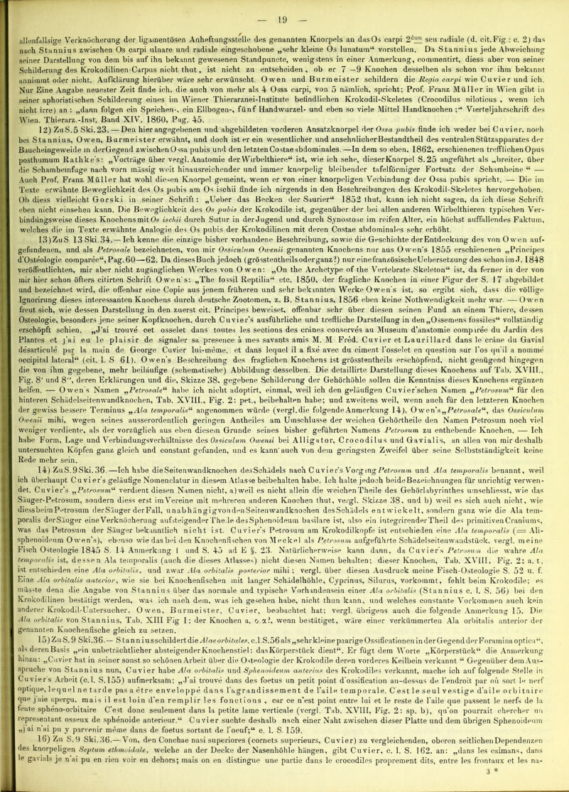 allenfallsige Verknöcherung der ligamentösen Anheftungsstelle des genannten Knorpels an das Os carpi 2dLlm seu radiale (d. cit. Fig.: c. 2) das nach Stannius zwischen Os carpi ulnare und radiale eingeschobene „sehr kleine Os lunatum“ vorstellen. Da Stannius jede Abweichung seiner Darstellung von dem bis auf ihn bekannt gewesenen Standpuncte, wenigstens in einer Anmerkung, eommentirt, diess aber von seiner Schilderung des Krokodilinen-Carpus nicht thut, ist nicht zu entscheiden, ob er 7 —9 Knochen desselben als schon vor ihm bekannt annimmt oder nicht. Aufklärung hierüber wäre sehr erwünscht. Owen und Burmeister schildern die Regio carpi wie Cu vier und ich. Nur Eine Angabe neuester Zeit finde ich, die auch von mehr als 4 Ossa carpi, von 5 nämlich, spricht; Prof. Franz Müller in Wien gibt in seiner aphoristischen Schilderung eines im Wiener Thierarznei-Institute befindlichen Krokodil-Skeletes (Crocodilus niloticus , wenn ich nicht irre) an : „dann folgen ein Speichen-, ein Ellbogen-, fünf Handwurzel- und eben so viele Mittel Handknochen ;“ Vierteljahrsehrift des Wien. Thierarz -Inst. Band XIV. 1860, Pag. 45. 12) ZuS.5 Ski. 23. — Den hier angegebenen und abgebildeten vorderen Ansatzknorpel der Ossa pubis finde ich weder bei Cu vier, noch bei Stannius, Owen, Burmeister erwähnt, und doch ist er ein wesentlicher und ansehnlicher Bestandtheil des ventralen Stützapparates der Baucheingeweide in derGegend zwischenOssa pubis und den letzten Costae abdominales. —In dem so eben, 1862, erschienenen trefflichen Opus posthumum Rathke's: „Vorträge über vergl. Anatomie der Wirbelthiere“ ist, wie ich sehe, dieser Knorpel S.25 angeführt als „breiter, über die Schambeinfuge nach vorn miissig weit hinausreichender und immer knorpelig bleibender tafelförmiger Fortsatz der Schambeine “ — Auch Prof. Franz Müller hat wohl diesen Knorpel gemeint, wenn er von einer knorpeligen Verbindung der Ossa pubis spricht. — Die im Texte erwähnte Beweglichkeit des Os pubis am Os isehii finde ich nirgends in den Beschreibungen des Krokodil-Skeletes hervorgehoben. Ob diess vielleicht Gorski in seiner Schrift: „Ueber das Becken der Saurier“ 1852 thut, kann ich nicht sagen, da ich diese Schrift eben nicht einsehen kann. Die Beweglichkeit des O.s pubis der Krokodile ist, gegenüber der bei allen anderen Wirbelthieren typischen Ver- bindungsweise dieses Knochens mit Os isehii durch Sutur in der Jugend und durch Synostose im reifen Alter, ein höchst auffallendes Faktum, welches die im Texte erwähnte Analogie des Os pubis der Krokodilinen mit deren Costae abdominales sehr erhöht. 13) ZuS 13 Ski.34.— Ich kenne die einzige bisher vorhandene Beschreibung, sowie die Geschichte der Entdeckung des von Owen auf- gefundenen, und als Petrosale bezeichneten, von mir Ossiculum Owenii genannten Knochens nur aus Owen's 1855 erschienenen „Principes d’Osteologie comparee“, Pag. 60—62. Da dieses Buch jedoch (grösstentheils oder ganz?) nur eine französische Uebersetzung des schon im J. 1848 veröffentlichten, mir aber nicht zugänglichen Werkes von Owen: „On the Archetype of the Vertebrate Skeleton“ ist, da ferner in der von mir hier schon öfters citirten Schrift Owen's: „The fossil Reptilia“ etc. 1850, der fragliche Knochen in einer Figur der S. 17 abgebildet und bezeichnet wird, die offenbar eine Copie aus jenem früheren und sehr bekmnten Werke Owen's ist, so ergibt sich, dass die völlige Ignorirung dieses interessanten Knochens durch deutsche Zootomen, z. B. Stannius, 1856 eben keine Nothwendigkeit mehr war. —Owen freut sich, wie dessen Darstellung in den zuerst cit. Principes beweiset, offenbar sehr über diesen seinen Fund an einem Thiere, dessen Osteologie, besonders jene seiner Kopfknochen, durch Cuvier’s ausführliche und treffliche Darstellung in den„Ossemens fossiles“ vollständig erschöpft schien. „J’ai trouve cet osselet dans toutes les sections des eränes conserve.s au Museum d’anatomie comparee du Jardin des Plantes et j’ai eu le plaisir de signaler sa presence ä mes savants amis M. M Fred. Cuvier et Laurillard dans le eräne du Gavial desarticule par la rnain de George Cuvier lui-meme, et dans lequel il a fixe avec du eiment l’osselet en question sur l’os qu'il a nomme occipital lateral“ (cit. 1. S 61). Owen's Beschreibung des fraglichen Knochens ist grösstentheils erschöpfend, nicht genügend hingegen die von ihm gegebene, mehr beiläufige (schematische) Abbildung desselben. Die detaillirte Darstellung dieses Knochens auf Tab. XVIII., Fig. 8' und 8“, deren Erklärungen und die, Skizze 38, gegebene Schilderung der Gehörhöhle sollen die Kenntniss dieses Knochens ergänzen helfen. — Owen's Namen „Petrosale“ habe ich nicht adoptirt, einmal, weil ich den geläufigen Cuvier’schen Namen „Petrosum“ für den hinteren Schädelseitenwandknochen, Tab. XV11I., Fig. 2: pet., beibehalten habe; und zweitens wreil, wenn auch für den letzteren Knochen der gewiss bessere Terminus „Ala temporalis“ angenommen würde (vergl.die folgende Anmerkung 14), Ow en\s„Pe? rosale“, das Ossiculum Owenii mihi, wegen seines ausserordentlich geringen Antheiles am Umschlusse der weichen Gehörtheile den Namen Petrosum noch viel weniger verdiente, als der vorzüglich aus eben diesem Grunde seines bisher geführten Namens Petrosum zu enthebende Knochen. — Ich habe Form, Lage und Verbindungsverhältnisse des Ossiculum Owenii bei Alligator, Crocodilus und Gavialis, an allen von mir deshalb untersuchten Köpfen ganz gleich und constant gefunden, und es kann'auch von dem geringsten Zweifel über seine Selbstständigkeit keine Rede mehr sein. 14) ZuS.9Ski.36.—Ich habe dieSeitenwandknochen desSchädels nach Cuvier’s Vovging Petrosum und Ala temporalis benannt, wreil ich überhaupt Cuvier’s geläufige Nomenclatur in diesem Atlasse beibehalten habe. Ich halte jedoch beide Bezeichnungen für unrichtig verwen- det. Cuvier’s „Petrosum“ verdient diesen Namen nicht, a) weil es nicht allein die weichenTheile des Gehörlabyrinthes umschliesst, wie das Säuger-Petrosum, sondern diess erst imVereine mit mehreren anderen Knochen thut, vergl. Skizze 38, und b) weil es sich auch nicht, wie diessbeim Petrosum derS.'iuger derFall, unabhängigvondenSeitenwandknochen desSchädels ent wickelt, sondern ganz wie die Ala tem- poralis derS.'iuger eine Verknöcherung aufsteigender The Je des Sphenoideuin basilare ist, also ein integrirenderTheil des primitiven Craniums, was das Petrosum der Säuger bekanntlich nicht ist. Cuvier’s Petrosum am Krokodilkopfe ist entschieden eine Ala temporalis (= Ali- sphenoideum Owen’s), ebenso wie das bei den Knochenfischen von Meckel als Petrosum aufgeführte Schädelseitenwandstück, vergl. meine Fisch Osteologie 1845 S. 14 Anmerkung 1 und S. 45 ad E §. 23. Natürlicherweise, kann dann, da Cuvier’s Petrosum die wahre Ala temporalis ist, dessen Ala temporalis (auch die dieses Atlasses) nicht diesen Namen behalten; dieser Knochen, Tab. XVIII, Fig. 2: a. t, ist entschieden eine Ala orbitalis* und zwar Ala orbitalis posterior mihi; vergl. über diesen Ausdruck meine Fisch-Osteologie S. 52 u. f. Eine Ala orbitalis anterior, wie sie bei Knochenfischen mit langer Schädelhöhle, Cyprinus, Silurus, vorkommt, fehlt beim Krokodile; es müsste denn die Angabe von Stannius über das normale und typische Vorhandensein einer Ala orbitalis (Stannius c. 1. S. 56) bei den Krokodilinen bestätigt werden, was ich nach dem, was ich gesehen habe, nicht thun kann, und welches constante Vorkommen auch kein anderer Krokodil-Untersucher. Owen, Burmeister, Cuvier, beobachtet hat; vergl. übrigens auch die folgende Anmerkung 15. Die Ala orbitalis von Stannius, Tab. XIII Fig 1: der Knochen a, o.a?, wenn bestätiget, wäre einer verkümmerten Ala orbitalis anterior der genannten Knochenfische gleich zu setzen. 15) ZuS.9 Ski. 3 6.— StanniusschildertdieHfaeoj-G'taie.?, c.l.S.56als „sehr kleine paarige Ossificationen in der Gegend der Foramina optica“, als deren Basis „ein unbeträchtlicher absteigender Knochenstiel: das Körperstück dient“. Er fügt dem Worte „Körperstück“ die Anmerkung hinzu: „Cuvier hat in seiner sonst so schönen Arbeit über die Osteologie der Krokodile deren vorderes Keilbein verkannt “ Gegenüber dem Aus- spruche von Stannius nun, Cuvier habe Ala orbitalis und Sphenoideuin anterius des Krokodiles verkannt, mache ich auf folgende Stelle in Cuviers Arbeit (c.l. S.155) aufmerksam: „J’ai trouve dans des foetus un petit point d'ossification au-dessus de l’endroit par oü sort le nerf optique, lequel ne tarde pas aetre enveloppe dans l’agrandissement de l’aile temporale. C est le seul vestige d’aile orbitaire que j aie npergu, mais il est loin d'en remplir les fonctions , car ce n’est point entre 1 ui et le reste de l’aile que passent le nerfs de la fente spheno-orbitaire C’est donc seulement dans la petite lame verticale (vergl. Tab. XVIII, Fig. 2: sp. b), qu’on pourrait chereher un representant osseux de sphenoide anterieur.“ Cuvier suchte deshalb nach einer Naht zwischen dieser Platte und dem übrigen Sphenoideuin „j ai n ai pu y parvenir meine dans de foetus sortant de l'oeuf;“ c. 1. S. 159. 16) Zu S.9 Ski.36.— Von, den Conehae nasi superiores (cornets superieurs, Cuvier) zu vergleichenden, oberen seitlichenDependenzen des knorpeligen Septum etlimoidale, welche an der Decke der Nasenhöhle hängen, gibt Cuvier, c. 1. S. 162, an: „dans les caimans, dans le gavials je n ai pu en rien voir en dehors; mais on en distingue une partie dans le crocodiles proprement dits, entre les frontaux et les na- 3 *