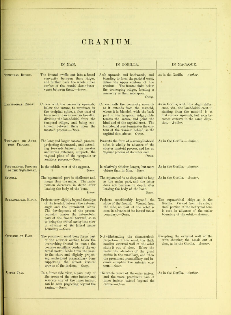 CRANIUM. IN MAN. IN GORILLA. IN MACAQUE. Temporal Ridges. The frontal swells out into a broad convexity between these ridges, and further back the whole upper surface of the cranial dome inter- venes between them.—Owen. Arch upwards and backwards, and blending to form the parietal crest, define the upper contour of the cranium. The frontal sinks below the converging ridges, forming a concavity in their interspace. Owen. As in the Gorilla.—Author. Lambdoidal Ridge. Curves with the convexity upwards, below the suture, to terminate in the occipital spine, a free tract of bone more than an inch in breadth, dividing the lambdoidal from the temporal ridges, and being con- tinued between them upon the mastoid process.—Owen. Curves with the concavity upwards as it extends from the mastoid, where it is blended with the back part of the temporal ridge; obli- terates the suture, and joins the hind end of the sagittal crest. The lambdoidal crest terminates the con- tour of the cranium behind, as the sagittal does above.—Owen. As in Gorilla, with this slight differ- ence, viz., the lambdoidal crest in starting from the mastoid is at first convex upwards, but soon be- comes concave in the same direc- tion.—Author. Tympanic or Audi- tory Process. The long and larger mastoid process, projecting downwards, and extend- ing forwards beneath the meatus auditorius externus, supports the vaginal plate of the tympanic or auditory process.—Owen. Presents the form of a semicylindrical tube, is wholly in advance of the shorter mastoid process, and has no vaginal process at its outer end. Owen. As in the Gorilla.—Author. Post-glenoid Process of the Squamosal. Is the middle root of the zygoma. ^ Owen. Is relatively thicker, longer, but more obtuse than in Man.—Owen. As in the Gorilla.—A uthor. Zygoma. The squamosal part is shallower and longer than the malar. The malar portion decreases in depth after leaving the body of the bone. Owen. The squamosal is as deep and as long as the malar part, and the latter does not decrease in depth after leaving the body of the boue. Oiven. As in the Gorilla.—Author. ■ Supraorbital Ridge. Projects very slightly beyond the slope of the frontal, between the external angle and the prominent sinus. The development of the prosen- cephalon carries the interorbital part of the frontal forward, so as to bring the orbital cavity into view in advance of its lateral malar boundary.—Owen. Projects considerably beyond the slope of the frontal. Viewed from the side, no part of the orbit is seen in advance of its lateral malar boundary.—Owen. The supraorbital ridge as in the Gorilla. Viewed from the side, a small portion of the lachrymal bone is seen in advance of the malar boundary of the orbit.— A uthor. Outline of Face. The prominent nasal bone forms part of the anterior outline below the overarching frontal in man ; the concave maxillary border of the ex- ternal nostril leads from the nasal to the short and slightly project- ing anchylosed premaxillary bone supporting the almost vertical crowns of the incisors.—Owen. Notwithstanding the characteristic projection of the nasal, the thick swollen external wall of the orbit shuts it out of view. Below the malar the alveolars of the great canine in the maxillary, and then the prominent premaxillary and in- cisors complete the anterior con- tour.—Owen. Excepting the external wall of the orbit shutting the nasals out of view, as in the Gorilla.—Author. Upper Jaw. In a direct side view, a part only of the crown of the outer incisor, and scarcely any of the inner incisor, can be seen projecting beyond the canine.—Owen. The whole crown of the outer incisor, and the more prominent part of inner incisor, extend beyond the canine.—Owen. As in the Gorilla.—Author. !