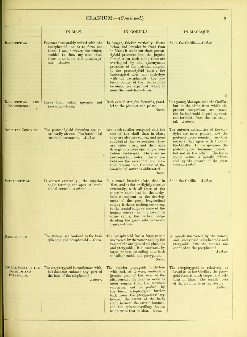 IN MAN. IN GORILLA. IN MACAQUE. Basioccipital. Becomes inseparably united with the basisphenoid, so as to form one bone. I was, however, last winter, enabled to show my class these bones in an adult still quite sepa- rate.—Author. Is longer, thicker vertically, flatter below, and broader in front than in Man ; it sends out short precon- dyloid processes into the jugular foramina on each side ; these are overlapped by the synonymous processes of the petrosal anterior to the precondyloid holes ; the basioccipital does not anchylose with the basisphenoid; the pos- terior border of the basioccipital becomes less expanded where it joins the condyles.—Owen. As in the Gorilla.—Author. ,4 Basioccipital and Basisphenoid. V Curve from below upwards and forwards. —Owen. Both extend straight forwards, paral- lel to the plane of the palate. Owen. In a young Macaque as in the Gorilla; but in the adult, from which the present comparisons are drawn, the basisphenoid sloped upwards and forwards from the basioccipi- tal.—A uthor. Occipital Condyles. The postcondyloid foramina are oc- casionally absent. The lambdoidal suture is permanent.—Author. Are much smaller compared with the size of the skull than in Man ; they are also less convex and more rounded at their extremities ; they are wider apart, and their axes diverge at a more open angle from before backwards. There are no postcondyloid holes. The suture between the exoccipital and mas- toid remains, but the rest of the lambdoidal suture is obliterated. Owen. The anterior extremities of the con- dyles are more pointed, and the posterior more rounded; in other respects they agree with those of the Gorilla. In one specimen the postcondyloid foramina existed, but not in the other. The lamb- doidal suture is equally obliter- ated by the growth of the great crest.—Author. SUPRAOCCIPITAL. Is convex externally; the superior angle forming the apex of lamb- doidal suture.—A uthor. Is a much broader plate than in Man, and is flat or slightly concave externally, with all trace of the superior angle lost in the anchy- losis consequent on the develop- ment of the great longitudinal ridge ; it shows nothing answering to the cranial ridge or spine of the human convex occiput, except in some skulls, the vertical ridge dividing the great subconcave ex- panse.—Owen. As in the Gorilla.—Author. Basisphenoid. The sinuses are confined to the basi- sphenoid and presphenoid.—Owen. The basisphenoid has a large extent uncovered by the vomer and by the bases of the anchylosed alisphenoids and pterygoids; it is excavated by large sinuses extending into both the alisphenoids and pterygoids. Owen. Is equally uncovered by the vomer, and anchylosed alisphenoids and pterygoids, but the sinuses are confined to the presphenoid. Author. Middle Fossa of the Cranium and Pterygoids. The ectopterygoid is continuous with, but does not embrace any part of the base of the alisphenoid. Author. The broader pterygoids anchylose with and, as it were, embrace a greater part of the base of the alisphenoid ; the foramen ovale is more remote from the foramen the broad ectopterygoid further back from the pterygo-maxillary fissure; the extent of the basis cranii between the carotid foramen and the spheno-maxillary fissure being twice that in Man.—Owen. The ectopterygoid is relatively as broad as in the Gorilla ; the ptery- goid fossa is much larger relatively than in Man. The middle fossa of the cranium as in the Gorilla.