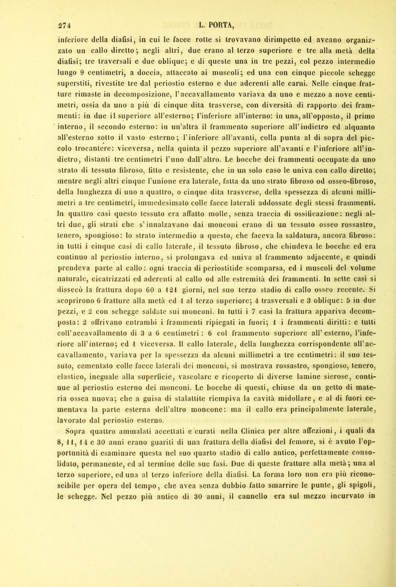inferiore della diaGsi, in cui le facce roUe si Irovavano dirimpetto ed aveano organiz^* zalo un callo diretto; negli altri, due erano al terzo superiore e tre alla metà della diafisi; tre traversali e due oblique; e di queste una in tre pezzi, col pezzo intermedio lungo 9 centimetri, a doccia, attaccato ai muscoli; ed una con cinque piccole schegge superstiti, rivestite tre dal periostio esterno e due aderenìi alle carni. Nelle cinque frat- ture rimaste in decomposizione, l’accavallamento variava da uno e mezzo a nove centi- metri, ossia da uno a più di cinque dita trasverse, con diversità di rapporto dei fram- menti: in due il superiore aH’esterno; l’inferiore all’interno; in una, all’opposto, il primo 'interno, il secondo esterno: in un’altra il frammento superiore aU’indietro cd alquanto all’esterno sotto il vasto esterno; l’inferiore all’avanti, colla punta al di sopra del pic- colo trocantere: viceversa, nella quinta il pezzo superiore all’avanti e l’inferiore all’in- dietro, distanti tre centimetri l’uno dall’altro. Le bocche dei frammenti occupate da uno strato di tessuto fibroso, fitto e resistente, che in un solo caso le univa con callo diretto; mentre negli altri cinque l’unione era laterale, falla da uno slrato fibroso od osseo-fibroso, della lunghezza di uno a quallro, o cinque dila Irasverse, della spessezza di alcuni milli- melri a Ire ccnlimelri, immedesimalo colle facce laterali addossate degli stessi frammenti. In quattro casi questo tessuto era affatto molle, senza traccia di ossificazione; negli al- tri due, gli strati che s’innalzavano dai monconi erano di un tessuto osseo rossastro, tenero, spongioso: lo strato intermedio a questo, che faceva la saldatura, ancora fibroso; in tutti i cinque casi di callo laterale, il tessuto fibroso, che chiudeva le bocche ed era continuo al periostio interno, si prolungava ed univa al frammento adjacente, e quindi prendeva parte al callo : ogni traccia di periostilide scomparsa, ed i muscoli del volume naturale, cicatrizzati ed aderenti al callo od alle estremità dei frammenti. In sette casi si dissecò la frattura dopo 60 a 121 giorni, nel suo terzo stadio di callo osseo recente. Si scoprirono 6 fratture alla metà cd 4 al terzo superiore; 4 trasversali e 3 oblique: 5 in due pezzi, e 2 con schegge saldale sui monconi. In tulli i 7 casi la frattura appariva decom- posta: 2 offrivano entrambi i frammenti ripiegali in fuori; 1 i frammenti diritti: e tulli coll’accavallamento di 3 a 6 centimetri: 6 col frammento superiore all’esterno, l’infe- riore all’interno; ed 4 viceversa. Il callo laterale, della lunghezza corrispondente all’ac- cavallamento, variava per la spessezza da alcuni millimetri a tre centimetri: il suo tes- suto, cementato colle facce laterali dei monconi, si mostrava rossastro, spongioso, tenero, elastico, ineguale alla superficie, vascolare e ricoperto di diverse lamine sierose, conti- nue al periostio esterno dei monconi. Le bocche di questi, chiuse da un getto di mate- ria ossea nuova; che a guisa di stalattite riempiva la cavità midollare, e al di fuori ce- mentava la parte esterna deU’allro moncone: ma il callo era principalmente laterale, lavoralo dal periostio esterno. Sopra quallro ammalali accettali e curali nella Clinica per altre affezioni, i quali da 8, 14, 44 e 30 anni erano guariti di una frattura della diafisi del femore, si è avuto l’op- portunità di esaminare questa nel suo quarto stadio di callo antico, perfettamente conso- lidalo, permanente, ed al termine delle suo fasi. Due di queste fratture alla metà; una al terzo superiore, ed una al terzo inferiore della diafisi. La forma loro non era più ricono- scibile per opera del tempo, che avea senza dubbio fallo smarrire le punte, gli spigoli, le schegge. Nel pezzo più antico di 30 anni, il cannello era sul mezzo incurvalo in