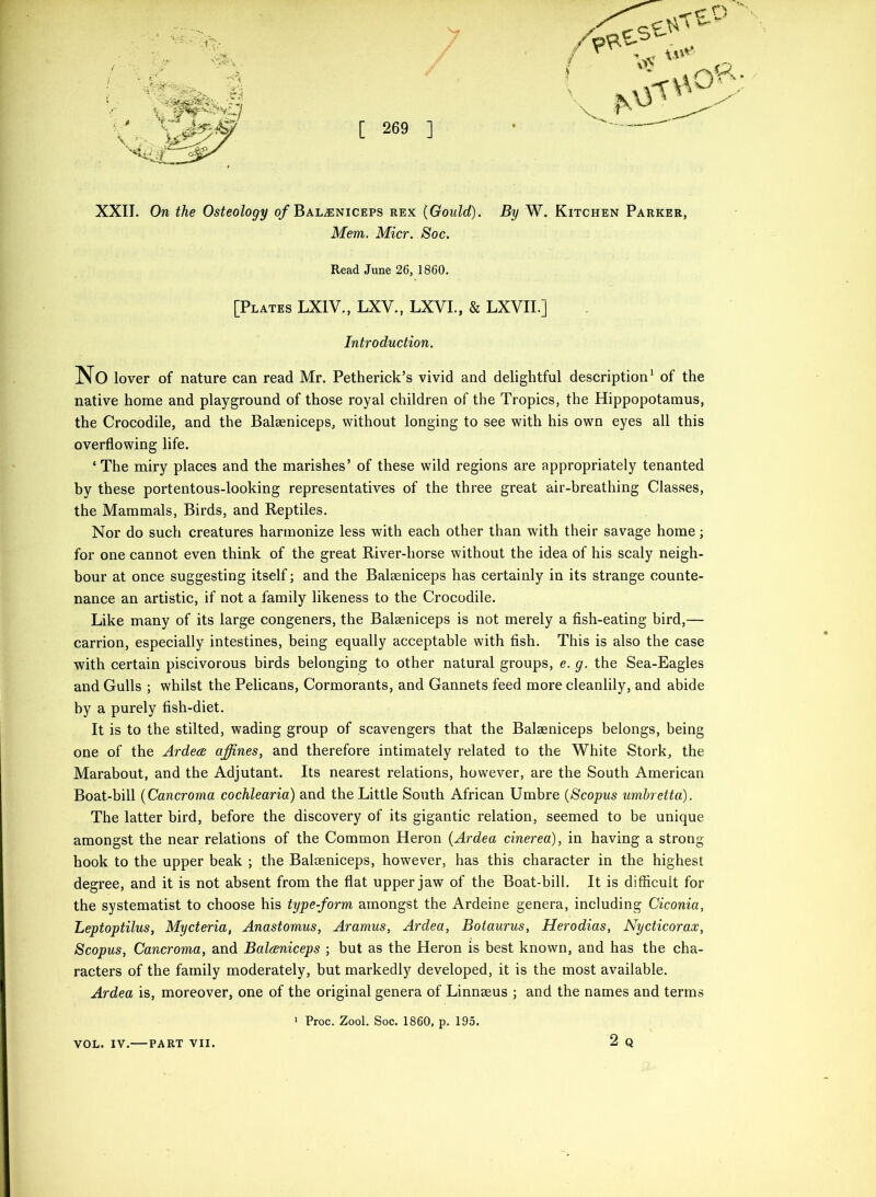 XXII. On the Osteology o/Bal^niceps rex (Gould). By W. Kitchen Parker, Mem. Micr. Soc. Read June 26, 1860. [Plates LXIV., LXV., LXVL, & LXVIL] Introduction. No lover of nature can read Mr. Petherick’s vivid and delightful description' of the native home and playground of those royal children of the Tropics, the Hippopotamus, the Crocodile, and the Balaeniceps, without longing to see with his own eyes all this overflowing life. ‘The miry places and the marishes’ of these wild regions are appropriately tenanted by these portentous-looking representatives of the three great air-breathing Classes, the Mammals, Birds, and Reptiles. Nor do such creatures harmonize less with each other than with their savage home; for one cannot even think of the great River-horse without the idea of his scaly neigh- bour at once suggesting itself; and the Balaeniceps has certainly in its strange counte- nance an artistic, if not a family likeness to the Crocodile. Like many of its large congeners, the Balseniceps is not merely a fish-eating bird,— carrion, especially intestines, being equally acceptable with fish. This is also the case with certain piscivorous birds belonging to other natural groups, e. g. the Sea-Eagles and Gulls ; whilst the Pelicans, Cormorants, and Gannets feed more cleanlily, and abide by a purely fish-diet. It is to the stilted, wading group of scavengers that the Balaeniceps belongs, being one of the Ardece affines, and therefore intimately related to the White Stork, the Marabout, and the Adjutant. Its nearest relations, however, are the South American Boat-bill (Cancroma cochlearia) and the Little South African Umbre (Scopus umhretta). The latter bird, before the discovery of its gigantic relation, seemed to be unique amongst the near relations of the Common Heron (Ardea cinerea), in having a strong hook to the upper beak ; the Baloeniceps, however, has this character in the highest degree, and it is not absent from the flat upper jaw of the Boat-bill. It is difficult for the systematist to choose his type-form amongst the Ardeine genera, including Ciconia, Leptoptilus, Mycteria, Anastomus, Aramus, Ardea, Botaurus, Herodias, Nycticorax, Scopus, Cancroma, and Balceniceps ; but as the Heron is best known, and has the cha- racters of the family moderately, but markedly developed, it is the most available. Ardea is, moreover, one of the original genera of Linneeus ; and the names and terms 2 Q ' Proc. Zool. Soc. 1860, p. 195.