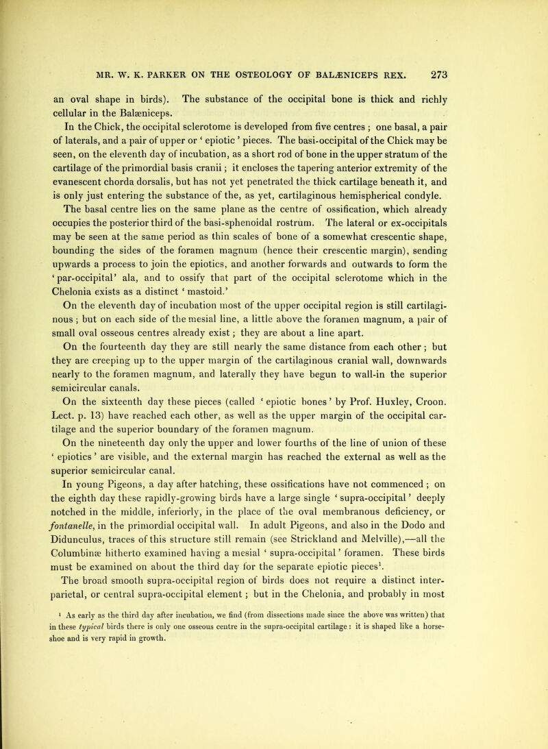 an oval shape in birds). The substance of the occipital bone is thick and richly cellular in the Balseniceps. In the Chick, the occipital sclerotome is developed from five centres ; one basal, a pair of laterals, and a pair of upper or ‘ epiotic ’ pieces. The basi-occipital of the Chick may be seen, on the eleventh day of incubation, as a short rod of bone in the upper stratum of the cartilage of the primordial basis cranii; it encloses the tapering anterior extremity of the evanescent chorda dorsalis, but has not yet penetrated the thick cartilage beneath it, and is only just entering the substance of the, as yet, cartilaginous hemispherical condyle. The basal centre lies on the same plane as the centre of ossification, which already occupies the posterior third of the basi-sphenoidal rostrum. The lateral or ex-occipitals may be seen at the same period as thin scales of bone of a somewhat crescentic shape, bounding the sides of the foramen magnum (hence their crescentic margin), sending upwards a process to join the epiotics, and another forwards and outwards to form the ‘ par-occipitaT ala, and to ossify that part of the occipital sclerotome which in the Chelonia exists as a distinct ‘ mastoid.’ On the eleventh day of incubation most of the upper occipital region is still cartilagi- nous ; but on each side of the mesial line, a little above the foramen magnum, a pair of small oval osseous centres already exist; they are about a line apart. On the fourteenth day they are still nearly the same distance from each other; but they are creeping up to the upper margin of the cartilaginous cranial wall, downwards nearly to the foramen magnum, and laterally they have begun to wall-in the superior semicircular canals. On the sixteenth day these pieces (called ‘ epiotic hones’ by Prof. Huxley, Croon. Lect. p. 13) have reached each other, as well as the upper margin of the occipital car- tilage and the superior boundary of the foramen magnum. On the nineteenth day only the upper and lower fourths of the line of union of these ‘ epiotics ’ are visible, and the external margin has reached the external as well as the superior semicircular canal. In young Pigeons, a day after hatching, these ossifications have not commenced ; on the eighth day these rapidly-growing birds have a large single ‘ supra-occipital ’ deeply notched in the middle, interiorly, in the place of the oval membranous deficiency, or fontanelle, in the primordial occipital wall. In adult Pigeons, and also in the Dodo and Didunculus, traces of this structure still remain (see Strickland and Melville),—all the Columbinse hitherto examined having a mesial ‘ supra-occipital ’ foramen. These birds must be examined on about the third day for the separate epiotic piecesb The broad smooth supra-occipital region of birds does not require a distinct inter- parietal, or central supra-occipital element; but in the Chelonia, and probably in most 1 As early as the third day after incubation, we find (from dissections made since the above was written) that in these typical birds there is only one osseous centre in the supra-occipital cartilage: it is shaped like a horse- shoe and is very rapid in growth.