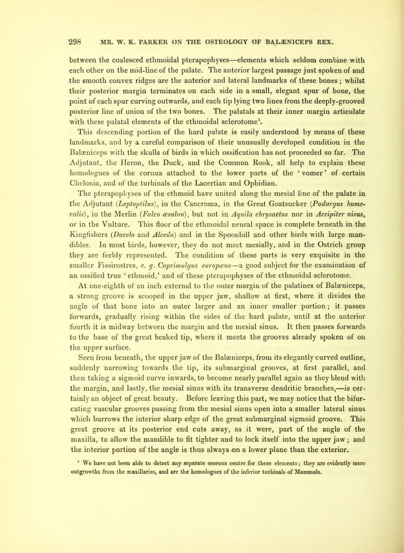 between the coalesced ethmoidal pterapophyses—elements which seldom combine with each other on the mid-line of the palate. The anterior largest passage just spoken of and the smooth convex ridges are the anterior and lateral landmarks of these bones; whilst their posterior margin terminates on each side in a small, elegant spur of bone, the point of each spur curving outwards, and each tip lying two lines from the deeply-grooved posterior line of union of the two bones. The palatals at their inner margin articulate with these palatal elements of the ethmoidal sclerotome h This descending portion of the hard palate is easily understood by means of these landmarks, and by a careful comparison of their unusually developed condition in the Balseniceps with the skulls of birds in which ossification has not proceeded so far. The Adjutant, the Heron, the Duck, and the Common Rook, all help to explain these homologues of the cornua attached to the lower parts of the ‘vomer’ of certain Chelonia, and of the turbinals of the Lacertian and Ophidian. The pterapophyses of the ethmoid have united along the mesial line of the palate in the Adjutant (Leptoptilus), in the Cancroma, in the Great Goatsucker [Podargus hume- ralis), in the Merlin (Falco asalon), but not in Aquila chrysaetos nor in Accipiter nisus, or in the Vulture. This floor of the ethmoidal neural space is complete beneath in the Kingfishers {Dacelo and Alcedo) and in the Spoonbill and other birds with large man- dibles. In most birds, however, they do not meet raesially, and in the Ostrich group they are feebly represented. The condition of these parts is very exquisite in the smaller Fissirostres, e. g. Caprimulgus europaus—a good subject for the examination of an ossified true ‘ ethmoid,’ and of these pterapophyses of the ethmoidal sclerotome. At one-eighth of an inch external to the outer margin of the palatines of Balseniceps, a strong groove is scooped in the upper jaw, shallow at first, where it divides the angle of that bone into an outer larger and an inner smaller portion; it passes forwards, gradually rising within the sides of the hard palate, until at the anterior fourth it is midway between the margin and the mesial sinus. It then passes forwards to the base of the great beaked tip, where it meets the grooves already spoken of on the upper surface. Seen from beneath, the upper jaw of the Balaeniceps, from its elegantly curved outline, suddenly narrowing towards the tip, its submarginal grooves, at first parallel, and then taking a sigmoid curve inwards, to become nearly parallel again as they blend with the margin, and lastly, the mesial sinus with its transverse dendritic branches,—is cer- tainly an object of great beauty. Before leaving this part, we may notice that the bifur- cating vascular grooves passing from the mesial sinus open into a smaller lateral sinus which burrows the interior sharp edge of the great submarginal sigmoid groove. This great groove at its posterior end cuts away, as it were, part of the angle of the maxilla, to allow the mandible to fit tighter and to lock itself into the upper jaw; and the interior portion of the angle is thus always-on a lower plane than the exterior. ^ We have not been able to detect any separate osseous centre for these elements; they are evidently mere outgrowths from the maxillaries, and are the homologues of the inferior turbinals of Mammals.