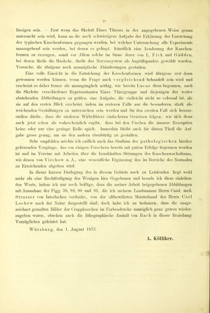 lässigen sein. Erst wenn das Skelett Eines Thieres in der angegebenen Weise genau niitersuclit sein wird, kann an die noch scliwierigere Aufgabe der Erklärung der Eiitstebiing der typischen Knoclienfonnen geg’angen werden, bei welcher Untersuchung alle Experimente maassgebend sein werden, ))ei denen es gelingt, künstlich eine Aenderung der Knochen- formen zu erzeugen, somit vor Allem solche im Sinne derer von L. Fick und Gudden, bei denen theils die Muskeln, theils das Nervensystem als Angriffspunkte gewählt wurden. Versuche, die übrigens noch mannigfache Abänderungen gestatten. Eine volle Einsicht in die Entstellung der Knochenformen wird übrigens erst dann gewonnen werden können, wenn die Frage auch vergleichend behandelt sein wird und erscheint es daher ferner als unumgänglich iiöthig, wie bereits Lu ca e diess begonnen, auch die Skelette verschiedener Repräsentanten Einer Tbiergruppe und diejenigen der weiter abstehenden Abtlieilungen zu prüfen, eine Aufgabe, die vielleicht nicht so colossal ist, als sie auf den ersten Blick erscheint, indem im ersteren Falle nur die besonderen, stark ab’ weichenden CTestaltungen zu untersuchen sein werden und für den zweiten Fall sich lieraus- stellen dürfte, dass die niederen Wirbeltbiere einfacheren Gesetzen folgen, wie sich denn auch jetzt schon als wahrscheinlich ergibt, dass bei den Fischen die äussere Resorption keine oder nur eine geringe Rolle spielt. Immerhin l)leil)t auch für diesen Theil die Auf- gabe gross genug, um sie den andern elienbürtig zu gestalten. Sehr empfehlen möchte ich endlich aneh das Studium der pathologischen hierher gehörenden Vorgänge, das von einigen Forschern bereits mit gutem Erfolge begonnen worden ist und im Vereine mit Arbeiten über die krankhaften Störungen des Knochenwachsthums, wie denen von Vircbow u. A., eine wesentliche Ergänzung des im Bereiche des Normalen zu Erreichenden abgeben wird. In dieser kiu’zen Darlegung des in diesem Gebiete noch zu Leistenden liegt wohl mehr als eine Rechtfertigung des Wenigen hier Gegebenen und beende ich diese einleiten- den Worte, indem ich nur noch beifüge, dass die meiner Arbeit beigegebenen Abbildungen mit Ausnahme der Figg\ 36, 89, 90 und 91, die ich meinem Landsmanne Herrn Gand. med. Strass er von Interlachen verdanke, von der altbewährten Meisterhand des Herrn Carl Lochow nach der Natur dargestellt sind; doch habe ich zu bedauern, dass die ausge- zeichnet gemalten Bilder der Crappknochen im Farbendrucke unmöglich ganz getreu wieder- zugeben waren, obschoii auch die lithographische Anstalt von Bach in dieser Beziehung Vorzügliches geleistet hat. Würzburg, den L August 1873. A. Kölliker.