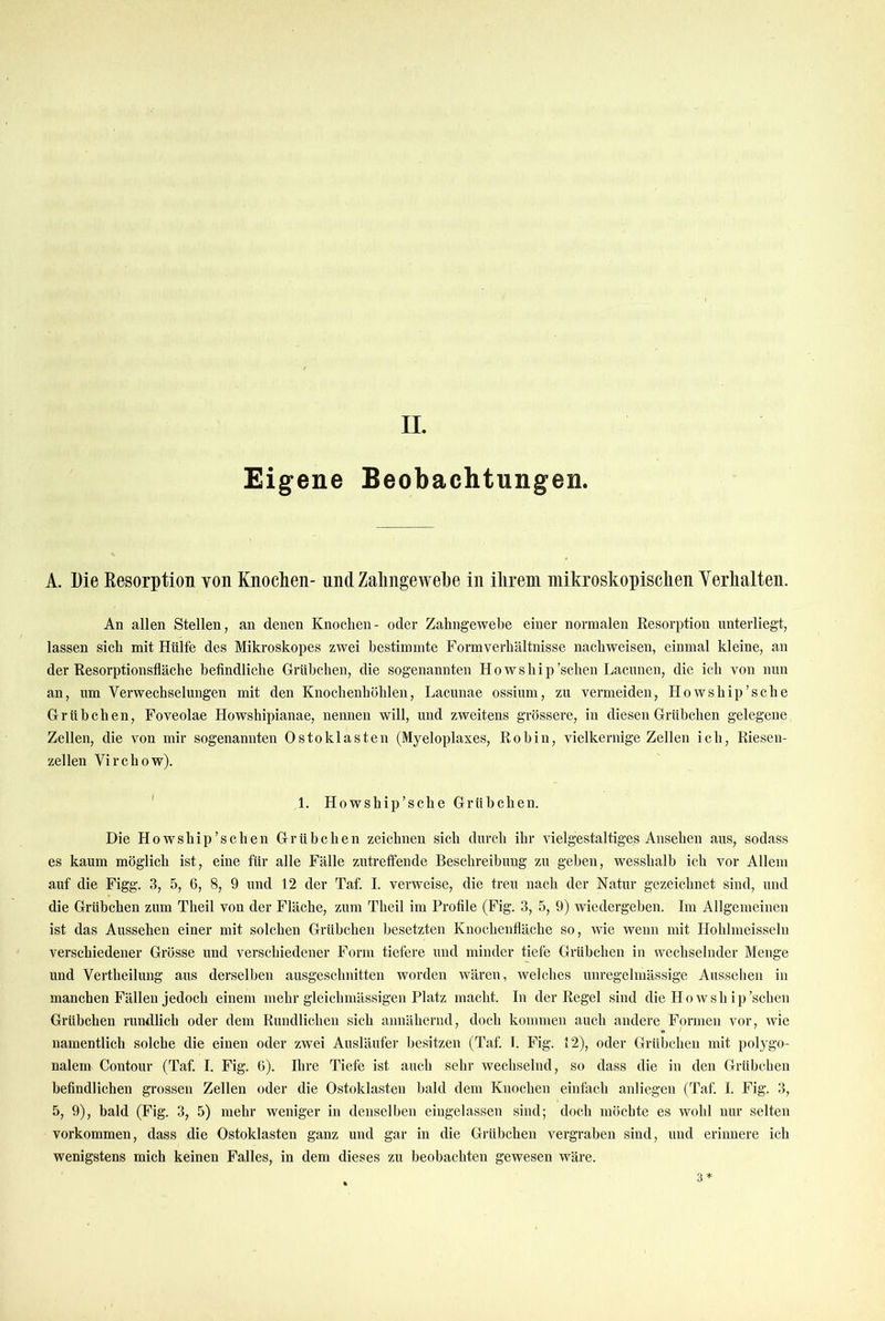 II. Eigene Beobachtungen. A. Die Eesorption von Knoclien- und Zalingewe])e in ilirem inikroskopisclien Yerlialten. An allen Stellen, an denen Knochen- oder Zahngewebe einer normalen Eesorption unterliegt, lassen sich mit Hülfe des Mikroskopes zwei bestimmte Formverhältnisse nachweisen, einmal kleine, an der Resorptionsfläche befindliche Grübchen, die sogenannten Howship'sehen Lacunen, die ich von nun an, um Verwechselungen mit den Knochenhöhlen, Lacunae ossium, zu vermeiden, Howship’sche Grübchen, Foveolae Howshipianae, nennen will, und zweitens grössere, in diesen Grübchen gelegene Zellen, die von mir sogenannten Ostok lasten (Myeloplaxes, Roh in, vielkernige Zellen ich, Riesen- zellen Virehow). ' 1. Howship’sche Grühehen. Die H owship'sehen Grübchen zeichnen sich durch ihr vielgestaltiges Ansehen aus, so dass es kaum möglich ist, eine für alle Fälle zutreffende Beschreibung zu geben, wesshalh ich vor Allem auf die Figg. 3, 5, 6, 8, 9 und 12 der Taf. I. verweise, die treu nach der Natur gezeichnet sind, und die Grübchen zum Theil von der Fläche, zum Theil im Profile (Fig. 3, 5, 9) wiedergehen. Im Allgemeinen ist das Aussehen einer mit solchen Grübchen besetzten Knochenfläche so, wie wenn mit Hohlmeisseln verschiedener Grösse und verschiedener Form tiefere und minder tiefe Grübchen in wechselnder Menge und Vertheilung aus derselben ausgeschnitten worden wären, welches unregelmässige Aussehen in manchen Fällen jedoch einem mehr gleichmässigen Platz macht. In der Regel sind die Ho wsh ip'sehen Grübchen rundlich oder dem Rundlichen sich annähernd, doch kommen auch andere Formen vor, wie namentlich solche die einen oder zwei Ausläufer besitzen (Taf. I. Fig. 12), oder Grübchen mit polygo- nalem Contour (Taf. I. Fig. G). Ihre Tiefe ist auch sehr wechselnd, so dass die in den Grübchen befindlichen grossen Zellen oder die Ostoklasten bald dem Knochen einfach anliegen (Taf. I. Fig. 3, 5, 9), bald (Fig. 3, 5) mehr weniger in denselben eingelassen sind; doch möchte es wohl nur selten Vorkommen, dass die Ostoklasten ganz und gar in die Grübchen vergraben sind, und erinnere ich wenigstens mich keinen Falles, in dem dieses zu beobachten gewesen wäre. 3*