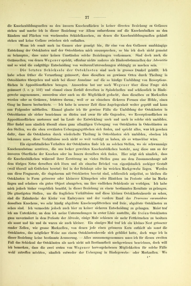 die Knochenbildungszellen an den äussern Knochenflächen in keiner directen Beziehung zu Gefässen stehen und mache ich in dieser Beziehung vor Allem aufmerksam auf die Knochenbalken an den Rändern und Flächen von wachsenden Schädelknochen, an denen die Knochenbildungszelleu gehäuft stehen und keine Gefässe zwischen sich enthalten. Wenn ich somit auch im Ganzen eher geneigt bin, für eine von den Gefässen unabhängige Entstehung der Ostoklasten und der Osteoblasten mich auszusprechen, so bin ich doch nicht gemeint zu behaupten, dass unter keinen Umständen solche Beziehungen Vorkommen. Sind doch aucl; die Getässzellen, von denen Wegen er spricht, offenbar nichts anderes als Bindesubstanzzellen der/k/cc??/'yV/V/ und so wird die endgültige Entscheidung von weiterenUntersuchungen abhängig zu machen sein. Die letzten Schicksale der Ostoklasten sind noch in grosses Dunkel gehüllt. Ich habe schon früher die Vermuthuug geäussert, dass dieselben an gewissen Orten durch Theilung in Osteoblasten übergehen und mich bei dieser Annahme auf die so häufige Umbildung von Resorptions- flächen in Appositionsflächen bezogen. Ausserdem hat nur noch Wegen er über diese Frage sich geäussert (1. c. p. 532) und einmal einen Zerfall derselben in Spindelzellen und schliesslieh in Binde- gewebe angenommen, ausserdem aber auch an die Möglichkeit gedacht, dass dieselben zu Markzellen werden oder zu Gefässen, letzteres darum, weil er an einzelnen dickeren Formen eine Höhle, einen Gang im Innern beobachtete. — Ich habe in neuerer Zeit diese Angelegenheit weiter geprüft und kann nun Folgendes mittheilen. Einmal glaube ich für gewisse Fälle die Umbildung der Ostoklasten in Osteoblasten als sicher bezeichnen zu dürfen und zwar für alle Gegenden, wo Resorptionsflächen an Appositionsflächen anstossen und im Laufe der Entwicklung nach und nach in solche sich umbilden. Hier findet man nämlich überall einen ganz allmäligen Uebergang von Ostoklasten in Osteoblasten an den Stellen, wo die oben erwähnten Uebergangsgrübchen sich finden, und spricht alles, was ich gesehen dafür, dass die Ostoklasten durch wiederholte Theilung in Osteoblasten sieh umbilden, obschon ich bekennen muss, diese Verhältnisse noch nicht so weit verfolgt zu haben, als es wünschbar wäre. Ein eigenthümliches Verhalten der Ostoklasten finde ich an solchen Stellen, wo sie schwammige Knochensubstanz zerstören, die aus locker gewebten Knochenbälkchen besteht, mag diese nun an der äusseren Oberfläche der Knochen oder im Innern derselben sich finden. Hier zeigt sich nämlich, dass die Knochenbälkchen während ihrer Zerstörung an vielen Stellen ganz aus dem Zusammenhänge mit dem übrigen Netze derselben sich lösen und als einzelne Bröckel von eigenthümlich zackiger Gestalt (weil überall mit Grübchen besetzt) frei in der Beinhaut oder im weichen Markgewebe liegen. Werden nun diese Fragmente, die ringsherum mit Ostoklasten besetzt sind, schliesslich aufgelöst, so bleiben die Ostoklasten in Form grösserer oder kleinerer Klümpchen oder Häufchen im Perioste oder im Marke liegen und scheinen ein gutes Object abzugeben, um ihre endlichen Schicksale zu verfolgen. Ich habe mich jedoch bisher vergeblich bemüht, in dieser Beziehung zu einem bestimmten Resultate zu gelangen. Die günstigsten Stellen, um die fraglichen Verhältnisse und diese kleinen Ostoklastenheerde zu sehen, sind die Zahnfurche der Kiefer von Embryonen und der vordere Rand des Processus o.oronoideus desselben Knochens, wo sehr häufig abgelöste Knochensplitterchen und freie, abgelöste Ostoklasten zu sehen sind. Ich vermochte jedoch auch hier zu keiner sicheren Entscheidung zu gelangen. Meist traf ich am Unterkiefer, an dem ich meine Untersuchungen in erster Linie anstellte, die fr eien Ostoklasten ganz unverändert in dem Perioste der Alveole, einige Male schienen sie mehr Fettkörnchen zu besitzen als sonst und hie und da waren sie auch kleiner. Ein einziges Mal traf ich ein kleines Nest grösserer runder Zellen, wie grosse Markzellen, von denen jede einen grösseren Kern enthielt als sonst die Ostoklasten, das möglicher Weise aus einem Ostoklastenheerde sich gebildet hatte, doch wage ich in dieser Beziehung keine bestimmte Aeusserung. — Alles zusammengenommen muss ich für diesen zweiten Fall das Schicksal der Ostoklasten als noch nicht mit Bestimmtheit naehgewiesen bezeichnen, doch will ich bemerken, dass die zwei ersten von Wegen er hervorgehobeiien Möglichkeiten für solche Fälle wohl zutreffen möchten, nämlich entweder der Uebergang in Bindegewebs- oder Markzellen. Wo 4*