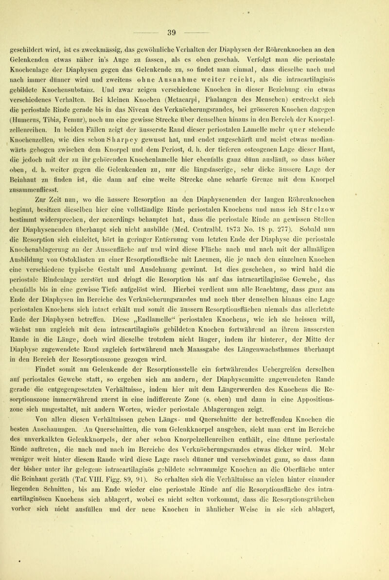 geschildert wird, ist es zweckmässig,,das gewölmliche Verhalten der Diaphysen der Röhrenknochen an den Gelenkenden etwas näher in’s Auge zu lassen, als es oben geschah. Verfolgt man die periostale Knochenlage der Diaphysen gegen das Gelenkende zu, so findet man einmal, dass dieselbe nach und nach immer dünner wird und zweitens ohne Ausnahme weiter reicht, als die intracartilaginös gebildete Knochensubstanz. Und zwar zeigen verschiedene Knochen in dieser Beziehung ein etwas verschiedenes Verhalten. Bei kleinen Knochen (Metacarpi, Phalangen des Menschen) erstreckt sich die periostale Rinde gerade bis in das Niveau des Verknöcherungsrandes, bei grösseren Knochen dagegen (Humerus, Tibia, Femur), noch um eine gewisse Strecke über denselben hinaus in den Bereich der Knorpel- zellenreihen. In beiden Fällen zeigt der äusserste Rand dieser periostalen Lamelle mehr quer stehende Knochenzellen, wie dies schon Sharp ey gewusst hat, und endet zugeschärft und meist etwas median- wärts gebogen zwischen dem Knorpel und dem Periost, d. h. der tieferen osteogenen Lage dieser Haut, die jedoch mit der zu ihr gehörenden Knochenlamelle hier ebenfalls ganz dünn ausläuft, so dass höher oben, d. h. weiter gegen die Gelenkenden zu, nur die längsfaserige, sehr dicke äussere Lage der Beiuhaut zu finden ist, die dann auf eine weite Strecke ohne scharfe Grenze mit dem Knorpel zusammenfliesst. , Zur Zeit nun, wo die äussere Resorption an den Diaphysenenden der langen Röhrenknochen beginnt, besitzen dieselben hier eine vollständige Rinde periostalen Knochens und muss ich Strelzow bestimmt widersprechen, der neuerdings behauptet hat, dass die periostale Kinde an gewissen Stellen der Diaphysenenden überhaupt sich nicht ausbilde (Med. Centralbl. 1873 No. 18 p. 277). Sobald nun die Resorption sich einleitet, hört in geringer Entfernung vom letzten Ende der Diaphyse die periostale Knochenablagerung an der Ausseufläche auf und wird diese Fläche nach und nach mit der allmäligen Ausbildung von Ostoklästeii zu einer Resorptionsfläche mit Lacunen, die je nach den einzelnen Knochen eine verschiedene typische Gestalt und Ausdehnung gewinnt. Ist dies geschehen, so wird bald die periostale Rindcnlage zerstört und dringt die Resorption bis auf das intracartilaginöse Gewebe, das ebenfalls bis in eine gewisse Tiefe aufgelöst wird. Hierbei verdient nun alle Beachtung, dass ganz am Ende der Diaphysen im Bereiche des Verknöcherungsrandes und noch über denselben hinaus eine Lage periostalen Knochens sich intact erhält und somit die äussern Resorptiousflächen niemals das allerletzte Ende der Diaphysen betreffen. Diese „Endlamelle‘‘ periostalen Knochens, wie ich sie heissen will, wächst nun zugleich mit dem intracartilaginös gebildeten Knochen fortwährend an ihrem äussersten Rande in die Länge, doch Avird dieselbe trotzdem nicht länger, indem ihr hinterer, der Mitte der Diaphyse zugewendete Rand zugleich fortwährend nach Maassgabe des Längenwachsthumes überhaupt in den Bereich der Resorptionszone gezogen wird. Findet somit am Gelenkende der Resorptionsstelle ein fortwährendes Uebergreifen derselben auf periostales Gewebe statt, so ergeben sich am andern, der Diaphysenmitte zugewendeten Rande gerade die entgegengesetzten Verhältnisse, indem hier mit dem Längerwerden des Knochens die Re- sorptionszone immerwährend zuerst in eine indifferente Zone (s. oben) und dann in eine Appositions- zone sich umgestaltet, mit andern Worten, wieder periostale Ablagerungen zeigt. Von allen diesen Verhältnissen geben Längs- und Querschnitte der betreffenden Knochen die besten Anschauungen. An Querschnitten, die vom Gelenkknorpel ausgehen, sieht man erst im Bereiche des unverkalkten Gelenkknorpels, der aber schon Knorpelzellenreihen enthält, eine dünne periostale Rinde auftreten, die nach und nach im Bereiche des Verkuöcherungsrandes etwas dicker wird. Mehr Aveniger weit hinter diesem Rande wird diese Lage rasch dünner und verschwindet ganz, so dass dann der bisher unter ihr gelegene intracartilaginös gebildete scliAvammige Knochen an die Oberfläche unter die Beinhaut geräth (Taf. VIII. Figg. 89, 91). So erhalten sich die Verhältnisse an vielen hinter einander liegenden Schnitten, bis am Ende wieder eine periostale Rinde auf die Resorptionsfläche des intra- cartilaginösen Knochens sich ablagert, wobei es nicht selten vorkommt, dass die Resorptionsgrübchen vorher sich nicht ausfüllen und der neue Knochen in ähnlicher Weise in sie sich ablagert.