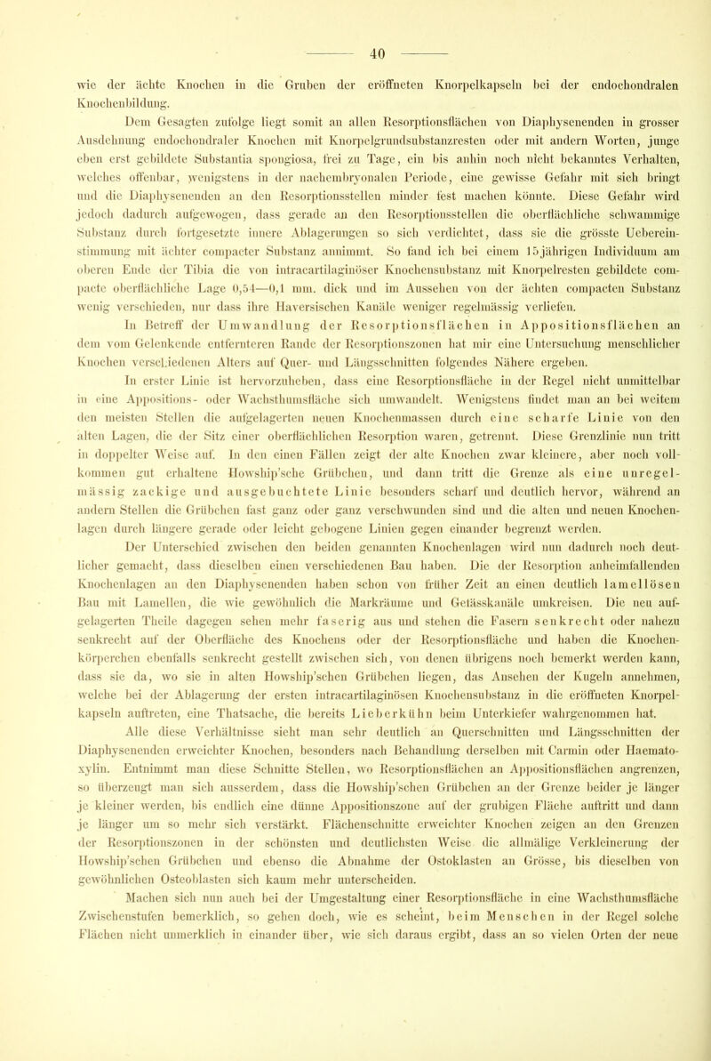 wie der ächte Knochen in die Gruben der erötfneten Knorpelkapseln bei der endochondralen Knochenbildung. Dem Gesagten zufolge liegt somit an allen Resorptionstlächen von Diaphysenenden in grosser Ausdehnung endochondraler Knochen mit Knorpelgrimdsubstanzresten oder mit andern Worten, junge eben erst gebildete Suhstantia si)ongiosa, frei zu Tage, ein bis anhin noch nicht bekanntes Verhalten, Avelches offenbar, ^venigstens in der nachembryonalcn Periode, eine gewisse Gefahr mit sich bringt und die Diaidiysenenden an den Resorptionsstellen minder fest machen könnte. Diese Gefahr wird jedoch dadurch autgewogen, dass gerade an den Resori)tionsstellen die oberffächliche schwammige Substanz durcb fortgesetzte innere Al)lagerungen so sich verdichtet, dass sie die grösste Ueberein- stimniung mit äebter compacter SuI)Stanz annimmt. So fand ich bei einem 15jährigen Individuum am ol)eren Ende der Til)ia die von intraeartilaginöser Knochensul)stanz mit Knorpelresten gebildete com- pacte oberffächliche Lage 0,51—0,1 mm. dick und im Aussehen von der ächten compacten Substanz wenig versebieden, nur dass ihre Haversischen Kanäle weniger regelmässig verliefen. ln Betreff' der Umwandlung der Resorptionsflächen in Aj)positionsflächen an dem vom Gelenkende entfernteren Rande der Resorptionszonen hat mir eine Untersuchung menschlicher Knochen verschiedenen Alters auf Quer- und Längsschnitten folgendes Nähere ergeben. In erster Linie ist hervorznheben, dass eine Resorptionsffäche in der Regel nicht unmittelbar in eine Appositions- oder Wachsthumsffäche sich umwandclt. Wenigstens findet man an bei weitem den meisten Stellen die aulgelagerten neuen Knochenmassen durch eine scharfe Linie von den alten Lagen, die der Sitz einer oberflächlichen Resorj)tion waren, getrennt. Diese Grenzlinie nun tritt in doppelter Weise auf. In den einen Fällen zeigt der alte Knochen zwar kleinere, aber noch voll- kommen gut erhaltene Ilowship’sche Grübchen, und dann tritt die Grenze als eine unregel- mässig zackige und ausgebuchtete Linie besonders scharf und deutlich hervor, während an andern Stellen die Grübchen fast ganz oder ganz verschwunden sind und die alten und neuen Knochen- lagcn durch längere gerade oder leicht gebogene Linien gegen einander begrenzt werden. Der Unterschied zwischen den beiden genannten Knochenlagcn wird nun dadurch noch deut- licher gemacht, dass dieselben einen verschiedenen Bau haben. Die der Resorption anheimfallenden Knochenlagen an den Diaphysenenden haben schon von früher Zeit an einen deutlich lam eil Ösen Bau mit Lamellen, die wie gewöhnlich die Markräume und Getässkanäle umkreisen. Die neu auf- gelagerten Theile dagegen sehen mehr faserig aus und stehen die Fasern senkrecht oder nahezu senkrecht auf der Oberfläche des Knochens oder der Resor[)tionsfläche und haben die Knochen- kör])erchen ebenfalls senkrecht gestellt zwischen sich, von denen übrigens noch bemerkt werden kann, dass sie da, wo sie in alten Howship’schen Grübchen liegen, das Ansehen der Kugeln annehmen, welche bei der Ablagerung der ersten intracartilaginösen Knochensubstanz in die eröffneten Knorpel- kapseln auftreten, eine Thatsache, die bereits Lieberkühn beim Unterkiefer wahrgenommen hat. Alle diese Verhältnisse sieht man sehr deutlich an Querschnitten und Längsschnitten der Diaphysenenden erweichter Knochen, besonders nach Behandlung derselben ndt Carmin oder Ilaeraato- xylin. Entnimmt man diese Schnitte Stellen, wo Resorptionstlächen an Ap])ositionsffächen angrenzen, so überzeugt man sich ausserdem, dass die Howship’schen Grübchen an der Grenze beider je länger je kleiner werden, bis endlich eine dünne Aj)positionszone auf der grubigen Fläche auftritt und dann je länger um so mehr sich verstärkt. Flächenschnitte erweichter Knochen zeigen an den Grenzen der Resorptionszonen in der schönsten und deutlichsten Weise die allmäligc Verkleinerung der llowship’schen Grübchen und ebenso die Abnahme der Ostoklasten an Grösse, bis dieselben von gewöhnlichen Osteoblasten sich kaum mehr unterscheiden. Machen sich nun auch bei der Umgestaltung einer Resorptionsffäche in eine Wachsthumsffäche Zwischenstufen bemerklich, so gehen doch, wie es scheint, beim Menschen in der Regel solche Flächen nicht unmerklich in einander über, wie sich daraus ergibt, dass an so vielen Orten der neue