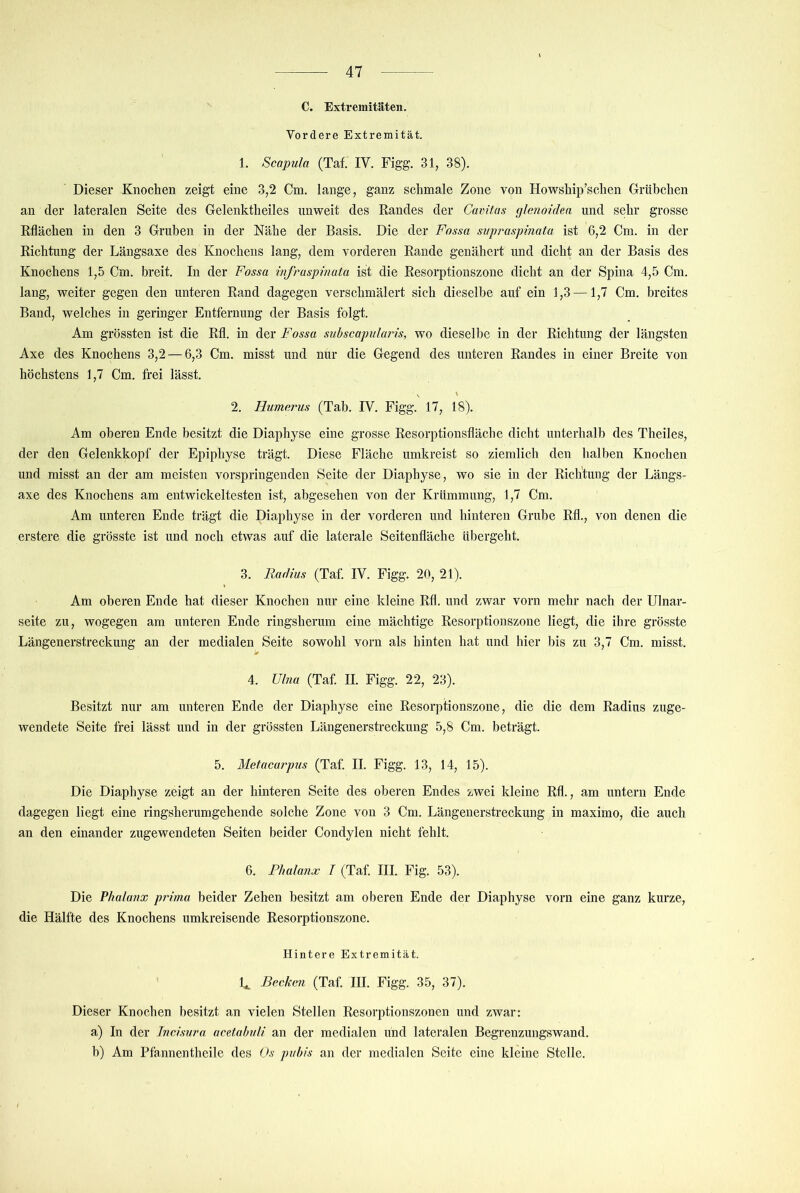 C. Extremitäten. Vordere Extremität. 1. Scapula (Taf. IV. Figg. 31, 38). Dieser Knochen zeigt eine 3,2 Cm. lange, ganz schmale Zone von Howship'sehen Grübchen an der lateralen Seite des Gelenktheiles unweit des Randes der Cavitas glc7ioidea und sehr grosse Rflächen in den 3 Gruben in der Nähe der Basis. Die der Fossa suprasphiata ist 6,2 Cm. in der Richtung der Längsaxe des Knochens lang, dem vorderen Rande genähert und dicht an der Basis des Knochens 1,5 Cm. breit. In der Fossa mfraspinata ist die Resorptionszone dicht an der Spina 4,5 Cm. lang, weiter gegen den unteren Rand dagegen verschmälert sich dieselbe auf ein 1,3 —1,7 Cm. breites Band, welches in geringer Entfernung der Basis folgt. Am grössten ist die Rfl. in der Fossa subscapiilaris, wo dieselbe in der Richtung der längsten Axe des Knochens 3,2 — 6,3 Cm. misst und nur die Gegend des unteren Randes in einer Breite von höchstens 1,7 Cm. frei lässt. ^ \ 2. Humerus (Tab. IV. Figg. 17, 18). Am oberen Ende besitzt die Diaphyse eine grosse Resorptionsfläche dicht unterhalb des Theiles, der den Gelenkkopf der Epiphyse trägt. Diese Fläche umkreist so ziemlich den halben Knochen und misst an der am meisten vorspringenden Seite der Diaphyse, wo sie in der Richtung der Längs- axe des Knochens am entwickeltesten ist, abgesehen von der Krümmung, 1,7 Cm. Am unteren Ende trägt die Diaphyse in der vorderen und hinteren Grube Rfl., von denen die erstere die grösste ist und noch etwas auf die laterale Seitenfläche übergeht. 3. Radius (Taf. IV. Figg. 20, 21). Am oberen Ende hat dieser Knochen nur eine kleine Rfl. und zwar vorn mehr nach der Ulnar- seite zu, wogegen am unteren Ende ringsherum eine mächtige Resorptionszone liegt, die ihre grösste Längenerstreckung an der medialen Seite sowohl vorn als hinten hat und hier bis zu 3,7 Cm. misst. > 4. Ulna (Taf II. Figg. 22, 23). Besitzt nur am unteren Ende der Diaphyse eine Resorptionszone, die die dem Radius zuge- wendete Seite frei lässt und in der grössten Längenerstreckung 5,8 Cm. beträgt. 5. Metacarpus (Taf II. Figg. 13, 14, 15). Die Diaphyse zeigt an der hinteren Seite des oberen Endes zwei kleine Rfl., am untern Ende dagegen liegt eine ringsherumgehende solche Zone von 3 Cm. Längenerstreckung in maximo, die auch an den einander zugewendeten Seiten beider Condylen nicht fehlt. 6. Phalanx T (Taf III. Fig. 53). Die Phalanx prima beider Zehen besitzt am oberen Ende der Diaphyse vorn eine ganz kurze, die Hälfte des Knochens umkreisende Resorptionszone. Hintere Extremität. U Becken (Taf III. Figg. 35, 37). Dieser Knochen besitzt an vielen Stellen Resorptionszonen und zwar: a) In der Incisura acetahuli an der medialen und lateralen Begrenzungswand. b) Am Pfannentheile des Os pubis an der medialen Seite eine kleine Stelle.