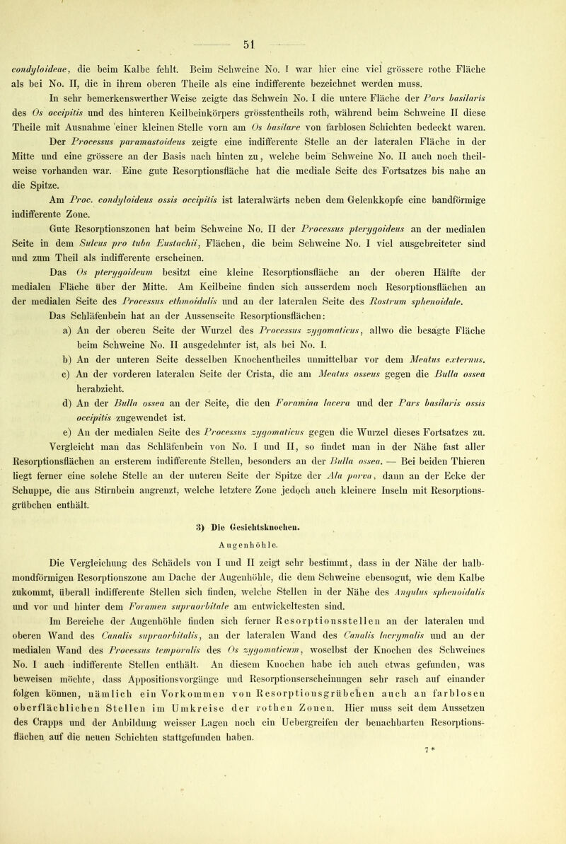 condyloideue, die beim Kalbe fehlt. Beim Schweine No. 1 war hier eine viel grössere rothe Fläche als bei No. II, die in ihrem oberen Theile als eine indifferente bezeichnet werden muss. In sehr bemerkenswerther Weise zeigte das Schwein No. I die untere Fläche der Fürs basiUtris des Os occipitis und des hinteren Keilbeinkörpers grösstentheils roth, während beim Schweine II diese Theile mit Ausnahme 'einer kleinen Stelle vorn am Os busilare von farblosen Schichten bedeckt waren. Der Processus paramastoideus zeigte eine indifferente Stelle an der lateralen Fläche in der Mitte und eine grössere an der Basis nach hinten zu, welche beim Schweine No. II auch noch theil- weise vorhanden war. Eine gute Resorptionsfläche hat die mediale Seite des Fortsatzes bis nahe an die Spitze. Am Proc. condyloideus ossis occipitis ist lateralwärts neben dem Gelenkkopfe eine bandförmige indifferente Zone. Gute Resorptionszonen hat beim Schweine No. II der Processus pteryyoideus an der medialen Seite in dem Sulcus pro tubu Eustachii, Flächen, die beim Schweine No. I viel ausgebreiteter sind iTud zum Theil als indifferente erscheinen. Das Os pteryyoideum besitzt eine kleine Resorptionsfläche an der oberen Hälfte der medialen Fläche über der Mitte. Am Keilbeine finden sich ausserdem noch Resorptionsflächen au der medialen Seite des Processus etkmoidülis und an der lateralen Seite des Rostruni spbenoidale. Das Schläfeuhein hat an der Aussenseite Resorptiousflächen: a) An der oberen Seite der Wurzel des Processus zyyoviülicus, allwo die besagte Fläche beim Schweine No. II ausgedehnter ist, als bei No. I. b) An der unteren Seite desselben Knochentheiles unmittelbar vor dem Mentus e.vte?’7ius. c) An der vorderen lateralen Seite der Crista, die am Mentus osseus gegen die Bulla ossea herabzieht. d) An der Bulla ossea an der Seite, die den Fornmina lacera und der Pm's basilaris ossis occipitis zugewendet ist. e) An der medialen Seite des Processus zyyomaticus gegen die Wurzel dieses Fortsatzes zu. Vergleicht man das Schläfenbein von No. I und II, so findet man in der Nähe fast aller Resorptionsflächen an ersterein indifferente Stellen, besonders an der BuUn ossea, — Bei beiden Thieren liegt ferner eine solche Stelle an der unteren Seite der Spitze der Ala parva, dann an der Ecke der Schuppe, die aus Stirnbein angrenzt, welche letztere Zone jedpch auch kleinere Inseln mit Resorptions- grübchen enthält. 3) Die Gesichtstnoclien. A u g e 11 li ö li 1 e. Die Vergleichung des Schädels von I und II zeigt sehr bestimmt, dass in der Nähe der halb- mondförmigen Resorptionszone am Dache der Augenhöhle, die dem Schweine ebensogut, wie dem Kalbe zukommt, überall indifferente Stellen sich finden, welche Stellen in der Nähe des Auyulus sphenoidalis und vor und hinter dem Fornmen supraorbitnle am entwickeltesten sind. Im Bereiche der Augenhöhle finden sich ferner Resorptionsstelleu an der lateralen und oberen Wand des Canalis supraorbitalis, an der lateralen Wand des Cn?7alis lacnpnalis und au der medialen Wand des Processus temporalis des Os zyyomaticum, woselbst der Knochen des Schweines No. I auch indifferente Stellen enthält. An diesem Knochen habe ich auch etwas gefunden, was beweisen möchte, dass AppositionsVorgänge und Resorptionserscheinuugen sehr rasch auf einander folgen können, nämlich ein Vorkommen von Resorptiousgrübchen auch au farblosen oberflächlichen Stellen im Umkreise der rothen Zonen. Hier muss seit dem Aussetzen des Crapps und der Anbildung weisser Lagen noch ein Uebergreifen der benachbarten Resorptions- flächen auf die neuen Schichten stattgefunden haben. 7 *