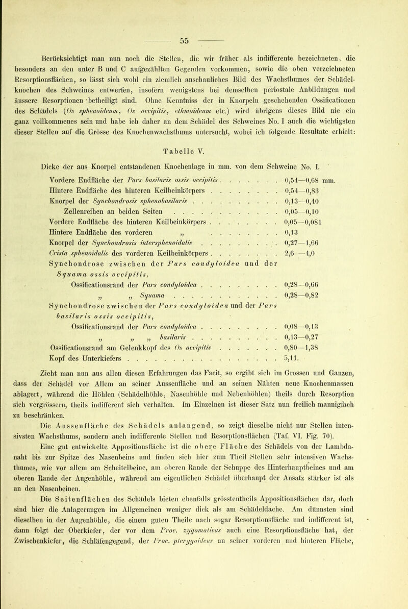 Berücksichtigt man nun noch die Stellen, die wir früher als inditferente bezeichneten, die besonders an den unter B und C aufgezählten Gegenden Vorkommen, sowie die oben verzeichneten Resorptionsflächen, so lässt sich wohl ein ziemlich anschauliches Bild des Wachsthumes der Schädel- knochen des Schweines entwerfen, insofern wenigstens bei demselben periostale Anbildungen und äussere Resorptionen ■ betheiligt sind. Ohne Kenntniss der in Knorpeln geschehenden Ossificationen des Schädels {Os sphenoideum, Os occipilis, cihnioidcum etc.) wird übrigens dieses Bild nie ein ganz vollkommenes sein und habe ich daher an dem Schädel des Schweines No. I auch die wichtigsten dieser Stellen auf die Grösse des Knochenwachsthums untersucht, wobei ich folgende Resultate erhielt: Tabelle V. Dicke der aus Knorpel entstandenen Knochenlage in mm. von dem Schweine No. I. Vordere Endfläche der Pars basihiris ossis occipids 0,54—0,68 mm. Hintere Endfläche des hinteren Keilbeinkörpers 0,54—0,83 Knorpel der Sijnchondrosis sphenobasiluris 0,13—0,40 Zellenreihen an beiden Seiten , . . 0,05—0,10 Vordere Endfläche des hinteren Keilbeinkörpers 0,05—0,081 Hintere Endfläche des vorderen „ 0,13 Knorpel der Synchondrosis hitersphmoidaUs 0,27—1,66 Crista sphenoidalis des vorderen Keilbeinkörpers . 2,6 —4,0 Synchondrose zwischen der Pars condyloidea und der S(]uama ossis occipitis, Ossificationsrand der Pars condi/loidea 0,28—0,66 „ „ Sfjuama 0,28—0,82 Synchondrose zwischen der Pars condi/loidea und der Pars basilaris ossis occipilis^ Ossificationsrand der Pars condyloidea 0,08—0,13 „ „ „ basikn'is 0,13—0,27 Ossificationsrand am Gelenkkopf des Os occipitis 0,80—1,38 Kopf des Unterkiefers 5,11. Zieht man nun aus allen diesen Erfahrungen das Facit, so ergibt sich im Grossen und Ganzen, dass der Schädel vor Allem an seiner Aussenfläche und an seinen Nähten neue Knochenmasseu ablagert, während die Höhlen (Schädelhöhle, Nasenhöhle und Nebenhöhlen) theils durch Resorption sich vergrössern, theils indifferent sich verhalten. Im Einzelnen ist dieser Satz nun freilich mannigfach zu beschränken. Die Aussenfläche des Schädels an langend, so zeigt dieselbe nicht nur Stellen inten- sivsten Wachsthums, sondern auch indifferente Stellen und Resorptionsflächen (Taf. VI. Fig. 70). Eine gut entwickelte Appositionsfläche ist die obere Fläche des Schädels von der Lambda- naht bis zur Spitze des Nasenbeins und finden sich hier zum Theil Stellen sehr intensiven Wachs- thumes, wie vor allem am Scheitelbeine, am oberen Rande der Schuppe des Hinterhauptbeines und am oberen Rande der Augenhöhle, während am eigentlichen Schädel überhaupt der Ansatz stärker ist als an den Nasenbeinen. Die Seitenflächen des Schädels bieten ebenfalls grösstentheils Appositionsflächen dar, doch sind hier die Anlagerungen im Allgemeinen weniger dick als am Schädeldache. Am dünnsten sind dieselben in der Augenhöhle, die einem guten Theile nach sogar Resorptionsfläche und indifferent ist, dann folgt der Oberkiefer, der vor dem Proc. z-yyomaticus auch eine Resorptiousfläche hat, der Zwischenkiefer, die Schläfengegend, der Proc. ptcryyaidcus an seiner vorderen und hinteren Fläche,