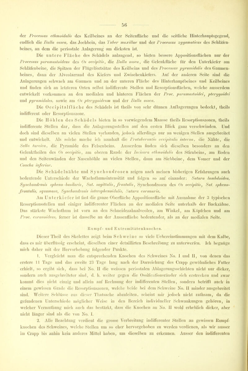 der Frocexsits cthmoidulis des Keill)eines au der Seiteiifläelie und die seitliche Hinterliauj)tsgegend, eudlich die Biillu osseu, das Joehl)eiu, das l'uber muxiUae und der Processus zi/ijoinulicus des Schlät'eu- beiues, an dem die periostale Aulageruug am dicksten ist. Die untere Fläelie des Schädels aulangend, so bigten bessere Appositionsflächen nur der l'rocessus ijurumusluideus des Os occip/'/ts, die Pu/la ossca, die Gelenkfläche für den Unterkiefer am Schläfenbeine, die Spitzen der Flügelfortsätze des Keilbeins und des Processus pi/rumidal/s des Gannien- beines, dann der Alveolarrand des Kiefers und Zwischenkiefers. Auf der anderen Seite sind die Anlagerungen schwach am Ganiuen und an der unteren Fläche des Hinterhauptbeines und Keilbeines und finden sich an letzteren Orten selbst indifferente Stellen und Kesorptionsflächen, welche ausserdem entwickelt Vorkommen au den medialen und hinteren Flächen der Proc. puramusluidei, pler(j(joidei und pj/ramidules, sowie am Os plcrijfioideuiii und der BuUa osseu. Die Occi})italflächc des Schädels ist theils von sehr dünnen Auflagerungen bedeckt, theils indifferent oder I\esori)tionszone. Die Höhlen des Schädels bieten in so vorwiegendem Maassc theils Resorptionszonen, theils indifferente Stellen dar, dass die Anlagerungsstellcn auf den ersten Rück ganz verschwinden. Und doch sind dieselben an vielen Stellen vorhanden, jedoch allerdings nur an wenigen Stellen ausgebreitet und entwickelt. Als solche mache ich namhaft die Vroluheruuliu occ/pifalis inlernu, die Nähte, die Sclla lurcicu, die l’yramide des Felsenbeins. Ausserdem linden sich dieselben besonders an den Gelcnktheilen des Os occipilis, am oberen Rande der lucisura elhmoiduUs des Stirnbeins, am Boden und den Seitenwänden der Nasenhöhle an vielen Stellen, dann am Siebheine, dem Vomer und der Couchu inferior. Die Schäde 1 nähte und Synchondrosen zeigen nach meinen bisherigen Erfahrungen auch bedeutende Unterschiede der Wachsthumsintensität und folgen so auf einander: Sulura lainhdoideu, Si/ncliondrosis spheno-lnisihtris, Sul. suijilla/is, f/'onlu/is, Synchondrosen des Os occipiiis, Su/. splicno- fronlulis, squamosa, Si/ncitondrosis iulersphcnoidulis, Sulura coronuriu. Am Unterkiefer ist fast die ganze Oberfläche Appositionsfläche mit Ausnahme der li tyjtischen Resorptionsstellen und einiger indifferenter Flächen an der medialen Seite unterhalb der Backzähne. Das stärkste AFachsthum ist vorn an den Schneidezahnalveolen, am Winkel, am Köpfchen und am Proc. coronoideus, ferner ist dasselbe an der Aussenflächc bedeutender, als an der medialen Seite. llumpf- und Extrcmitätcnknochcn. Dieser Theil des Skelettes zeigt beim Schweine so viele Uebereinstimmungen mit dem Kalbe, dass es mir ül)erflüssig erscheint, dieselben einer detaillirten Beschreil)ung zu unterwerfen. Ich begnüge mich daher mit der Hervorhebung folgender Funkte. 1. Vergleicht man die entsprechenden Knochen des Schweines No. 1 und 11, von denen das erstere i I Tage und das zweite 23 Tage lang nach der Darreichung des Crapj) geAvöhnliches Futter erhielt, so ergibt sich, dass bei No. H die weissen jieriostalen Ablagerungsschichten nicht nur dicker, sondern auch ausgebreiteter sind, d. h. weiter gegen die Ossifieationsräiider sicli erstrecken und zwar kommt dies nicht einzig und allein auf Rechnung der indifferenten Stellen, sondern betrifft auch in einem gewissen Grade die liesori)tionszonen, welche beide bei dem Schweine No. 11 minder ausgebreitet sind. Weitere Schlüsse aus dieser Thatsache abzulciten, sciieint mir jedoch nicht rathsam, da die gefiuidenen Unterschiede möglicher Weise in den Bereich individueller Schwankungen gehören, in welcher Vermnthung mich anch das bestärkt, dass die Knochen an No. 11 wohj erheblich dicker, aber nicht länger sind als die von No. 1. 2. Alle Beachtung verdient die grosse Verbreitung indifferenter Stellen an gewissen Rumpf- knochen des Schweines, welche Stellen um so eher hervorgehoben zu werden verdienen, als wir ausser im Crapp bis anhin kein anderes Mittel haben, um dieselben zu erkennen. Ausser den indifferenten